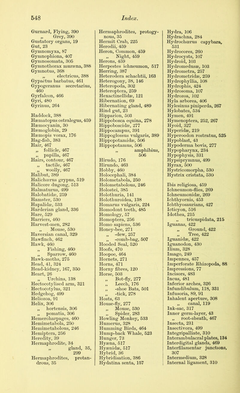 Gurnard, Flying, 390 „ Grey, 390 Gustatory organs, 19 Gut, 23 Gymnomyxa, 87 Gymnophiona, 407 Gymnosomata, 305 Gymnothorax muraena, 388 Gymnotus, 368 „ electricus, 388 Gypaetus barbatus, 461 Gypogeranus secretarius, 460 Gyrfalcon, 466 Gyri, 480 Gyrinus, 264 Haddock, 388 Haematopus ostralegus, 459 Haemocyanin, 30 Haemoglobin, 29 Haemopis vorax, 176 Hag-fish, 383 Hair, 467 „ follicle, 467 „ papilla, 467 Hairs, contour, 467 „ tactile, 467 „ woolly, 467 Halibut, 389 Halichoerus grypus, 519 Halicore dugong, 513 Halmaturus, 499 Halobatidae, 259 Hamster, 530 Hapalidae, 533 Harderian gland, 336 Hare, 529 Harriers, 460 Harvest-men, 282 „ Mouse, 530 Haversian canal, 329 Hawfinch, 462 Hawk, 460 „ Fishing, 460 „ Sparrow, 460 Hawk-moths, 275 Head, 41, 324 Head-kidney, 167, 350 Heart, 26 „ Urchins, 138 Hectocotylised arm, 321 Hectocotylus, 321 Hedgehog, 499 Heliozoa, 91 Helix, 306 „ hortensis, 306 „ pomatia, 306 Hemeroharpages, 460 Hemimetabola, 250 Hemimetabolous, 246 Hemiptera, 256 Heredity, 39 Hermaphrodite, 34 „ gland, 35, 299 Hermaphrodites, protan- drous, 35 Hermaphrodites, protogy- nous, 35 Hermit Crab, 225 Herodii, 459 Heron, Common, 459 „ Night, 459 Herons, 459 Herpestes ichneumon, 517 Herring, 387 Heterodera schachtii, 163 Heterogony, 38, 146 Heteropoda, 302 Heteroptera, 259 Hexactinellidae, 121 Hibernation, 69 Hibernating gland, 489 Hind gut, 23 Hipparion, 503 Hippobosca equina, 278 Hippoboscidse, 277 Hippocampus, 391 Hippoglossus vulgaris, 389 Hippopotamidse, 506 Hippopotamus, 506 „ amphibius, 506 Hirudo, 176 Hirundo, 463 Hobby, 460 Holocephali, 384 Holometabola, 250 Holometabolous, 246 Holostei, 385 Holothuria, 141 Holothuroidea, 138 Homarus vulgaris, 224 Homodont teeth, 485 Homology, 57 Homoptera, 256 Homo sapiens, 536 Honey-bee, 271 „ -dew, 257 „ -comb-bag, 507 Hooded Seal, 520 Hoofs, 470 Hoopoe, 464 Hornets, 271 Horns, 471 Horny fibres, 120 Horse, 503 „ Bot-fly, 277 „ Leech, 176 ,, -shoe Bats, 501 „ -tick, 278 Hosts, 63 House-fly, 277 „ Mouse, 530 „ Spider, 283 Howling Monkey, 533 Humerus, 328 Humming Birds, 464 Hump-back Whale, 523 Hunger, 73 Hyaena, 517 Hyaenidae, 517 Hybrid, 36 Hybridisation, 386 Hydatina senta, 157 Hydra, 106 Hydrachna, 284 Hydrochcerus capybara, 531 Hydrocores, 260 Hydrocysts, 107 Hydroid, 103 Hydromedusae, 103 Hydrometra, 257 Hydrometridae, 259 Hydrophyllia, 108 Hydrophis, 424 Hydrosoma, 107 Hydrozoa, 102 Hyla arborea, 406 Hylesinus piniperda, 267 Hylobates, 534 Hymen, 491 Hymenoptera, 252, 267 Hyoid, 327 Hyperidae, 219 Hyperoodon rostratus, 525 Hypoblast, 43 Hypoderma bovis, 277 Hypopharynx, 234 Hypophysis, 331 Hypsiprymnus, 499 Hyrax, 500 Hystricomorpha, 530 Hystrix cristata, 530 Ibis religiosa, 459 Ichneumon-flies, 269 Ichneumonidae, 269 Ichthyornis, 453 Ichthyosaurians, 427 Icticyon, 516 Idothea, 215 „ tricuspidata, 215 Iguanas, 422 „ Ground, 422 „ Tree, 422 Iguanidae, 422 Iguanodon, 430 Ilium, 328 Imago, 249 Impennes, 457 Imperforate Rhizopoda, 88, Impressions, 77 Incisors, 483 Incus, 481 Inferior arches, 326 Infundibulum, 118, 331 Infusoria, 89, 91 Inhalent aperture, 308 „ canal, 119 Ink-sac, 317 Inner germ-layer, 43 „ root-sheath, 467 Insecta, 231 Insectivora, 499 Integripalliate, 310 Interambulacral plates, 134 Interdigital glands, 469 Interfilamentar junctions, 307 Intermedium, 328 Internal ligament, 310