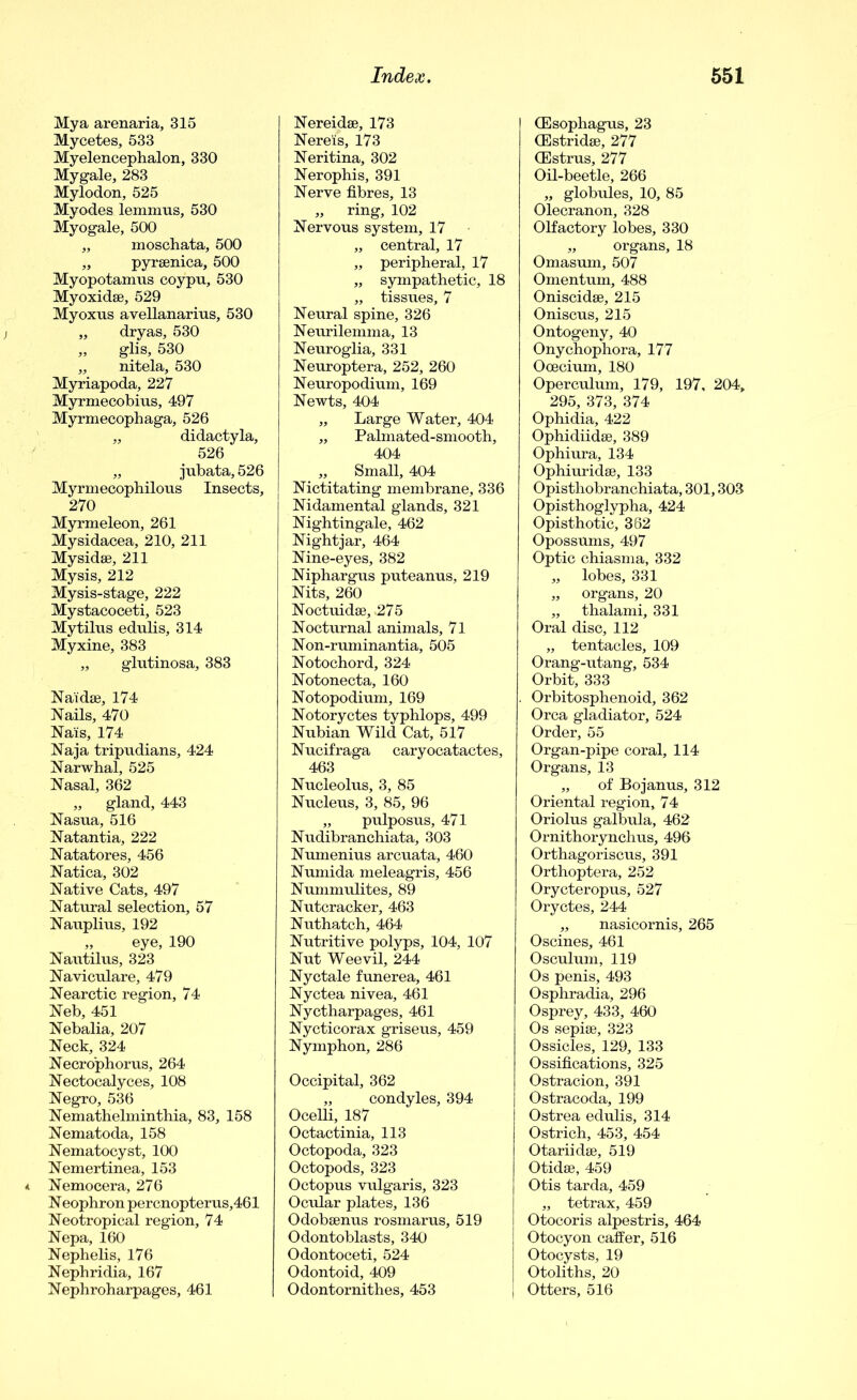 Mya arenaria, 315 Mycetes, 533 Myelencephalon, 330 Mygale, 283 Mylodon, 525 Myodes lemrnus, 530 Myogale, 500 „ moschata, 500 „ pyrsenica, 500 Myopotamus coypu, 530 Myoxidse, 529 Myoxus avellanarius, 530 „ dryas, 530 „ glis, 530 „ nitela, 530 Myriapoda, 227 Myrmecobius, 497 Myrmecophaga, 526 „ didactyla, 526 „ jubata, 526 Myrmecopbilous Insects, 270 Myrmeleon, 261 Mysidacea, 210, 211 Mysidse, 211 Mysis, 212 My sis-stage, 222 Mystacoceti, 523 Mytilus edulis, 314 Myxine, 383 „ glutinosa, 383 Naidse, 174 Nails, 470 Nais, 174 Naja tripudians, 424 Narwhal, 525 Nasal, 362 „ gland, 443 Nasua, 516 Natantia, 222 Natatores, 456 Natica, 302 Native Cats, 497 Natural selection, 57 Nauplius, 192 „ eye, 190 Nautilus, 323 Naviculare, 479 Nearctic region, 74 Neb, 451 Nebalia, 207 Neck, 324 Necrophorus, 264 Nectocalyces, 108 Negro, 536 Nemathelminthia, 83, 158 Nematoda, 158 Nematocyst, 100 Nemertinea, 153 * Nemocera, 276 N eophron percnopterus,461 Neotropical region, 74 Nepa, 160 Nephelis, 176 Nephridia, 167 Nephroharpages, 461 Nereidse, 173 Nereis, 173 Neritina, 302 Nerophis, 391 Nerve fibres, 13 „ ring, 102 Nervous system, 17 „ central, 17 „ peripheral, 17 „ sympathetic, 18 ,, tissues, 7 Neural spine, 326 Neurilemma, 13 Neuroglia, 331 Neuroptera, 252, 260 Neuropodium, 169 Newts, 404 „ Large Water, 404 ,, Palmated-smooth, 404 „ Small, 404 Nictitating membrane, 336 Nidamental glands, 321 Nightingale, 462 Nightjar, 464 Nine-eyes, 382 Niphargus puteanus, 219 Nits, 260 Noctuidse, >275 Nocturnal animals, 71 Non-ruminantia, 505 Notochord, 324 Notonecta, 160 Notopodium, 169 Notoryctes typhlops, 499 Nubian Wild Cat, 517 Nucifraga caryocatactes, 463 Nucleolus, 3, 85 Nucleus, 3, 85, 96 „ pulposus, 471 Nudibranchiata, 303 Numenius arcuata, 460 Numida meleagris, 456 Nummulites, 89 Nutcracker, 463 Nuthatch, 464 Nutritive polyps, 104, 107 Nut Weevil, 244 Nyctale funerea, 461 Nyctea nivea, 461 Nyctharpages, 461 Nycticorax griseus, 459 Nymphon, 286 Occipital, 362 „ condyles, 394 Ocelli, 187 Octactinia, 113 Octopoda, 323 Octopods, 323 Octopus vulgaris, 323 Ocular plates, 136 Odobsenus rosmarus, 519 Odontoblasts, 340 Odontoceti, 524 Odontoid, 409 Odontornithes, 453 (Esophagus, 23 (Estridae, 277 (Estrus, 277 Oil-beetle, 266 „ globules, 10, 85 Olecranon, 328 Olfactory lobes, 330 „ organs, 18 Omasum, 507 Omentum, 488 Oniscidee, 215 Oniscus, 215 Ontogeny, 40 Onychophora, 177 Ooecium, 180 Operculum, 179, 197, 204, 295, 373, 374 Ophidia, 422 Ophidiidse, 389 Ophiura, 134 Ophiuridse, 133 Opisthobranchiata, 301,303 Opisthoglypha, 424 Opisthotic, 362 Opossums, 497 Optic chiasma, 332 „ lobes, 331 „ organs, 20 „ thalami, 331 Oral disc, 112 „ tentacles, 109 Orang-utang, 534 Orbit, 333 Orbitosphenoid, 362 Orca gladiator, 524 Order, 55 Organ-pipe coral, 114 Organs, 13 „ of Boj anus, 312 Oriental region, 74 Oriolus galbula, 462 Ornithorynchus, 496 Orthagoriscus, 391 Orthoptera, 252 Orycteropus, 527 Oryctes, 244 „ nasicornis, 265 Oscines, 461 Osculum, 119 Os penis, 493 Osphradia, 296 Osprey, 433, 460 Os sepise, 323 Ossicles, 129, 133 Ossifications, 325 Ostracion, 391 Ostracoda, 199 Ostrea edulis, 314 Ostrich, 453, 454 Otariidse, 519 Otidse, 459 Otis tarda, 459 „ tetrax, 459 Otocoris alpestris, 464 Otocyon caffer, 516 Otocysts, 19 Otoliths, 20 Otters, 516