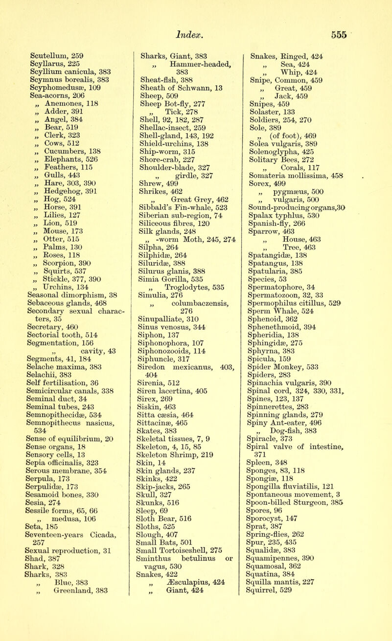 Scutellum, 259 Scyllarus, 225 Scyllium canicula, 383 Scymnus borealis, 383 Scyphomedusse, 109 Sea-acorns, 206 „ Anemones, 118 „ Adder, 391 „ Angel, 384 „ Bear, 519 „ Clerk, 323 „ Cows, 512 „ Cucumbers, 138 „ Elephants, 526 „ Feathers, 115 „ Gulls, 443 „ Hare, 303, 390 „ Hedgehog, 391 „ Hog, 524 „ Horse, 391 „ Lilies, 127 „ Lion, 519 „ Mouse, 173 „ Otter, 515 „ Palms, 130 „ Boses, 118 „ Scorpion, 390 „ Squirts, 537 „ Stickle, 377, 390 „ Urchins, 134 Seasonal dimorphism, 38 Sebaceous glands, 468 Secondary sexual charac- ters, 35 Secretary, 460 Sectorial tooth, 514 Segmentation, 156 „ cavity, 43 Segments, 41, 184 Selache maxima, 383 Selachii, 383 Self fertilisation, 36 Semicircular canals, 338 Seminal duct, 34 Seminal tubes, 243 Semnopithecidse, 534 Semnopithecus nasicus, 534 Sense of equilibrium, 20 Sense organs, 18 Sensory cells, 13 Sepia officinalis, 323 Serous membrane, 354 Serpula, 173 Serpulidse, 173 Sesamoid bones, 330 Sesia, 274 Sessile forms, 65, 66 „ medusa, 106 Seta, 185 Seventeen-years Cicada, 257 Sexual reproduction, 31 Shad, 387 Shark, 328 Sharks, 383 „ Blue, 383 „ Greenland, 383 Sharks, Giant, 383 „ Hammer-headed, 383 Sheat-fish, 388 Sheath of Schwann, 13 Sheep, 509 Sheep Bot-fly, 277 „ Tick, 278 Shell, 92, 182, 287 Shellac-insect, 259 Shell-gland, 143, 192 Shield-urchins, 138 Ship-worm, 315 Shore-crab, 227 Shoulder-blade, 327 „ girdle, 327 Shrew, 499 Shrikes, 462 „ Great Grey, 462 Sibbald’s Fin-whale, 523 Siberian sub-region, 74 Siliceous fibres, 120 Silk glands, 248 „ -worm Moth, 245, 274 Silpha, 264 Silphidse, 264 Siluridae, 388 Silurus glanis, 388 Simia Gorilla, 535 „ Troglodytes, 535 Simulia, 276 „ columbaczensis, 276 Sinupalliate, 310 Sinus venosus, 344 Siphon, 137 Siphonophora, 107 Siphonozooids, 114 Siphuncle, 317 Siredon mexicanus, 403, 404 Sirenia, 512 Siren lacertina, 405 Sirex, 269 Siskin, 463 Sitta csesia, 464 Sittacinse, 465 Skates, 383 Skeletal tissues, 7, 9 Skeleton, 4, 15, 85 Skeleton Shrimp, 219 Skin, 14 Skin glands, 237 Skinks, 422 Skip-jacks, 265 Skull, 327 Skunks, 516 Sleep, 69 Sloth Bear, 516 Sloths, 525 Slough, 407 Small Bats, 501 Small Tortoiseshell, 275 Sminthus betulinus or vagus, 530 Snakes, 422 „ JEsculapius, 424 „ Giant, 424 Snakes, Einged, 424 „ Sea, 424 „ Whip, 424 Snipe, Common, 459 „ Great, 459 „ Jack, 459 Snipes, 459 Solaster, 133 Soldiers, 254, 270 Sole, 389 „ (of foot), 469 Solea vulgaris, 389 Solenoglypha, 425 Solitary Bees, 272 „ Corals, 117 Somateria mollissima, 458 Sorex, 499 „ pygmseus, 500 „ vulgaris, 500 Sound-producing organs,30 Spalax typhlus, 530 Spanish-fly, 266 Sparrow, 463 „ House, 463 „ Tree, 463 Spatangidse, 138 Spatangus, 138 Spatularia, 385 Species, 53 Spermatophore, 34 Spermatozoon, 32, 33 Spermophilus citillus, 529 Sperm Whale, 524 Sphenoid, 362 Sphenethmoid, 394 Spheridia, 138 Sphingidse, 275 Sphyrna, 383 Spicula, 159 Spider Monkey, 533 Spiders, 283 Spinachia vulgaris, 390 Spinal cord, 324, 330, 331, Spines, 123, 137 Spinnerettes, 283 Spinning glands, 279 Spiny Ant-eater, 496 „ Dog-fish, 383 Spiracle, 373 Spiral valve of intestine, 371 Spleen, 348 Sponges, 83, 118 Spongise, 118 Spongilla fluviatilis, 121 Spontaneous movement, 3 Spoon-billed Sturgeon, 385 Spores, 96 Sporocyst, 147 Sprat, 387 Spring-flies, 262 Spur, 235, 435 Squalid®, 383 Squamipennes, 390 Squamosal, 362 Squatina, 384 Squilla mantis, 227 Squirrel, 529