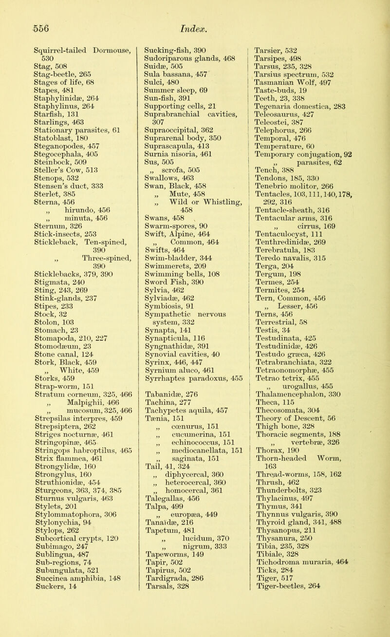 Squirrel-tailed Dormouse, 530 Stag, 508 Stag-beetle, 265 Stages of life, 68 Stapes, 481 Staphylinidae, 264 Staphylinus, 264 Starfish, 131 Starlings, 463 Stationary parasites, 61 Statoblast, 180 Steganopodes, 457 Stegocephala, 405 Steinbock, 509 Steller’s Cow, 513 Stenops, 532 Stensen’s duct, 333 Sterlet, 385 Sterna, 456 „ hirundo, 456 „ minuta, 456 Sternum, 326 Stick-insects, 253 Stickleback, Ten-spined, 390 „ Three-spined, 390 Sticklebacks, 379, 390 Stigmata, 240 Sting, 243, 269 Stink-glands, 237 Stipes, 233 Stock, 32 Stolon, 103 Stomach, 23 Stomapoda, 210, 227 Stomodaeum, 23 Stone canal, 124 Stork, Black, 459 „ White, 459 Storks, 459 Strap-worm, 151 Stratum corneum, 325, 466 „ Malpighii, 466 „ mucosum, 325,466 Strepsilas interpres, 459 Strepsiptera, 262 Striges nocturnae, 461 Stringopinse, 465 Stringops habroptilus, 465 Strix flammea, 461 Strongylidse, 160 Strongylus, 160 Struthionidae, 454 Sturgeons, 363, 374, 385 Sturnus vulgaris, 463 Stylets, 201 Stylommatophora, 306 Stylonychia, 94 Stylops, 262 Subcortical crypts, 120 Subimago, 247 Sublingua, 487 Sub-regions, 74 Subungulata, 521 Succinea amphibia, 148 Suckers, 14 Sucking-fish, 390 Sudoriparous glands, 468 Suidae, 505 Sula bassana, 457 Sulci, 480 Summer sleep, 69 Sun-fish, 391 Supporting cells, 21 Suprabranchial cavities, 307 Supraoccipital, 362 Suprarenal body, 350 Suprascapula, 413 Surnia nisoria, 461 Sus, 505 „ scrofa, 505 Swallows, 463 Swan, Black, 458 „ Mute, 458 „ Wild or Whistling, 458 Swans, 458 Swarm-spores, 90 Swift, Alpine, 464 „ Common, 464 Swifts, 464 Swim-bladder, 344 Swimmerets, 209 Swimming bells, 108 Sword Fish, 390 Sylvia, 462 Sylviadae, 462 Symbiosis, 91 Sympathetic nervous system, 332 Synapta, 141 Synapticula, 116 Syngnathidae, 391 Synovial cavities, 40 Syrinx, 446, 447 Syrnium aluco, 461 Syrrhaptes paradoxus, 455 Tabanidse, 276 Tachina, 277 Tachypetes aquila, 457 Taenia, 151 „ ccenurus, 151 „ cucumerina, 151 „ echinococcus, 151 „ mediocanellata, 151 „ saginata, 151 Tail, 41, 324 „ diphycercal, 360 ,, heterocercal, 360 „ homocercal, 361 Talegallas, 456 Talpa, 499 „ europaea, 449 Tana'idse, 216 Tapetum, 481 „ lucidum, 370 „ nigrum, 333 Tapeworms, 149 Tapir, 502 Tapirus, 502 Tardigrada, 286 Tarsals, 328 | Tarsier, 532 Tarsipes, 498 Tarsus, 235, 328 Tarsius spectrum, 532 Tasmanian Wolf, 497 Taste-buds, 19 Teeth, 23, 338 Tegenaria domestica, 283 Teleosaurus, 427 Teleostei, 387 Telephorus, 266 Temporal, 476 | Temperature, 60 Temporary conjugation, 92 „ parasites, 62 Tench, 388 Tendons, 185, 330 Tenebrio molitor, 266 Tentacles, 103, 111, 140,178, 292, 316 Tentacle-sbeath, 316 Tentacular arms, 316 „ cirrus, 169 Tentaculocyst, 111 Tenthredinidae, 269 Terebratula, 183 : Teredo navalis, 315 I Terga, 204 ! Tergum, 198 Termes, 254 Termites, 254 Tern, Common, 456 „ Lesser, 456 Terns, 456 Terrestrial, 58 Testis, 34 Testudinata, 425 Testudinidae, 426 Testudo graeca, 426 Tetrabranchiata, 322 Tetraonomorphae, 455 i Tetrao tetrix, 455 I „ urogallus, 455 | Thalamencephalon, 330 I Theca, 115 I Thecosomata, 304 ! Theory of Descent, 56 j Thigh bone, 328 j Thoracic segments, 188 „ vertebrae, 326 Thorax, 190 Thorn-headed Worm, 163 Thread-worms, 158, 162 Thrush, 462 Thunderbolts, 323 Thylacinus, 497 Thymus, 341 Thynnus vulgaris, 390 Thyroid gland, 341, 488 Thysanopus, 211 Thysanura, 250 Tibia, 235, 328 Tibiale, 328 Tichodroma muraria, 464 Ticks, 284 Tiger, 517 Tiger-beetles, 264