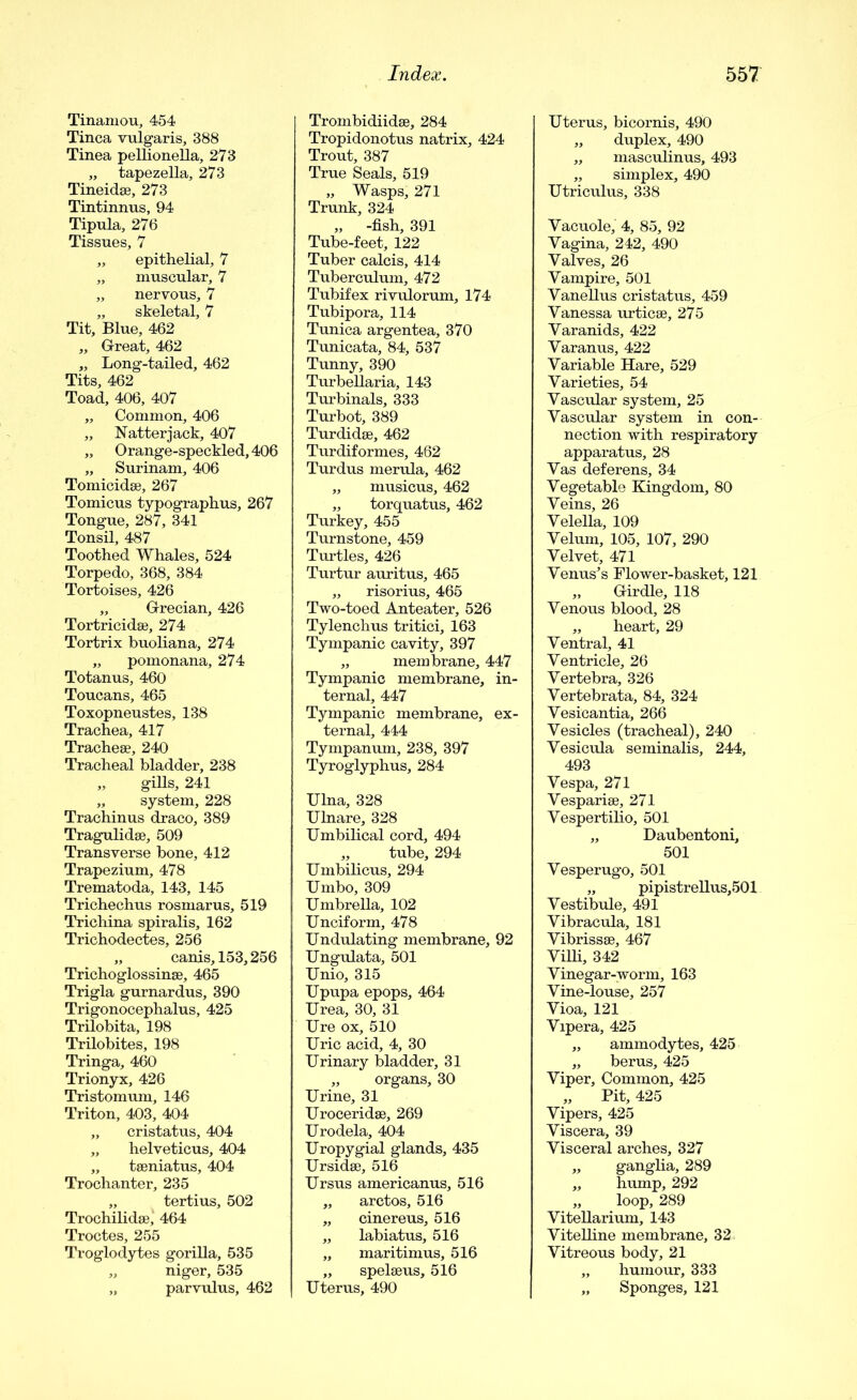 Tinamou, 454 Tinea vulgaris, 388 Tinea pellionella, 273 „ tapezella, 273 Tineidse, 273 Tintinnus, 94 Tipula, 276 Tissues, 7 ,, epithelial, 7 „ muscular, 7 „ nervous, 7 „ skeletal, 7 Tit, Blue, 462 „ Great, 462 „ Long-tailed, 462 Tits, 462 Toad, 406, 407 „ Common, 406 „ Natterjack, 407 „ Orange-speckled, 406 „ Surinam, 406 Tomicidse, 267 Tomicus typographus, 267 Tongue, 287, 341 Tonsil, 487 Toothed Whales, 524 Torpedo, 368, 384 Tortoises, 426 „ Grecian, 426 Tortricidse, 274 Tortrix buoliana, 274 „ pomonana, 274 Totanus, 460 Toucans, 465 Toxopneustes, 138 Trachea, 417 Tracheae, 240 Tracheal bladder, 238 „ gills, 241 „ system, 228 Trachinus draco, 389 Tragulidae, 509 Transverse bone, 412 Trapezium, 478 Trematoda, 143, 145 Trichechus rosmarus, 519 Trichina spiralis, 162 Trichodectes, 256 „ canis,153,256 Trichoglossinae, 465 Trigla gurnardus, 390 Trigonocephalus, 425 Trilobita, 198 Trilobites, 198 Tringa, 460 Trionyx, 426 Tristomum, 146 Triton, 403, 404 „ cristatus, 404 „ helveticus, 404 „ taeniatus, 404 Trochanter, 235 „ tertius, 502 Trochilidae, 464 Troctes, 255 Troglodytes gorilla, 535 „ niger, 535 „ parvulus, 462 Trombidiidae, 284 Tropidonotus natrix, 424 Trout, 387 True Seals, 519 „ Wasps, 271 Trunk, 324 „ -fish, 391 Tube-feet, 122 Tuber calcis, 414 Tuberculum, 472 Tubifex rivulorum, 174 Tubipora, 114 Tunica argentea, 370 Tunicata, 84, 537 Tunny, 390 Turbellaria, 143 Turbinals, 333 Turbot, 389 Turdidae, 462 Turdiformes, 462 Turdus merula, 462 „ musicus, 462 „ torquatus, 462 Turkey, 455 Turnstone, 459 Turtles, 426 Turtur auritus, 465 „ risorius, 465 Two-toed Anteater, 526 Tylenchus tritici, 163 Tympanic cavity, 397 „ membrane, 447 Tympanic membrane, in- ternal, 447 Tympanic membrane, ex- ternal, 444 Tympanum, 238, 397 Tyroglyphus, 284 Ulna, 328 Ulnare, 328 Umbilical cord, 494 „ tube, 294 Umbilicus, 294 Umbo, 309 Umbrella, 102 Unciform, 478 Undulating membrane, 92 Ungulata, 501 Unio, 315 Upupa epops, 464 Urea, 30, 31 Ure ox, 510 Uric acid, 4, 30 Urinary bladder, 31 „ organs, 30 Urine, 31 Uroceridae, 269 Urodela, 404 Uropygial glands, 435 Ursidae, 516 Ursus americanus, 516 „ arctos, 516 „ cinereus, 516 „ labiatus, 516 „ maritimus, 516 ,, spelaeus, 516 Uterus, 490 Uterus, bicornis, 490 „ duplex, 490 „ masculinus, 493 „ simplex, 490 Utriculus, 338 Vacuole, 4, 85, 92 Vagina, 242, 490 Valves, 26 Vampire, 501 Vanellus cristatus, 459 Vanessa urticae, 275 Varanids, 422 Varanus, 422 Variable Hare, 529 Varieties, 54 Vascular system, 25 Vascular system in con- nection with respiratory apparatus, 28 Vas deferens, 34 Vegetable Kingdom, 80 Veins, 26 Velella, 109 Velum, 105, 107, 290 Velvet, 471 Venus’s Flower-basket, 121 „ Girdle, 118 Venous blood, 28 „ heart, 29 Ventral, 41 Ventricle, 26 Vertebra, 326 Vertebrata, 84, 324 Vesicantia, 266 Vesicles (tracheal), 240 Vesicula seminalis, 244, 493 Vespa, 271 Vesparise, 271 Vespertilio, 501 „ Daubentoni, 501 Vesperugo, 501 „ pipistrellus,501 Vestibule, 491 Vibracula, 181 Vibrissse, 467 Villi, 342 Vinegar-worm, 163 Vine-louse, 257 Vioa, 121 Vipera, 425 „ ammodytes, 425 „ berus, 425 Viper, Common, 425 „ Pit, 425 Vipers, 425 Viscera, 39 Visceral arches, 327 „ ganglia, 289 „ hump, 292 „ loop, 289 Vitellarium, 143 Vitelline membrane, 32 Vitreous body, 21 „ humour, 333 „ Sponges, 121