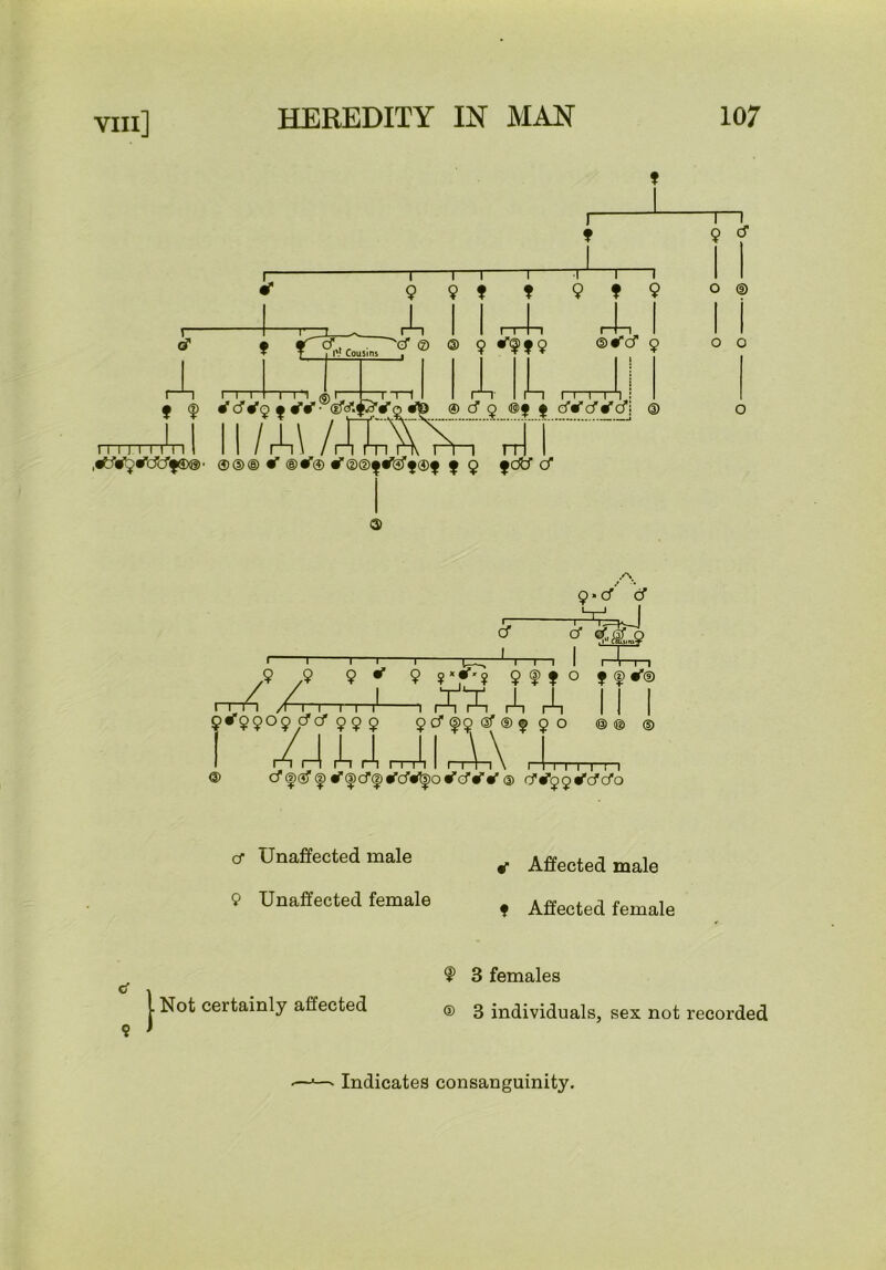 f f <3) 11 o @ 11 o o o o • cf ’ cf I I I 1 r ~xp^ ^T I t I rill 9 ,9 9 9 9 f ? o ff**® .4.- ,, ,1 , A 4, III 9» 9909 crcf 9 9 5 9 cf 99 sf ® 9 9 o @® ® @ cf|)3f|)if^cf^«fcf«^oifefif«’® d'#99ifcfcfo cT Unaffected male 9 Unaffected female iT Affected male f Affected female ^ I j. Not certainly affected ? ^ 3 females ® 3 individuals, sex not recorded Indicates consanguinity.