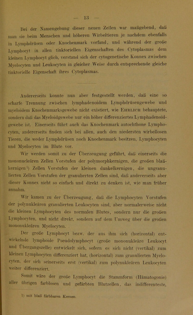 Uei der Namengebung dieser neuen Zellen war maßgebend, daß man sie beim Menschen und höheren Wirbeltieren je nachdem ebenfalls in Lymphdrüsen oder Knochenmark vorfand, und während der große Lymphocyt in allen tinktoriellen Eigenschaften des Cytoplasmas dem kleinen Lymphocyt glich, verstand sich der cytogenetische Konnex zwischen Myelocvten und Leukocyten in gleicher Weise durch entsprechende gleiche tinktorielle Eigenschaft ihres Cytoplasmas. Andererseits konnte nun aber festgestellt werden, daß eine so scharfe Trennung zwischen lymphadenoidem Lymphdrüsengewebe und myeloidem Knochenmarksgewebe nicht existiert, wie Ehrlich behauptete, sondern daß das Myeloidgewebe nur ein höher differenziertes Lvmphadenoid- gewebe ist. Einerseits führt auch das Knochenmark autochthone Lympho- cyten, andererseits finden sich bei allen, auch den niedersten wirbellosen Tieren, die weder Lymphdriisen noch Knochenmark besitzen. Lymphocyten und Myelocyten im Iflute vor. Wir werden somit zu der Überzeugung geführt, daß einerseits die mononucleären Zellen Vorstufen der polymorphkernigen, die großen blaß- kernigen1) Zellen Vorstufen der kleinen dunkelkernigen, die ungranu- lierten Zellen Vorstufen der granulierten Zellen sind, daß andererseits aber dieser Konnex nicht so einfach und direkt zu denken ist, wie man früher annahm. M ir kamen zu der Überzeugung, daß die Lymphocyten Vorstufen der polynukleären granulierten Leukocyten sind, aber normalerweise nicht die kleinen Lymphocyten des normalen Blutes, sondern nur die großen Lymphocyten, und nicht direkt, sondern auf dem Umweg über die großen mononukleären Myelocyten. Der große Lymphocyt bezw. der aus ihm sich (horizontal) ent- wickelnde lymphoide Pseudolymphocyt (große mononukleäre Leukocyt und Übergangszelle) entwickelt sich, sofern es sich nicht (vertikal) zum kleinen Lymphocyten differenziert hat, (horizontal) zum granulierten Myelo- c\ten, der sich seinerseits erst (vertikal) zum polynukleären Leukocyten weiter differenziert. Somit wäre der große Lymphocyt die Stammform (Hämatogonie) allei übrigen farblosen und gefärbten Blutzellen, das indifferenteste, 1) mit blaß färbbaren Kernen.