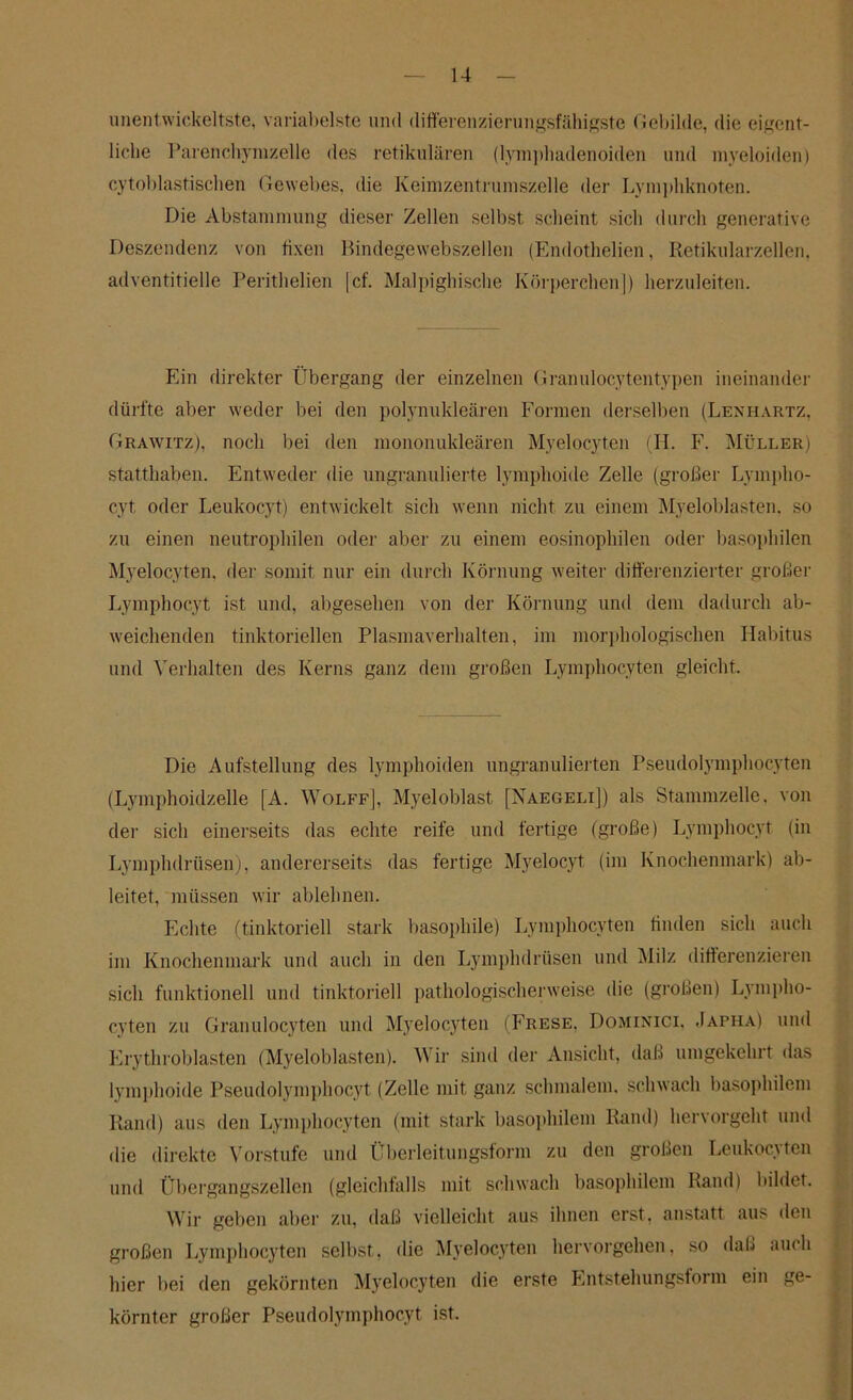 unentwickeltste, variabelste und differenzierungsfähigste Gebilde, die eigent- liche Parenchymzelle des retikulären (lymphadenoiden und myeloiden) cytoblastischen Gewebes, die Keimzentrumszelle der Lymphknoten. Die Abstammung dieser Zellen selbst scheint sich durch generative Deszendenz von fixen Bindegewebszellen (Endothelien, Retikularzellen, adventitielle Perithelien (cf. Mal])ighische Körperchen]) herzuleiten. Ein direkter Übergang der einzelnen Granulocytentypen ineinander dürfte aber weder bei den polynukleären Formen derselben (Lenhartz. Grawitz), noch bei den mononukleären Myelocyten (H. F. Müller) statthaben. Entweder die ungranulierte lymphoide Zelle (großer Lympho- cyt oder Leukocyt) entwickelt sich wenn nicht zu einem Myeloblasten, so zu einen neutrophilen oder aber zu einem eosinophilen oder basophilen Myelocyten. der somit nur ein durch Körnung weiter differenzierter großer Lymphocyt ist und, abgesehen von der Körnung und dem dadurch ab- weichenden tinktoriellen Plasmaverhalten, im morphologischen Habitus und Verhalten des Kerns ganz dem großen Lymphocyten gleicht. Die Aufstellung des lymphoiden ungranulierten Pseudolymphocyten (Lymphoidzelle [A. Wolff], Myeloblast [Naegeli]) als Stammzelle, von der sich einerseits das echte reife und fertige (große) Lymphocyt (in Lymphdrüsen), andererseits das fertige Myelocyt (im Knochenmark) ab- leitet, müssen wir ablehnen. Echte (tinktoriell stark basophile) Lymphocyten finden sich auch im Knochenmark und auch in den Lymphdrüsen und Milz differenzieren sich funktionell und tinktoriell pathologischerweise die (großen) Lympho- cyten zu Gran ulocyten und Myelocyten (Frese. Dominici, Japha) und Erythroblasten (Myeloblasten). Wir sind der Ansicht, daß umgekehrt das lymphoide Pseudolymphocyt (Zelle mit ganz schmalem, schwach basophilem Rand) aus den Lymphocyten (mit stark basophilem Rand) hervorgeht und die direkte Vorstufe und Überleitungsform zu den großen Leukocyten und Übergangszellen (gleichfalls mit schwach basophilem Rand) bildet. Wir geben aber zu, daß vielleicht aus ihnen erst, anstatt aus den großen Lymphocyten selbst, die Myelocyten hervorgehen, so daß auch hier bei den gekörnten Myelocyten die erste Entstehungsform ein ge- körnter großer Pseudolymphocyt ist.