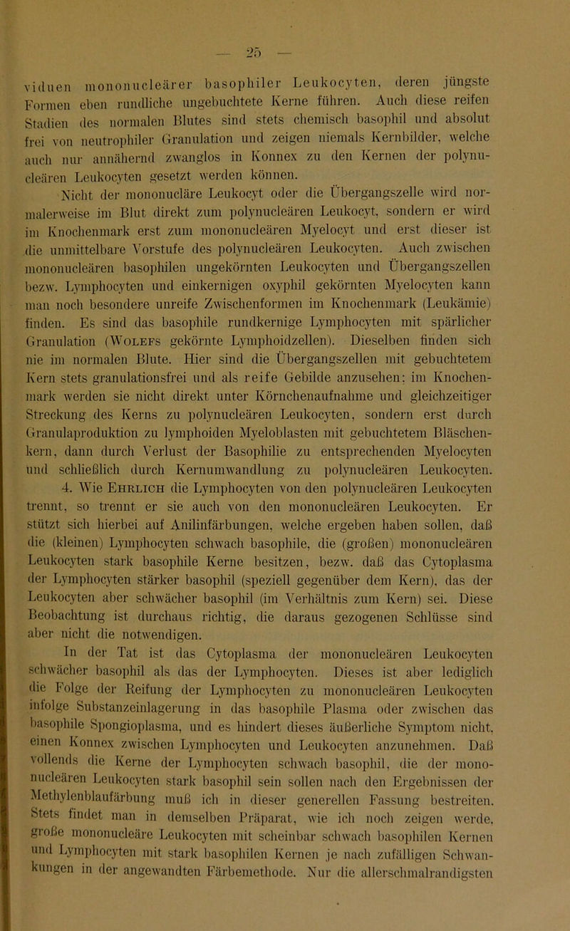 viduen mononucleärer basophiler Leukocyten, deren jüngste Formen eben rundliche ungebuchtete Kerne führen. Auch diese reifen Stadien des normalen Blutes sind stets chemisch basophil und absolut frei von neutrophiler Granulation und zeigen niemals Kernbilder, welche auch nur annähernd zwanglos in Konnex zu den Kernen der polynu- cleären Leukocyten gesetzt werden können. Nicht der mononucläre Leukocyt oder die Übergangszelle wird nor- malerweise im Blut direkt zum polynucleären Leukocyt, sondern er wird im Knochenmark erst zum mononucleären Myelocyt und erst dieser ist die unmittelbare Vorstufe des polynucleären Leukocyten. Auch zwischen mononucleären basophilen ungekörnten Leukocyten und Übergangszellen bezw. Lymphocyten und einkernigen oxvphil gekörnten Myelocyten kann man noch besondere unreife Zwischenformen im Knochenmark (Leukämie) finden. Es sind das basophile rundkernige Lymphocyten mit spärlicher Granulation (Wolefs gekörnte Lymphoidzellen). Dieselben finden sich nie im normalen Blute. Hier sind die Übergangszellen mit gebuchtetem Kern stets granulationsfrei und als reife Gebilde anzusehen; im Knochen- mark werden sie nicht direkt unter Körnchenaufnahme und gleichzeitiger Streckung des Kerns zu polynucleären Leukocyten, sondern erst durch Granulaproduktion zu lymphoiden Myeloblasten mit gebuchtetem Bläschen- kern, dann durch Verlust der Basophilie zu entsprechenden Myelocyten Und schließlich durch Kernumwandlung zu polynucleären Leukocyten. 4. Wie Ehrlich die Lymphocyten von den polynucleären Leukocyten trennt, so trennt er sie auch von den mononucleären Leukocyten. Er stützt sich hierbei auf Anilinfärbungen, welche ergeben haben sollen, daß die (kleinen) Lymphocyten schwach basophile, die (großen) mononucleären Leukocyten stark basophile Kerne besitzen, bezw. daß das Cytoplasma der Lymphocyten stärker basophil (speziell gegenüber dem Kern), das der Leukocyten aber schwächer basophil (im Verhältnis zum Kern) sei. Diese Beobachtung ist durchaus richtig, die daraus gezogenen Schlüsse sind aber nicht die notwendigen. In der Tat ist das Cytoplasma der mononucleären Leukocyten schwächer basophil als das der Lymphocyten. Dieses ist aber lediglich die Folge der Reifung der Lymphocyten zu mononucleären Leukocyten infolge Substanzeinlagerung in das basophile Plasma oder zwischen das basophile Spongioplasma, und es hindert dieses äußerliche Symptom nicht, einen Konnex zwischen Lymphocyten und Leukocyten anzunehmen. Daß vollends die Kerne der Lymphocyten schwach basophil, die der mono- nucleären Leukocyten stark basophil sein sollen nach den Ergebnissen der Methylenblaufärbung muß ich in dieser generellen Fassung bestreiten. Stets findet man in demselben Präparat, wie ich noch zeigen werde, große mononucleäre Leukocyten mit scheinbar schwach basophilen Kernen und Lymphocyten mit stark basophilen Kernen je nach zufälligen Schwan- kungen in der angewandten Färbemethode. Nur die allersclunalrandigsten