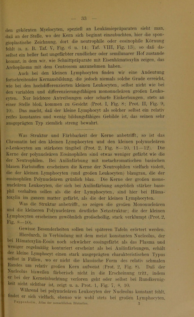 den gekörnten Myelocyten, speziell an Leukämiepräparaten sieht man, daß an der Stelle, wo der Kern sich beginnt einzubuchten, hier die spon- gioplastische Zeichnung, dort die neutrophile oder eosinophile Körnung fehlt (s. z. B. Taf. V, Fig. 6 u. 14; Taf. VIII, Fig. 13), so daß da- selbst ein heller fast ungefärbter rundlicher oder semilunarer Hof zustande kommt, in dem wir, wie Schnittpräparate mit Eisenhämatoxylin zeigen, das Archoplasma mit dem Centrosom anzunehmen haben. Auch bei den kleinen Lymphocyten finden wir eine Andeutung fortschreitender Kernausbildung, die jedoch niemals solche Grade erreicht, wie bei den hochdifferenzierten kleinen Leukocyten, selbst nicht wie bei den variablen und differenzierungsfähigen mononucleären großen Leuko- cyten. Nur leichtere Antreibungen oder scharfe Einkerbungen, stets an einer Stelle bloß, kommen zu Gesicht (Prot. I, Fig. 8; Prot. II, Fig. 3, 10). Das macht, daß der kleine Lymphocyt als solcher selbst ein relativ reifes konstantes und wenig bildungsfähiges Gebilde ist, das seinen sehr ausgeprägten Typ ziemlich streng bewahrt. Was Struktur und Färbbarkeit der Kerne anbetrifft, so ist das Chromatin bei den kleinen Lymphocyten und den kleinen polynucleären «-Leukocyten am stärksten tingibel (Prot. 2, Fig. 8—10, 11 —12). Die Kerne der polynucleären Eosinophilen sind etwas weniger gefärbt wie die der Neutrophilen. Bei Anilinfärbung mit metachromatischen basischen blauen Farbstoffen erscheinen die Kerne der Neutrophilen vielfach violett, die der kleinen Lymphocyten (und großen Leukocyten) blaugrau, die der eosinophilen Polynucleären grünlich blau. Die Kerne der großen mono- nucleären Leukocyten, die' sich bei Anilinfärbung angeblich stärker baso- phil verhalten sollen als die der Lymphocyten, sind hier bei Härna- toxylin im ganzen matter gefärbt, als die der kleinen Lymphocyten. Was die Struktur anbetrifft, so zeigen die großen Mononucleären und die kleineren Polynucleären deutliche Netzstruktur; die der kleinen Lymphocyten erscheinen gewöhnlich großschollig, stark verklumpt (Prot. 2, Fig. 8-10). Gewisse Besonderheiten sollen bei späteren Tafeln erörtert werden. Hierdurch, in Verbindung mit dem meist konstanten Nucleolus, der bei Hämatoxylin-Eosin noch schwächer eosin gefärbt als das Plasma und weniger regelmäßig konturiert erscheint als bei Anilinfärbungen, erhält der kleine Lymphocyt einen stark ausgeprägten charakteristischen Typus selbst in Fällen, wo er nicht die klassische Form des relativ schmalen Randes um relativ großen Kern aufweist (Prot. 2, Fig. 8). Daß der Nucleolus bisweilen färberisch nicht in die Erscheinung tritt, indem ei bei der Kerneinbuchtung verloren geht oder selbst bei Rundkernig- keit nicht sichtbar ist, zeigt u. a. Prot. 1, Fig. 7, 8, 10. Während bei polynucleären Leukocyten der Nucleolus konstant fehlt, findet er sich vielfach, ebenso wie wohl stets bei großen Lymphocyten. T’apponhoim, Atlas der menschlichen Blutzöllen. 3