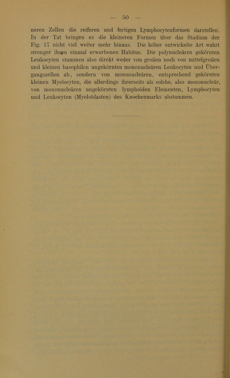 neren Zellen die reiferen und fertigen Lymphocytenformen darstellen. In der Tat bringen es die kleineren Formen über das Stadium der Fig. 17 nicht viel weiter mehr hinaus. Die höher entwickelte Art wahrt strenger ihnen einmal erworbenen Habitus. Die polynucleären gekörnten Leukocyten stammen also direkt weder von großen noch von mittelgroßen und kleinen basophilen ungekörnten mononucleären Leukocyten und Über- gangszellen ab, sondern von mononucleären, entsprechend gekörnten kleinen Myelocyten, die allerdings ihrerseits als solche, also mononucleär, von mononucleären ungekörnten lymphoiden Elementen, Lymphocyten und Leukocyten (Myeloblasten) des Knochenmarks abstammen.