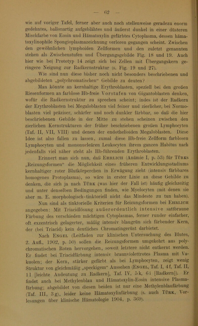 wie auf voriger Tafel, ferner aber auch noch stellenweise geradezu enorm gedehntes, ballonartig aufgeblähtes und äußerst dunkel in einer düsteren Mischfarbe von Eosin und Hämatoxylin gefärbtes Cytoplasma, dessen häma- toxylinophile Spongioplasmazeichnung verloren gegangen scheint. Zwischen den gewöhnlichen lymphoiden Zellformen und den zuletzt genannten stehen als Zwischenstufen und Übergangsgebilde Fig. 18 und 19. Auch hier wie bei Prototyp 14 zeigt sich bei Zellen mit Übergangskern ge- ringere Neigung zur Radkernstruktur (s. Fig. 19 und 27). Wie sind nun diese bisher noch nicht besonders beschriebenen und abgebildeten „polychromatischen“ Gebilde zu deuten? Man könnte an kernhaltige Erythroblasten, speziell bei den großen Riesenformen an farblose Hb-freie Vorstufen von Gigantobiasten denken, wofür die Radkernstruktur zu sprechen scheint; indes ist der Radkern der Erythroblasten bei Megaloblasten viel feiner und zierlicher, bei Normo- blasten viel präziser, schärfer und noch dunkler färbbar, so daß die hier beschriebenen Gebilde in der Mitte zu stehen scheinen zwischen den zierlichen Kernstrukturen der früher beschriebenen großen Lymphocyten (Taf. II, VII, VIII) und denen der endothelioiden Megaloblasten. Diese Idee ist also fallen zu lassen, zumal diese Hb-freie Zellform farblosen Lymphocyten und mononucleären Leukocyten ihrem ganzen Habitus nach jedenfalls viel näher steht als Hb-führenden Erythroblasten. Erinnert man sich nun, daß Ehrlich (Anämie I, p. 53) für Türks „Reizungsformen“ die Möglichkeit eines früheren Entwicklungsstadiums kernhaltiger roter Blutkörperchen in Erwägung zieht (intensiv färbbares homogenes Protoplasma), so wäre in erster Linie an diese Gebilde zu denken, die sich ja nach Türk (was hier der Fall ist) häufig gleichzeitig und unter denselben Bedingungen finden, wie Myelocyten (mit denen sie aber m. E. morphologisch-tinktoriell nicht das Mindeste zu tun haben). Nun sind als tinktorielle Kriterien für Reizungsformen bei Ehrlich angegeben: Mit Triacidlösung außerordentlich intensive sattbraune Färbung des verschieden mächtigen Cytoplasmas, ferner runder einfacher, oft exzentrisch gelagerter, mäßig intensiv blaugrün sich färbender Kern, der (bei Triacid) kein deutliches Chromatingerüst darbietet. Nach Engel (Leitfaden zur klinischen Untersuchung des Blutes, 2. Auf!., 1902, [). 50) sollen die Reizungsformen umgekehrt aus poly- chromatischen Roten hervorgehen, soweit letztere nicht entkernt werden. Er findet bei Triacidfärbung intensiv braunviolettrotes Plasma mit Va- kuolen; der Kern, stärker gefärbt als bei Lymphocyten, zeigt wenig Struktur von gleichmäßig „speckigem“ Aussehen (Engel, laf. I, 4f, laf. II, 11 [leichte Andeutung zu Radkern], laf. IV, 5k, (>i [Radkern]). Ei findet auch bei Methylenblau und Hämatoxylin-Eosin intensive Plasma- färbung; abgebildet von diesen beiden ist nur eine Methylenblaufärbung (Taf. III, 3 g), leider keine Hämatoxylinfärbung (s. auch Türk, Vor- lesungen über klinische Hämatologie 1904, p. 309).