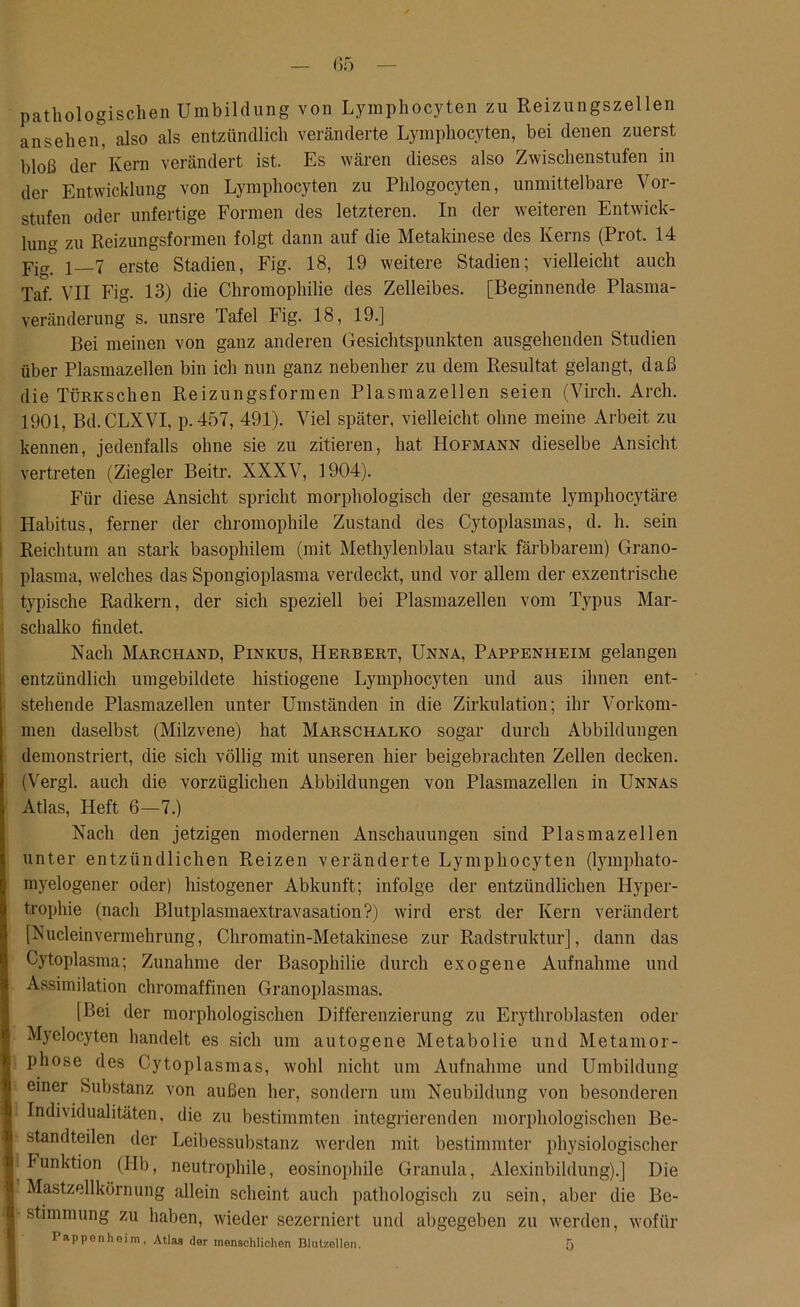 pathologischen Umbildung von Lymphocyten zu Reizungszellen ansehen, also als entzündlich veränderte Lymphocyten, bei denen zuerst bloß der Kern verändert ist. Es wären dieses also Zwischenstufen in der Entwicklung von Lymphocyten zu Phlogocyten, unmittelbare Vor- stufen oder unfertige Formen des letzteren. In der weiteren Entwick- lung zu Reizungsformen folgt dann auf die Metakinese des Kerns (Prot. 14 Yig. i—l erste Stadien, Fig. 18, 19 weitere Stadien; vielleicht auch Taf. VII Fig. 13) die Chromophilie des Zelleibes. [Beginnende Plasma- veränderung s. unsre Tafel Fig. 18, 19.] Bei meinen von ganz anderen Gesichtspunkten ausgehenden Studien über Plasmazellen bin ich nun ganz nebenher zu dem Resultat gelangt, daß die TÜRKschen Reizungsformen Plasmazellen seien (Virch. Arch. 1901, Bd.CLXVI, p. 457, 491). Viel später, vielleicht ohne meine Arbeit zu kennen, jedenfalls ohne sie zu zitieren, hat Hofmann dieselbe Ansicht vertreten (Ziegler Beitr. XXXV, 1904). Für diese Ansicht spricht morphologisch der gesamte lympliocytäre Habitus, ferner der chromophile Zustand des Cytoplasmas, d. h. sein Reichtum an stark basophilem (mit Methylenblau stark färbbarem) Grano- plasma, welches das Spongioplasma verdeckt, und vor allem der exzentrische typische Radkern, der sich speziell bei Plasmazellen vom Typus Mar- schalko findet. Nach Marchand, Pinkus, Herbert, Unna, Pappenheim gelangen entzündlich umgebildete histiogene Lymphocyten und aus ihnen ent- stehende Plasmazellen unter Umständen in die Zirkulation; ihr Vorkom- men daselbst (Milzvene) hat Marschalko sogar durch Abbildungen demonstriert, die sich völlig mit unseren hier beigebrachten Zellen decken. (Vergl. auch die vorzüglichen Abbildungen von Plasmazellen in Unnas Atlas, Heft 6—7.) Nach den jetzigen modernen Anschauungen sind Plasmazellen unter entzündlichen Reizen veränderte Lymphocyten (lymphato- myelogener oder) histogener Abkunft; infolge der entzündlichen Hyper- trophie (nach Blutplasmaextravasation?) wird erst der Kern verändert [NucleinVermehrung, Chromatin-Metakinese zur Radstruktur], dann das Cytoplasma; Zunahme der Basophilie durch exogene Aufnahme und Assimilation chromaffinen Granoplasmas. [Bei der morphologischen Differenzierung zu Erythroblasten oder Myelocyten handelt es sich um autogene Metabolie und Metamor- phose des Cytoplasmas, wohl nicht um Aufnahme und Umbildung einer Substanz von außen her, sondern um Neubildung von besonderen Individualitäten, die zu bestimmten integrierenden morphologischen Be- standteilen der Leibessubstanz werden mit bestimmter physiologischer Funktion (Hb, neutrophile, eosinophile Granula, Alexinbildung).] Die Mastzellkörnung allein scheint auch pathologisch zu sein, aber die Be- stimmung zu haben, wieder sezerniert und abgegeben zu werden, wofür Pappenhoim, Atlas der menschlichen Blutzöllen. i)