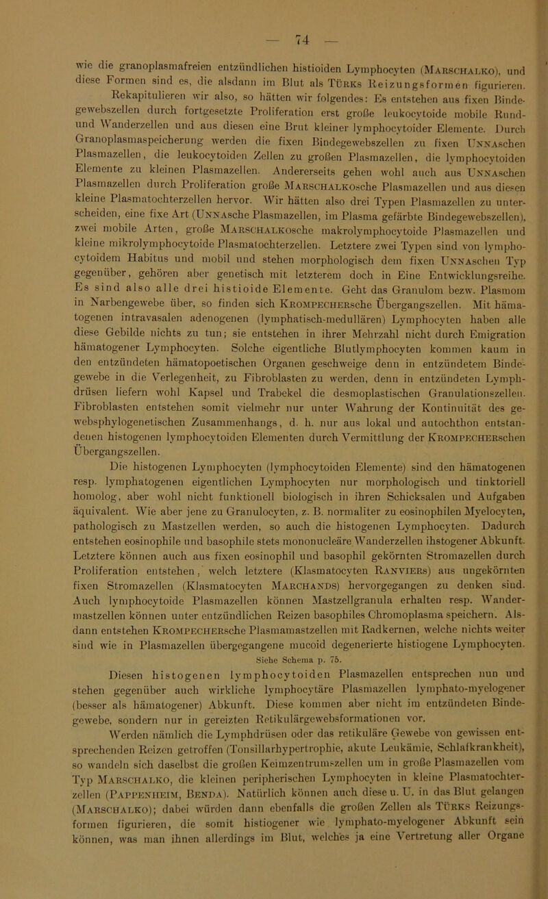 w ie die granoplasmafreien entzündlichen histioiden Lymphocyten (Marschalko), und diese Formen sind es, die alsdann im Blut als Türks Reizungsformen figurieren. Rekapitulieren wir also, so hätten wir folgendes: Es entstehen aus fixen Binde- gewebszellen durch fortgesetzte Proliferation erst große leukocytoide mobile Rund- lind \\ anderzellen und aus diesen eine Brut kleiner lymphocytoider Elemente. Durch Granoplasmaspeicherung werden die fixen Bindegewrebszellen zu fixen ÜNNAschen Plasmazellen, die leukocytoiden Zellen zu großen Plasmazellen, die lymphocytoiden Elemente zu kleinen Plasmazellen. Andererseits gehen wohl auch aus ÜNNAschen Plasmazellen durch Proliferation große MARSCHALKOsche Plasmazellen und aus diesen kleine Plasmatochterzellen hervor. Wir hätten also drei Typen Plasmazellen zu unter- scheiden, eine fixe Art (UNNAsche Plasmazellen, im Plasma gefärbte Bindegewebszellen), zwei mobile Arten, große MARSCHALKOsche makrolymphocytoide Plasmazellen und kleine mikrolymphocytoide Plasmatochterzellen. Letztere zwei Typen sind von lympho- cytoidem Habitus und mobil und stehen morphologisch dem fixen UNNAschen Typ gegenüber, gehören aber genetisch mit letzterem doch in Eine Entwicklungsreihe. Es sind also alle drei histioide Elemente. Geht das Granulom bezw. Plasmom in Narbengewebe über, so finden sich KROMPECHERsche Übergangszellen. Mit häma- togenen intravasalen adenogenen (lymphatisch-medullären) Lymphocyten haben alle diese Gebilde nichts zu tun; sie entstehen in ihrer Mehrzahl nicht durch Emigration hämatogener Lymphocyten. Solche eigentliche Blutlymphocyten kommen kaum in den entzündeten hämatopoetischen Organen geschweige denn in entzündetem Binde- gewebe in die Verlegenheit, zu Fibroblasten zu werden, denn in entzündeten Lymph- drtisen liefern wohl Kapsel und Trabekel die desmoplastischen Granulationszellen. Fibroblasten entstehen somit vielmehr nur unter Wahrung der Kontinuität des ge- wTebsphylogenetischen Zusammenhangs, d. h. nur aus lokal und autochthon entstan- denen histogenen lymphocytoiden Elementen durch Vermittlung der KROMPECHERschen Übergangszellen. Die histogenen Lymphocyten (lymphocytoiden Elemente) sind den hämatogenen resp. lymphatogenen eigentlichen Lymphocyten nur morphologisch und tinktoriell homolog, aber wohl nicht funktionell biologisch in ihren Schicksalen und Aufgaben äquivalent. Wie aber jene zu Granulocyten, z. B. normaliter zu eosinophilen Myelocyten, pathologisch zu Mastzellen werden, so auch die histogenen Lymphocyten. Dadurch entstehen eosinophile und basophile stets mononucleäre Wanderzellen ihstogener Abkunft. Letztere können auch aus fixen eosinophil und basophil gekörnten Stromazellen durch Proliferation entstehen, w’elch letztere (Klasmatocyten Ranviers) aus ungekörnten fixen Stromazellen (Klasmatocyten Marchands) hervorgegangen zu denken sind. Auch lymphocytoide Plasmazellen können Mastzellgranula erhalten resp. Wander- mastzellen können unter entzündlichen Reizen basophiles Chromoplasma speichern. Als- dann entstehen KROMPECHERsche Plasmamastzellen mit Radkernen, welche nichts weiter sind wie in Plasmazellen übergegangene mucoid degenerierte histiogene Lymphocyten. Siehe Schema p. 75. Diesen histogenen lymphocytoiden Plasmazellen entsprechen nun und stehen gegenüber auch wirkliche lyniphocytäre Plasmazellen lymphato-myelogener (besser als hämatogener) Abkunft, Diese kommen aber nicht im entzündeten Binde- gewebe, sondern nur in gereizten Retikulärgewebsformationen vor. Werden nämlich die Lymphdrüsen oder das retikuläre Gewebe von gewissen ent- sprechenden Reizen getroffen (Tonsillarhypertrophie, akute Leukämie, Schlafkrankheit), so wandeln sich daselbst die großen Keimzentrumszellen um in große Plasmazellen vom Typ Marschalko, die kleinen peripherischen Lymphocyten in kleine Plasmatochter- zellen (Pappenheim, Benda). Natürlich können auch diese u. U. in das Blut gelangen (Marschalko); dabei würden dann ebenfalls die großen Zellen als Türks Reizungs- formen figurieren, die somit histiogener wie lymphato-myelogener Abkunft sein können, was man ihnen allerdings im Blut, welches ja eine ’S ertretung aller Organe