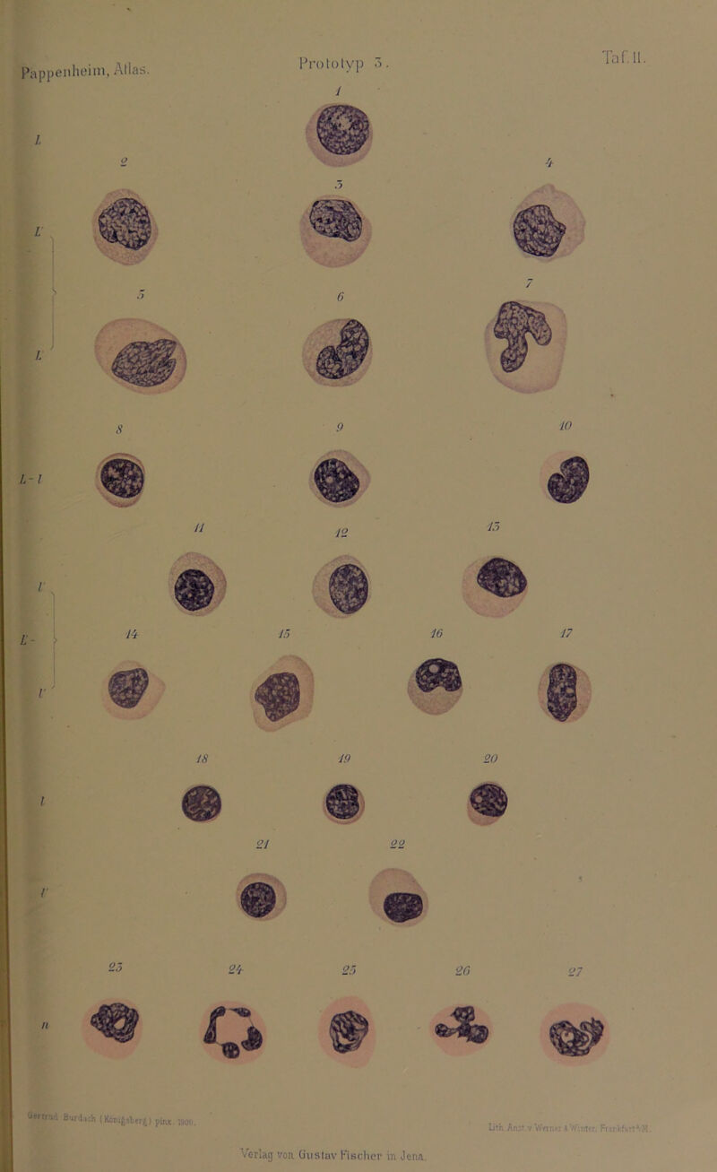 1 c, Tarn. s 9 L-I n 12 L- > V' l'i 15 IS lff 20 I r 21 22 5 25 2t 26 27 n üertrvi fiur'lich (KanißsfctrJ) pinx. ;joo. lith Anst.v.Wnn-i J. Winter, Frankfurt a<M.