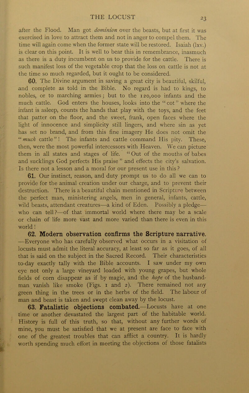 after the Flood. Man got dominion over the beasts, but at first it was exercised in love to attract them and not in anger to compel them. The time will again come when the former state will be restored. Isaiah (lxv.) is clear on this point. It is well to bear this in remembrance, inasmuch as there is a duty incumbent on us to provide for the cattle. There is such manifest loss of the vegetable crop that the loss on cattle is not at the time so much regarded, but it ought to be considered. 60. The Divine argument in saving a great city is beautiful, skilful, and complete as told in the Bible. No regard is had to kings, to nobles, or to marching armies; but to the 120,000 infants and the much cattle. God enters the houses, looks into the “cot” where the infant is asleep, counts the hands that play with the toys, and the feet that patter on the floor, and the sweet, frank, open faces where the light of innocence and simplicity still lingers, and where sin as yet has set no brand, and from this fine imagery He does not omit the “ much cattle ” ! The infants and cattle command His pity. These, then, were the most powerful intercessors with Heaven. We can picture them in all states and stages of life. “ Out of the mouths of babes and sucklings God perfects His praise ” and effects the city’s salvation. Is there not a lesson and a moral for our present use in this ? 61. Our instinct, reason, and duty prompt us to do all we can to provide for the animal creation under our charge, and to prevent their destruction. There is a beautiful chain mentioned in Scripture between the perfect man, ministering angels, men in general, infants, cattle, wild beasts, attendant creatures—a kind of Eden. Possibly a pledge— who can tell?—of that immortal world where there may be a scale or chain of life more vast and more varied than there is even in this world! 62. Modern observation confirms the Scripture narrative. —Everyone who has carefully observed what occurs in a visitation of locusts must admit the literal accuracy, at least so far as it goes, of all that is said on the subject in the Sacred Record. Their characteristics to-day exactly tally with the Bible accounts. I saw under my own eye not only a large vineyard loaded with young grapes, but whole fields of corn disappear as if by magic, and the hope of the husband- man vanish like smoke (Figs. 1 and 2). There remained not any green thing in the trees or in the herbs of the field. The labour of man and beast is taken and swept clean away by the locust. 63. Fatalistic objections combated.—Locusts have at one time or another devastated the largest part of the habitable world. History is full of this truth, so that, without any further words of mine, you must be satisfied that we at present are face to face with one of the greatest troubles that can afflict a country. It is hardly worth spending much effort in meeting the objections of those fatalists