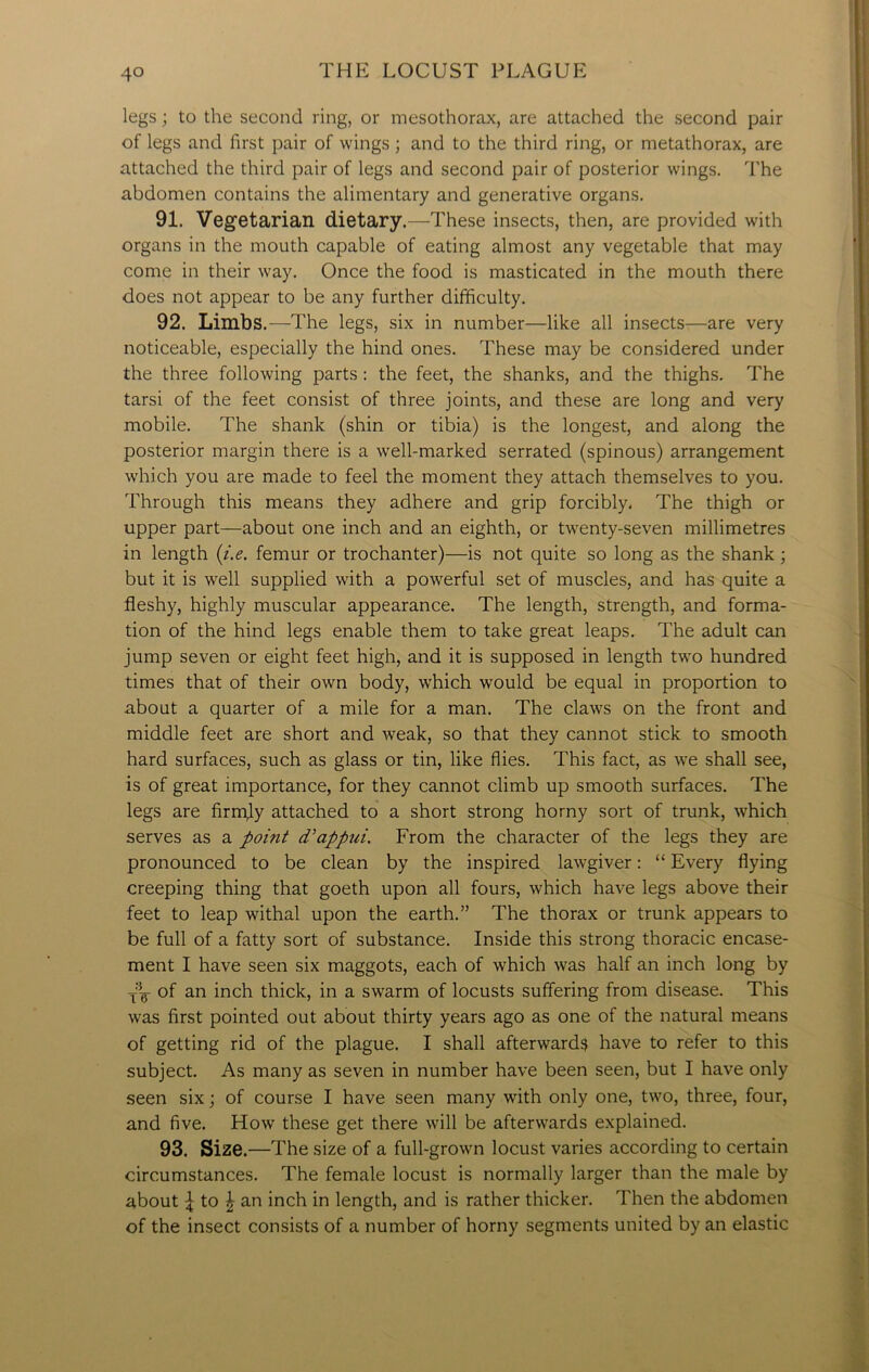 legs; to the second ring, or mesothorax, are attached the second pair of legs and first pair of wings; and to the third ring, or metathorax, are attached the third pair of legs and second pair of posterior wings. The abdomen contains the alimentary and generative organs. 91. Vegetarian dietary.—These insects, then, are provided with organs in the mouth capable of eating almost any vegetable that may come in their way. Once the food is masticated in the mouth there does not appear to be any further difficulty. 92. Limbs.—The legs, six in number—like all insects—are very noticeable, especially the hind ones. These may be considered under the three following parts : the feet, the shanks, and the thighs. The tarsi of the feet consist of three joints, and these are long and very mobile. The shank (shin or tibia) is the longest, and along the posterior margin there is a well-marked serrated (spinous) arrangement which you are made to feel the moment they attach themselves to you. Through this means they adhere and grip forcibly. The thigh or upper part—about one inch and an eighth, or twenty-seven millimetres in length (i.e. femur or trochanter)—is not quite so long as the shank; but it is well supplied with a powerful set of muscles, and has quite a fleshy, highly muscular appearance. The length, strength, and forma- tion of the hind legs enable them to take great leaps. The adult can jump seven or eight feet high, and it is supposed in length two hundred times that of their own body, which would be equal in proportion to about a quarter of a mile for a man. The claws on the front and middle feet are short and weak, so that they cannot stick to smooth hard surfaces, such as glass or tin, like flies. This fact, as we shall see, is of great importance, for they cannot climb up smooth surfaces. The legs are firmjy attached to a short strong horny sort of trunk, which serves as a point d'appui. From the character of the legs they are pronounced to be clean by the inspired lawgiver: “ Every flying creeping thing that goeth upon all fours, which have legs above their feet to leap withal upon the earth.” The thorax or trunk appears to be full of a fatty sort of substance. Inside this strong thoracic encase- ment I have seen six maggots, each of which was half an inch long by of an inch thick, in a swarm of locusts suffering from disease. This was first pointed out about thirty years ago as one of the natural means of getting rid of the plague. I shall afterward? have to refer to this subject. As many as seven in number have been seen, but I have only seen six; of course I have seen many with only one, two, three, four, and five. How these get there will be afterwards explained. 93. Size.—The size of a full-grown locust varies according to certain circumstances. The female locust is normally larger than the male by about \ to \ an inch in length, and is rather thicker. Then the abdomen of the insect consists of a number of horny segments united by an elastic