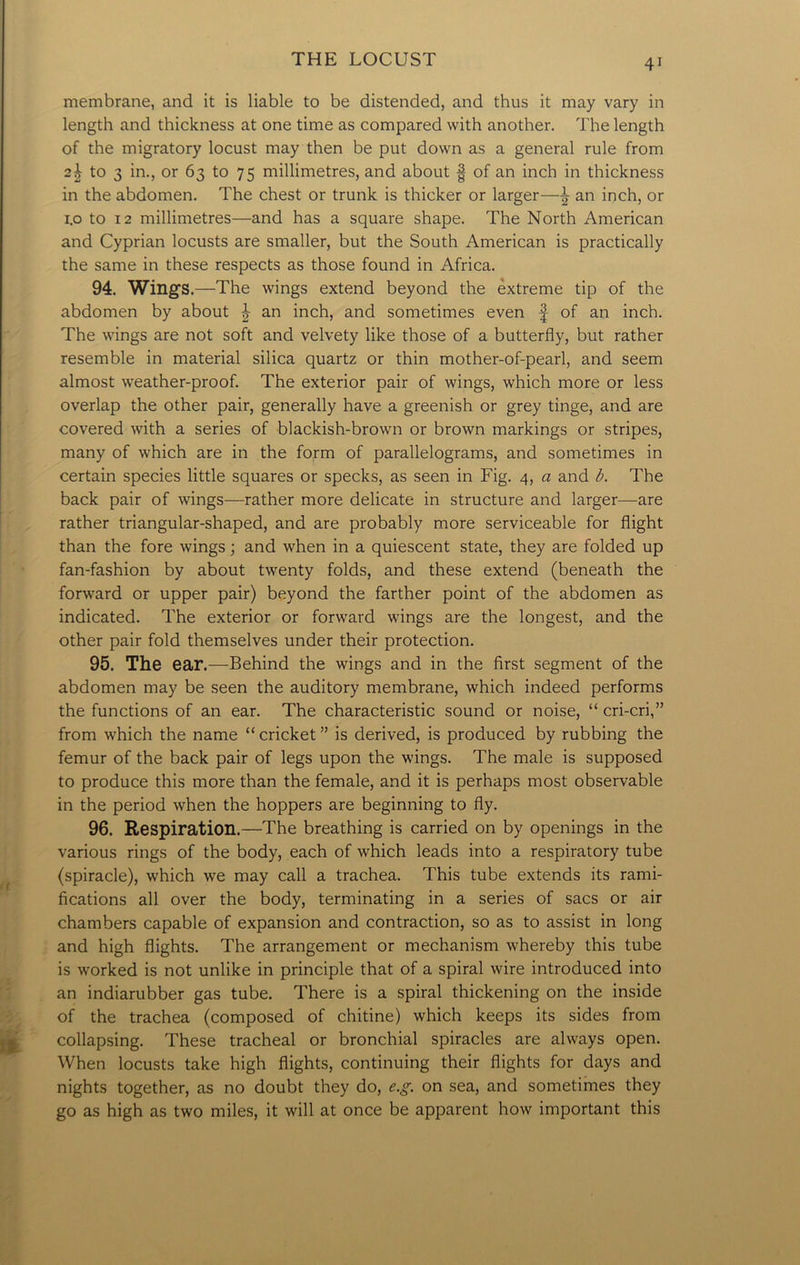 membrane, and it is liable to be distended, and thus it may vary in length and thickness at one time as compared with another. The length of the migratory locust may then be put down as a general rule from 2^ to 3 in., or 63 to 75 millimetres, and about § of an inch in thickness in the abdomen. The chest or trunk is thicker or larger—^ an inch, or 1.0 to 12 millimetres—and has a square shape. The North American and Cyprian locusts are smaller, but the South American is practically the same in these respects as those found in Africa. 94. Wings.—The wings extend beyond the extreme tip of the abdomen by about J an inch, and sometimes even f of an inch. The wings are not soft and velvety like those of a butterfly, but rather resemble in material silica quartz or thin mother-of-pearl, and seem almost weather-proof. The exterior pair of wings, which more or less overlap the other pair, generally have a greenish or grey tinge, and are covered with a series of blackish-brown or brown markings or stripes, many of which are in the form of parallelograms, and sometimes in certain species little squares or specks, as seen in Fig. 4, a and b. The back pair of wings—rather more delicate in structure and larger—are rather triangular-shaped, and are probably more serviceable for flight than the fore wings; and when in a quiescent state, they are folded up fan-fashion by about twenty folds, and these extend (beneath the forward or upper pair) beyond the farther point of the abdomen as indicated. The exterior or forward wings are the longest, and the other pair fold themselves under their protection. 95. The ear.—Behind the wings and in the first segment of the abdomen may be seen the auditory membrane, which indeed performs the functions of an ear. The characteristic sound or noise, “ cri-cri,” from which the name “ cricket ” is derived, is produced by rubbing the femur of the back pair of legs upon the wings. The male is supposed to produce this more than the female, and it is perhaps most observable in the period when the hoppers are beginning to fly. 96. Respiration.—The breathing is carried on by openings in the various rings of the body, each of which leads into a respiratory tube (spiracle), which we may call a trachea. This tube extends its rami- fications all over the body, terminating in a series of sacs or air chambers capable of expansion and contraction, so as to assist in long and high flights. The arrangement or mechanism whereby this tube is worked is not unlike in principle that of a spiral wire introduced into an indiarubber gas tube. There is a spiral thickening on the inside of the trachea (composed of chitine) which keeps its sides from collapsing. These tracheal or bronchial spiracles are always open. When locusts take high flights, continuing their flights for days and nights together, as no doubt they do, e.g. on sea, and sometimes they go as high as two miles, it will at once be apparent how important this