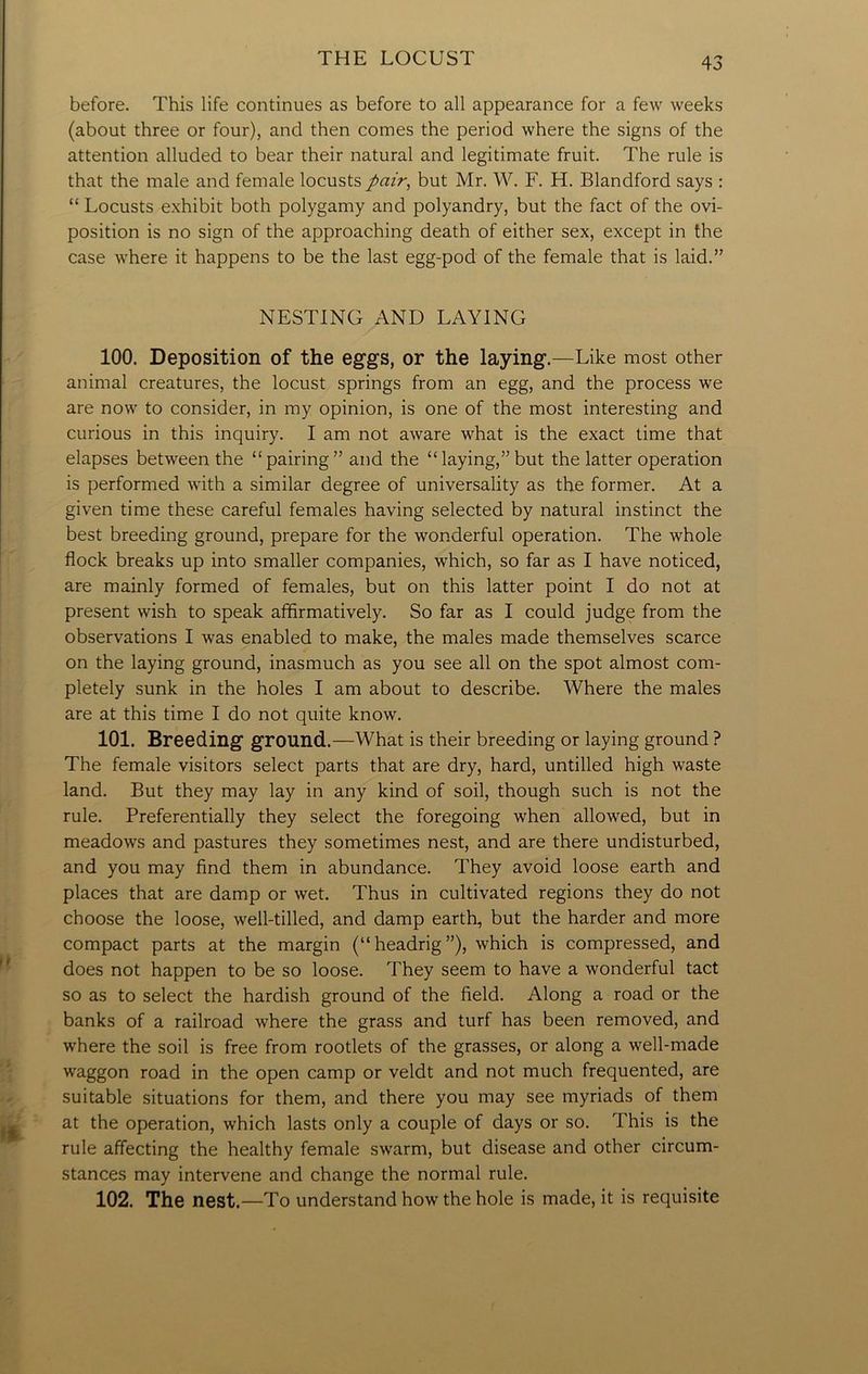 before. This life continues as before to all appearance for a few weeks (about three or four), and then comes the period where the signs of the attention alluded to bear their natural and legitimate fruit. The rule is that the male and female locusts pair, but Mr. W. F. H. Blandford says : “ Locusts exhibit both polygamy and polyandry, but the fact of the ovi- position is no sign of the approaching death of either sex, except in the case where it happens to be the last egg-pod of the female that is laid.” NESTING AND LAYING 100. Deposition of the eggs, or the laying.—Like most other animal creatures, the locust springs from an egg, and the process we are now to consider, in my opinion, is one of the most interesting and curious in this inquiry. I am not aware what is the exact time that elapses between the “pairing” and the “laying,”but the latter operation is performed with a similar degree of universality as the former. At a given time these careful females having selected by natural instinct the best breeding ground, prepare for the wonderful operation. The whole flock breaks up into smaller companies, which, so far as I have noticed, are mainly formed of females, but on this latter point I do not at present wish to speak affirmatively. So far as I could judge from the observations I was enabled to make, the males made themselves scarce on the laying ground, inasmuch as you see all on the spot almost com- pletely sunk in the holes I am about to describe. Where the males are at this time I do not quite know. 101. Breeding ground.—What is their breeding or laying ground ? The female visitors select parts that are dry, hard, untilled high waste land. But they may lay in any kind of soil, though such is not the rule. Preferentially they select the foregoing when allowed, but in meadows and pastures they sometimes nest, and are there undisturbed, and you may find them in abundance. They avoid loose earth and places that are damp or wet. Thus in cultivated regions they do not choose the loose, well-tilled, and damp earth, but the harder and more compact parts at the margin (“ headrig ”), which is compressed, and does not happen to be so loose. They seem to have a wonderful tact so as to select the hardish ground of the field. Along a road or the banks of a railroad where the grass and turf has been removed, and where the soil is free from rootlets of the grasses, or along a well-made waggon road in the open camp or veldt and not much frequented, are suitable situations for them, and there you may see myriads of them at the operation, which lasts only a couple of days or so. This is the rule affecting the healthy female swarm, but disease and other circum- stances may intervene and change the normal rule. 102. The nest.—To understand how the hole is made, it is requisite
