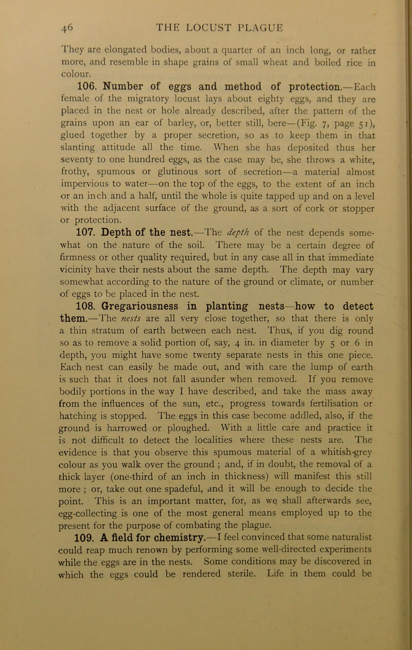 'They are elongated bodies, about a quarter of an inch long, or rather more, and resemble in shape grains of small wheat and boiled rice in colour. 106. Number of eggs and method of protection.—Each female of the migratory locust lays about eighty eggs, and they are placed in the nest or hole already described, after the pattern of the grains upon an ear of barley, or, better still, bere—(Fig. 7, page 51), glued together by a proper secretion, so as to keep them in that slanting attitude all the time. When she has deposited thus her seventy to one hundred eggs, as the case may be, she throws a white, frothy, spumous or glutinous sort of secretion—a material almost impervious to water—on the top of the eggs, to the extent of an inch or an inch and a half, until the whole is quite tapped up and on a level with the adjacent surface of the ground, as a sort of cork or stopper or protection. 107. Depth of the nest .—The depth of the nest depends some- what on the nature of the soil. There may be a certain degree of firmness or other quality required, but in any case all in that immediate vicinity have their nests about the same depth. The depth may vary somewhat according to the nature of the ground or climate, or number of eggs to be placed in the nest. 108. Gregariousness in planting nests—how to detect them.—The nests are all very close together, so that there is only a thin stratum of earth between each nest. Thus, if you dig round so as to remove a solid portion of, say, 4 in. in diameter by 5 or 6 in depth, you might have some twenty separate nests in this one piece. Each nest can easily be made out, and with care the lump of earth is such that it does not fall asunder when removed. If you remove bodily portions in the way I have described, and take the mass away from the influences of the sun, etc., progress towards fertilisation or hatching is stopped. The eggs in this case become addled, also, if the ground is harrowed or ploughed. With a little care and practice it is not difficult to detect the localities where these nests are. The evidence is that you observe this spumous material of a whitish-grey colour as you walk over the ground ; and, if in doubt, the removal of a thick layer (one-third of an inch in thickness) will manifest this still more ; or, take out one spadeful, and it will be enough to decide the point. This is an important matter, for, as wq shall afterwards see, egg-collecting is one of the most general means employed up to the present for the purpose of combating the plague. 109. A field, for chemistry.—I feel convinced that some naturalist could reap much renown by performing some well-directed experiments while the eggs are in the nests. Some conditions may be discovered in which the eggs could be rendered sterile. Life in them could be