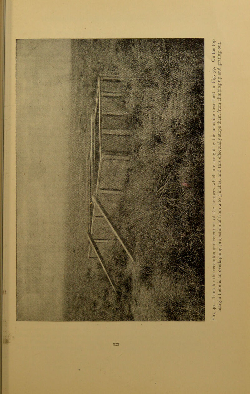 ifc Fig. 40.—Tank for the reception and retention of the hoppers which are caught by the machine described in Fig. 39. On the top margin there is an overlapping projection of from 2 to 3 inches, and this effectually stops them from climbing up and getting out.