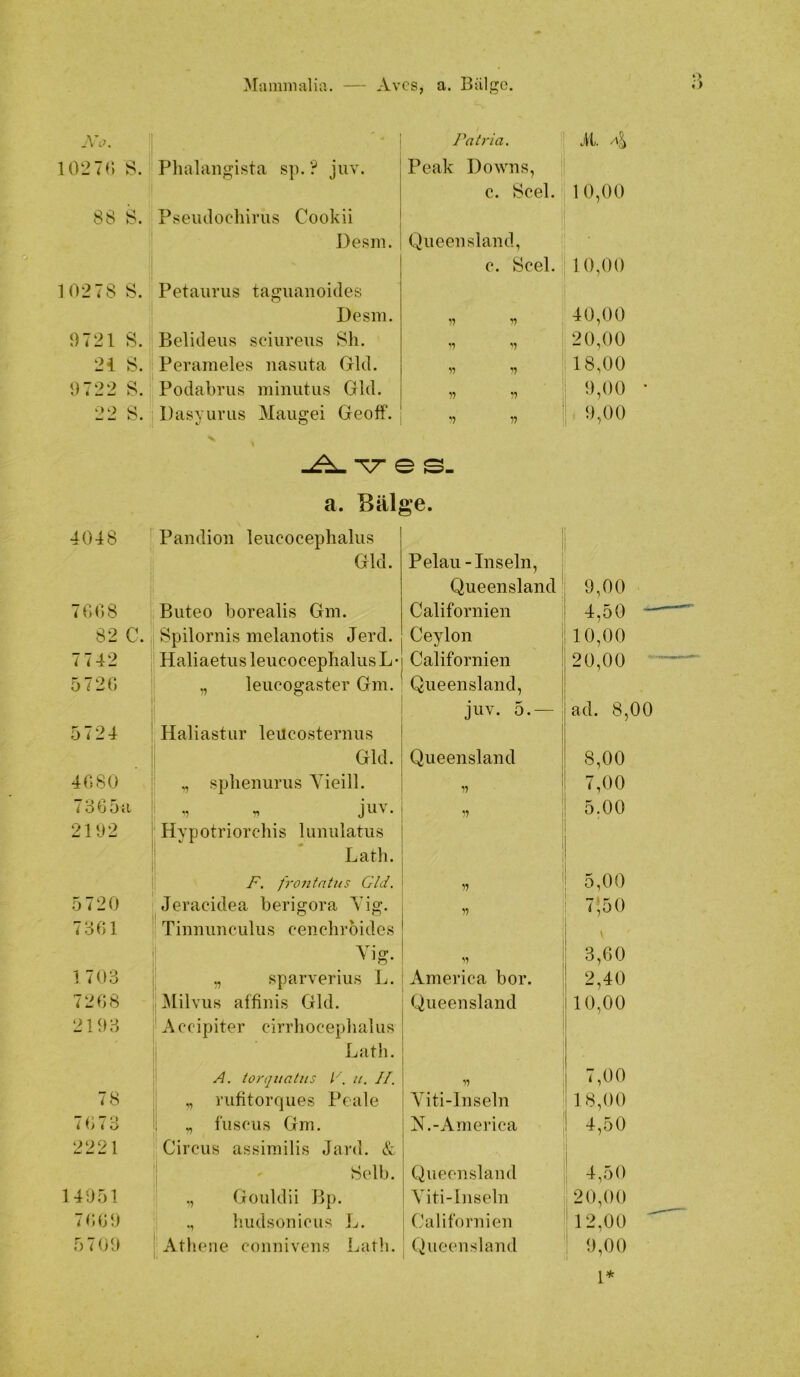 .Vc^ i Patria. it. 4 1027(; s. Phalangista sp. ? juv. Peak Dowus, c. 8cel. 1 0,00 88 8. Pseiulochinis Cookii Desm. Queensland, c. 8cel. 10,00 10278 8. Petaiirus tagiianoides Desm. Il ’7 40,00 0721 S. Belicleus sciiireus 8h. ’7 '7 20,00 24 8. Perameles nasiita GUI. 77 •'7 18,00 0722 8. Podabrus minutus Gld. 77 *7 0,00 • 22 8. Dasyunis Maugei Geoff. ’7 77 ' 0,00 -^T- e s- a. Bälge. 4048 Pandion leucocephalus 1 Gld. Pelau-Inseln, Queensland 9,00 7008 i Biiteo borealis Gm. Californien 4,50 ” 82 C.i 8pilornis melanotis Jerd. Ceylon 10,00 7742 ' Haliaetus leucocephalus L • Californien 20,00 ' 5720 „ leucogaster Gm. Queensland, 1 juv. 5.^— ad. 8,00 5724 Haliastur leilcosternus Gld. Queensland 8,00 4080 „ sphenurus Yieill. 77 7,00 7 ö 6 5 <L ^ juv. 77 5,00 2102 ^ Hypotriorchis lunulatus Lalh. frontntus Gld. 77 5,00 5720 Jeracidea berigora Yig. V 7;50 \ 7801 1 Tiuiiimculus ceuchroides 1 ’7 3,60 1 703 1 „ sparverius L. America bor. 2,40 7208 I^lilvus affiuis Gld. Queensland 10,00 2103 Accipiter cirrhocephalus Lath. 1 yJ. torquatus / u. II. 17 7,00 78 ,, rufitorques Peale Yiti-lnseln 1 8,00 7073 i fuscus Gm. N.-America 4,50 2221 Circus assimilis Jard, & 1 8elb. Queensland 4,50 14051 ,, Gouldii Bp. Yiti-lnseln 20,00 7000 hudsüuicus L. Californien 12,00 ' 5 7 00 Athene couniveus Ijath. Queensland ; 9,00 1*