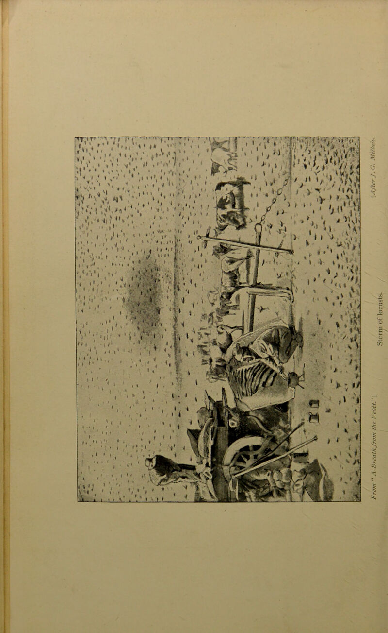 v;*’ y! ; • * * , 7> o,/* » < v 'm ,’i> 1 ,lit 1, * i * i i , }! t ? I I ‘ i<* , i , ,• ' , 11 * *.i»*t*4 U .‘ i • •1'*, v, « <* •,» , V . ' ‘‘s'M,•’ ■ . \, • » ,• *. i tii.., • 'ii j u1 ‘i ’ *» */ < * < * ,<;* 7 <7 ,*<' * : 1 1 ' I ' 1 , V *'. ' t J ' »S/> . * *1 - iv i %V/ i ‘ /v i > v' *»^ w** ' / <» */ 1. %/>> j v M /\ 4 «V ) * Vi > *-,.rw^?a ,() T *\V) , »* v ' t Y;y<* ' 1 v VV* ( * V \ 1 • .1 'A