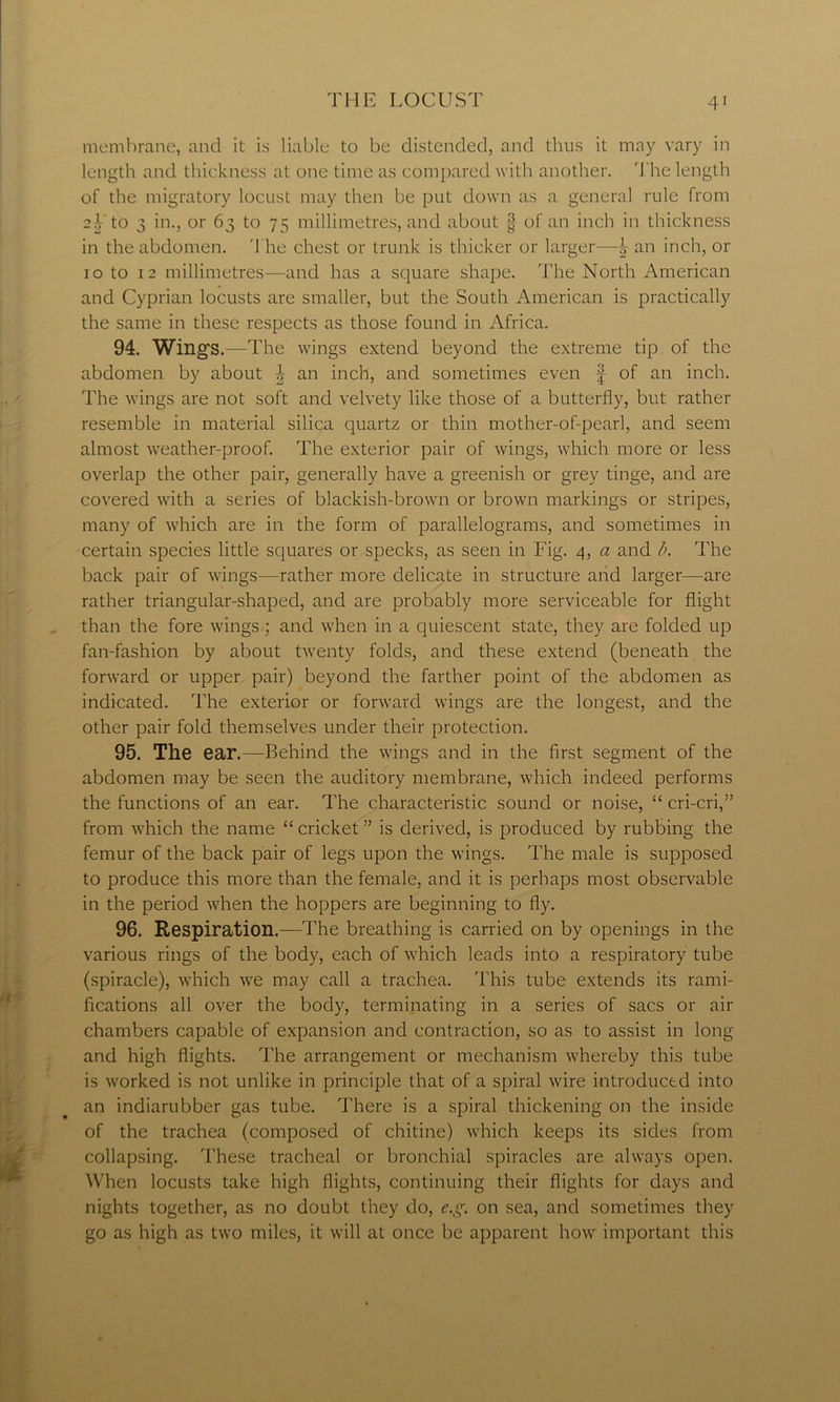 membrane, and it is liable to be distended, and thus it may vary in length and thickness at one time as compared with another. The length of the migratory locust may then be put down as a general rule from 24 to 3 in., or 63 to 75 millimetres, and about § of an inch in thickness in the abdomen. The chest or trunk is thicker or larger—^ an inch, or 10 to 12 millimetres—and has a square shape. The North American and Cyprian locusts are smaller, but the South American is practically the same in these respects as those found in Africa. 94. Wing'S.—The wings extend beyond the extreme tip of the abdomen by about i an inch, and sometimes even § of an inch. The wings are not soft and velvety like those of a butterfly, but rather resemble in material silica quartz or thin mother-of-pearl, and seem almost weather-proof. The exterior pair of wings, which more or less overlap the other pair, generally have a greenish or grey tinge, and are covered with a series of blackish-brown or brown markings or stripes, many of which are in the form of parallelograms, and sometimes in certain species little squares or specks, as seen in Fig. 4, a and b. The back pair of wings—rather more delicate in structure and larger—are rather triangular-shaped, and are probably more serviceable for flight than the fore wings; and when in a quiescent state, they are folded up fan-fashion by about twenty folds, and these extend (beneath the forward or upper pair) beyond the farther point of the abdomen as indicated. The exterior or forward wings are the longest, and the other pair fold themselves under their protection. 95. The ear.—Behind the wings and in the first segment of the abdomen may be seen the auditory membrane, which indeed performs the functions of an ear. The characteristic sound or noise, “ cri-cri,” from which the name “ cricket ” is derived, is produced by rubbing the femur of the back pair of legs upon the wings. The male is supposed to produce this more than the female, and it is perhaps most observable in the period when the hoppers are beginning to fly. 96. Respiration.—The breathing is carried on by openings in the various rings of the body, each of which leads into a respiratory tube (spiracle), which we may call a trachea. This tube extends its rami- fications all over the body, terminating in a series of sacs or air chambers capable of expansion and contraction, so as to assist in long and high flights. The arrangement or mechanism whereby this tube is worked is not unlike in principle that of a spiral wire introduced into an indiarubber gas tube. There is a spiral thickening on the inside of the trachea (composed of chitine) which keeps its sides from collapsing. These tracheal or bronchial spiracles are always open. When locusts take high flights, continuing their flights for days and nights together, as no doubt they do, e.g. on sea, and sometimes they go as high as two miles, it will at once be apparent how important this