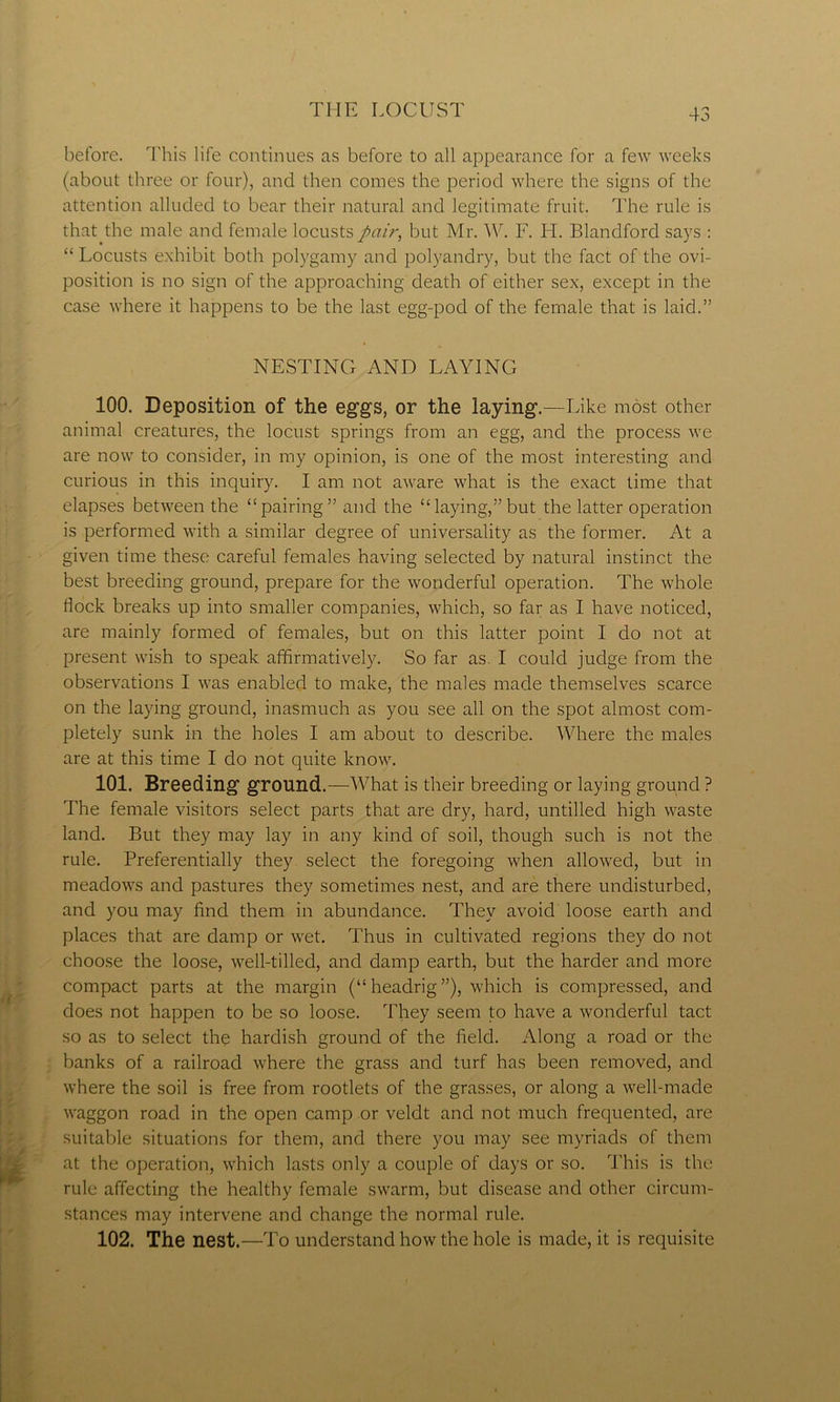 before. This life continues as before to all appearance for a few weeks (about three or four), and then comes the period where the signs of the attention alluded to bear their natural and legitimate fruit. The rule is that the male and female locusts pair, but Mr. W. F. H. Blandford says : “ Locusts exhibit both polygamy and polyandry, but the fact of the ovi- position is no sign of the approaching death of either sex, except in the case where it happens to be the last egg-pod of the female that is laid.” NESTING AND LAYING 100. Deposition of the eggs, or the laying.—Like most other animal creatures, the locust springs from an egg, and the process we are now to consider, in my opinion, is one of the most interesting and curious in this inquiry. I am not aware what is the exact time that elapses between the “pairing” and the “laying,”but the latter operation is performed with a similar degree of universality as the former. At a given time these careful females having selected by natural instinct the best breeding ground, prepare for the wonderful operation. The whole Hock breaks up into smaller companies, which, so far as I have noticed, are mainly formed of females, but on this latter point I do not at present wish to speak affirmatively. So far as I could judge from the observations I was enabled to make, the males made themselves scarce on the laying ground, inasmuch as you see all on the spot almost com- pletely sunk in the holes I am about to describe. Where the males are at this time I do not quite know. 101. Breeding ground.—What is their breeding or laying ground ? The female visitors select parts that are dry, hard, untilled high waste land. But they may lay in any kind of soil, though such is not the rule. Preferentially they select the foregoing when allowed, but in meadows and pastures they sometimes nest, and are there undisturbed, and you may find them in abundance. They avoid loose earth and places that are damp or wet. Thus in cultivated regions they do not choose the loose, well-tilled, and damp earth, but the harder and more compact parts at the margin (“ headrig ”), which is compressed, and does not happen to be so loose. They seem to have a wonderful tact so as to select the hardish ground of the field. Along a road or the banks of a railroad where the grass and turf has been removed, and where the soil is free from rootlets of the grasses, or along a well-made waggon road in the open camp or veldt and not much frequented, are suitable situations for them, and there you may see myriads of them at the operation, which lasts only a couple of days or so. This is the rule affecting the healthy female swarm, but disease and other circum- stances may intervene and change the normal rule. 102. The nest.—To understand how the hole is made, it is requisite