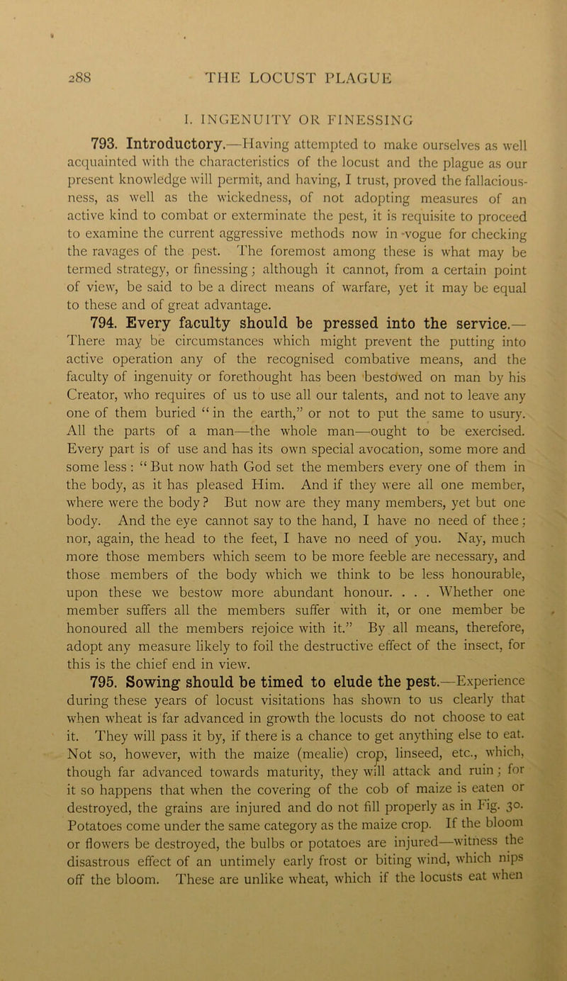I. INGENUITY OR FINESSING 793. Introductory.—Having attempted to make ourselves as well acquainted with the characteristics of the locust and the plague as our present knowledge will permit, and having, I trust, proved the fallacious- ness, as well as the wickedness, of not adopting measures of an active kind to combat or exterminate the pest, it is requisite to proceed to examine the current aggressive methods now in -vogue for checking the ravages of the pest. The foremost among these is what may be termed strategy, or finessing; although it cannot, from a certain point of view, be said to be a direct means of warfare, yet it may be equal to these and of great advantage. 794. Every faculty should be pressed into the service.- There may be circumstances which might prevent the putting into active operation any of the recognised combative means, and the faculty of ingenuity or forethought has been bestowed on man by his Creator, who requires of us to use all our talents, and not to leave any one of them buried “ in the earth,” or not to put the same to usury. All the parts of a man—the whole man—ought to be exercised. Every part is of use and has its own special avocation, some more and some less : “ But now hath God set the members every one of them in the body, as it has pleased Him. And if they were all one member, where were the body ? But now are they many members, yet but one body. And the eye cannot say to the hand, I have no need of thee: nor, again, the head to the feet, I have no need of you. Nay, much more those members which seem to be more feeble are necessary, and those members of the body which we think to be less honourable, upon these we bestow more abundant honour. . . . Whether one member suffers all the members suffer with it, or one member be honoured all the members rejoice with it.” By all means, therefore, adopt any measure likely to foil the destructive effect of the insect, for this is the chief end in view. 795. Sowing should be timed to elude the pest.—Experience during these years of locust visitations has shown to us clearly that when wheat is far advanced in growth the locusts do not choose to eat it. They will pass it by, if there is a chance to get anything else to eat. Not so, however, with the maize (mealie) crop, linseed, etc., which, though far advanced towards maturity, they will attack and ruin; for it so happens that when the covering of the cob of maize is eaten or destroyed, the grains are injured and do not fill properly as in Fig. 30. Potatoes come under the same category as the maize crop. If the bloom or flowers be destroyed, the bulbs or potatoes are injured—witness the disastrous effect of an untimely early frost or biting wind, which nips off the bloom. These are unlike wheat, which if the locusts eat when