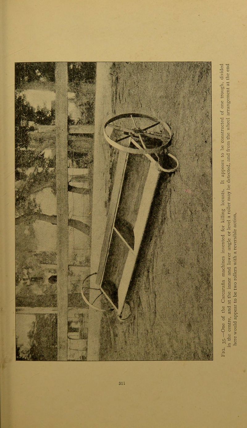 Fig. 35.—One of the Carcarana machines invented for killing locusts. It appears to be constructed of one trough, divided in the centre, and at the inner and lower angle or level a roller may be detected, and from the wheel arrangement at the end here would appear to be two rollers with a reversible action.