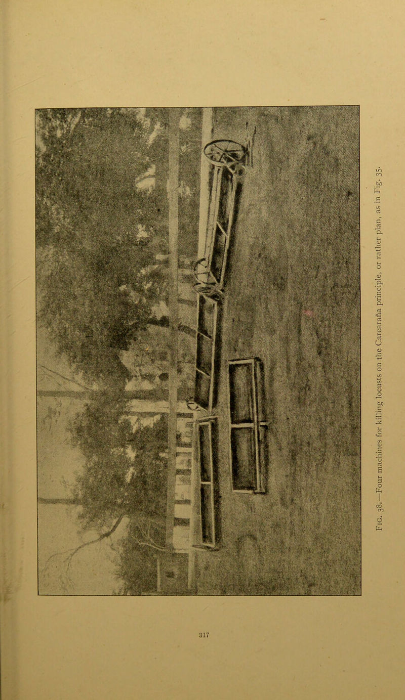 Fig. 38.—Four machines for killing locusts on the Carcarana principle, or rather plan, as in Fig. 35,
