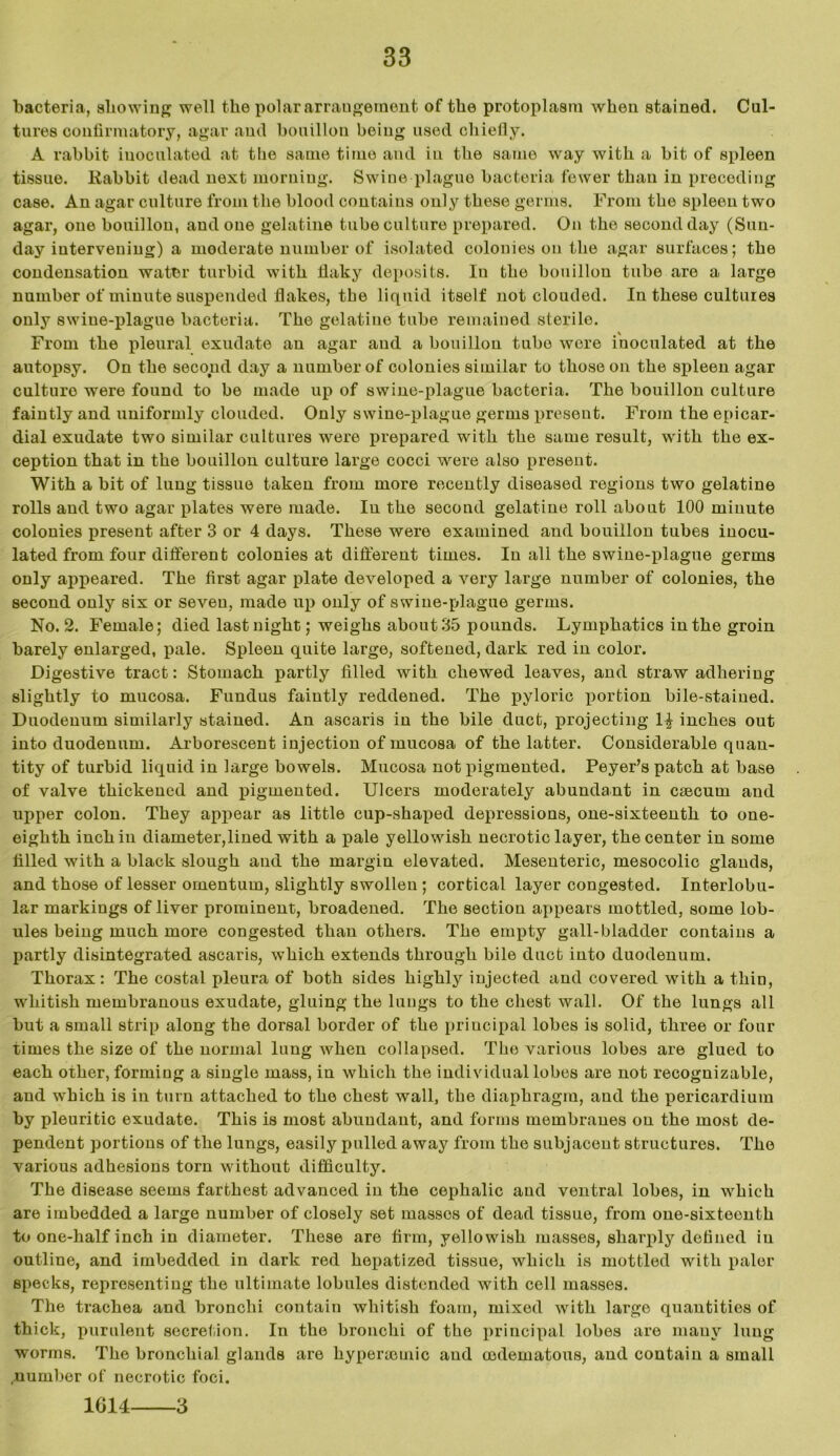 bacteria, allowing well the polar arrangement of the protoplasm when stained. Cul- tures confirmatory, agar and bouillon being used chiefly. A rabbit inoculated at tlie same time and in the same way with a bit of spleen tissue, liabbit dead next morning. Swine plague bacteria fewer than in preceding case. An agar culture from the blood contains only these germs. From the spleen two agar, one bouillon, and one gelatine tube culture prepared. On the second day (Sun- day intervening) a moderate number of isolated colonies on the agar surfaces; the condensation water turbid with flaky deposits. In the bouillon tube are a large number of minute suspended flakes, the liquid itself not clouded. In these cultures only swine-plague bacteria. The gelatine tube remained sterile. From the pleural exudate an agar aud a bouillon tube wore inoculated at the autopsy. On the second day a number of colonies similar to those on the spleen agar culture were found to be made up of swine-plague bacteria. The bouillon culture faintly and uniformly clouded. Only swine-plague germs present. From the epicar- dial exudate two similar cultures were prepared with the same result, with the ex- ception that in the bouillon culture large cocci were also present. With a bit of lung tissue taken from more recently diseased regions two gelatine rolls and two agar plates were made. In the second gelatine roll about 100 minute colonies present after 3 or 4 days. These were examined and bouillon tubes inocu- lated from four different colonies at different times. In all the swine-plague germs only appeared. The first agar plate developed a very large number of colonies, the second only six or seveu, made up only of swine-plague germs. No. 2. Female; died last night; weighs about 35 pounds. Lymphatics in the groin barely enlarged, pale. Spleen quite large, softened, dark red in color. Digestive tract: Stomach partly filled with chewed leaves, and straw adhering slightly to mucosa. Fundus faintly reddened. The pyloric portion bile-stained. Duodenum similarly stained. An ascaris in the bile duct, projecting 1-| inches out into duodenum. Arborescent injection of mucosa of the latter. Considerable quan- tity of turbid liquid in large bowels. Mucosa not pigmented. PeyeFs patch at base of valve thickened and pigmented. Ulcers moderately abundant in caecum and upper colon. They appear as little cup-shaped depressions, one-sixteenth to one- eighth inchin diameter,lined with a pale yellowish necrotic layer, the center in some filled with a black slough and the margin elevated. Mesenteric, mesocolic glands, and those of lesser omentum, slightly swollen ; cortical layer congested. Interlobu- lar markings of liver prominent, broadened. The section appears mottled, some lob- ules being much more congested than others. The empty gall-bladder contains a partly disintegrated ascaris, which extends through bile duct into duodenum. Thorax: The costal pleura of both sides highly injected and covered with a thin, whitish membranous exudate, gluing the lungs to the chest wall. Of the lungs all but a small strip along the dorsal border of the priucipal lobes is solid, three or four times the size of the normal lung when collapsed. The various lobes are glued to each other, forming a single mass, in which the individual lobes are not recognizable, and which is in turn attached to the chest wall, the diaphragm, and the pericardium by pleuritic exudate. This is most abundant, and forms membranes on the most de- pendent portions of the lungs, easily pulled away from the subjacent structures. The various adhesions torn without difficulty. The disease seems farthest advanced in the cephalic and ventral lobes, in which are imbedded a large number of closely set masses of dead tissue, from one-sixteenth to one-half inch in diameter. These are firm, yellowish masses, sharpty defined iu outline, and imbedded in dark red hepatized tissue, which is mottled with paler specks, representing the ultimate lobules distended with cell masses. The trachea and bronchi contain whitish foam, mixed with large quantities of thick, purulent secretion. In the bronchi of the principal lobes are many lung worms. The bronchial glands are hyperamiic aud codematous, and contain a small .number of necrotic foci. 1G14 3