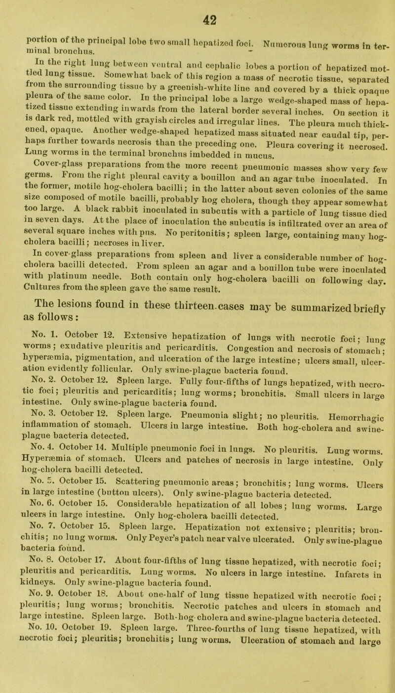 portion of the principal lobe two small hepatized foci. Numorous lung worms in ter- minal bronchus. - In the light lung between ventral and cephalic lobes a portion of hepatized mot- tJed lung tissue. Somewhat back of this region a mass of necrotic tissue, separated from the surrounding tissue by a greenish-white line and covered by a thick opaque pieura of the same color. In the principal lobe a large wedge-shaped mass of hepa- tized tissue extending inwards from the lateral border several inches. On section it is dark red, mottled with grayish circles and irregular lines. The pleura much thick- ened opaque. Another wedge-shaped hepatized mass situated near caudal tip per- haps further towards necrosis than the preceding one. Pleura covering it necrosed. Lung worms in the terminal bronchus imbedded iu mucus. Cover-glass preparations from the more recent pneumonic masses show very few germs. From the right pleural cavity a bouillon and an agar tube inoculated In the former, motile hog-cholera bacilli; in the latter about seven colonies of the same size composed of motile bacilli, probably hog cholera, though they appear somewhat too large. A black rabbit inoculated in subcutis with a particle of lung tissue died m seven days. At the place of inoculation the subcutis is infiltrated over an area of several square inches with pus. No peritonitis ; spleen large, containing many hoo-- cholera bacilli; necroses in liver. In cover-glass preparations from spleen and liver a considerable number of hoo-- ckolera bacilli detected. From spleen an agar and a bouillon tube were inoculated with platinum needle. Both contain only hog-cholera bacilli on following day. Cultures from the spleen gave the same result. The lesions found in these thirteen, cases may be summarized briefly as follows: No. 1. October 12. Extensive hepatization of lungs with necrotic foci; Inner worms ; exudative pleuritis and pericarditis. Congestion and necrosis of stomach*; hypersemia, pigmentation, and ulceration of the large intestine; ulcers small, ulcer- ation evidently follicular. Only swine-plague bacteria found. No. 2. October 12. Spleen large. Fully four-fifths of lungs hepatized, with necro- tic foci; pleuritis and pericarditis; lung worms; bronchitis. Small ulcers in large intestine. Only swine-plague bacteria found. No. 3. October 12. Spleen large. Pneumonia slight; no pleuritis. Hemorrhao-ic inflammation of stomach. Ulcers iu large intestiue. Both hog-cholera and swine- plague bacteria detected. No. 4. October 14. Multiple pneumonic foci in lungs. No pleuritis. Lung worms. Hypeisemia of stomach. Ulcers and patches of necrosis in large intestine. Only liog-cholera bacilli detected. No. 5. October 15. Scattering pneumonic areas ; bronchitis ; lung worms. Ulcers in large intestine (button ulcers). Only swine-plague bacteria detected. No. 6. October 15. Considerable hepatization of all lobes; lung worms. Laroe ulcers in large intestine. Only hog-cholera bacilli detected. No. 7. October 15. Spleen large. Hepatization not exteusive; pleuritis; bron- chitis; no lung worms. Only Peyer’s patch near valve ulcerated. Only swine-plague bacteria found. No. 8. October 17. About four-fifths of lung tissue hepatized, with necrotic foci; pleuritis and pericarditis. Lung worms. No ulcers in large intestine. Infarcts in kidneys. Only swine-plague bacteria found. No. 9. October 18. About one-half of lung tissue hepatized with necrotic foci; pleuritis; lung worms; bronchitis. Necrotic patches and ulcers in stomach and large intestiue. Spleen large. Both-hog cholera and swine-plague bacteria detected. No. 10. October 19. Spleen largo. Three-fourths of lung tissue hepatized, with necrotic foci; pleuritis; bronchitis; lung worms. Ulceration of stomach and large