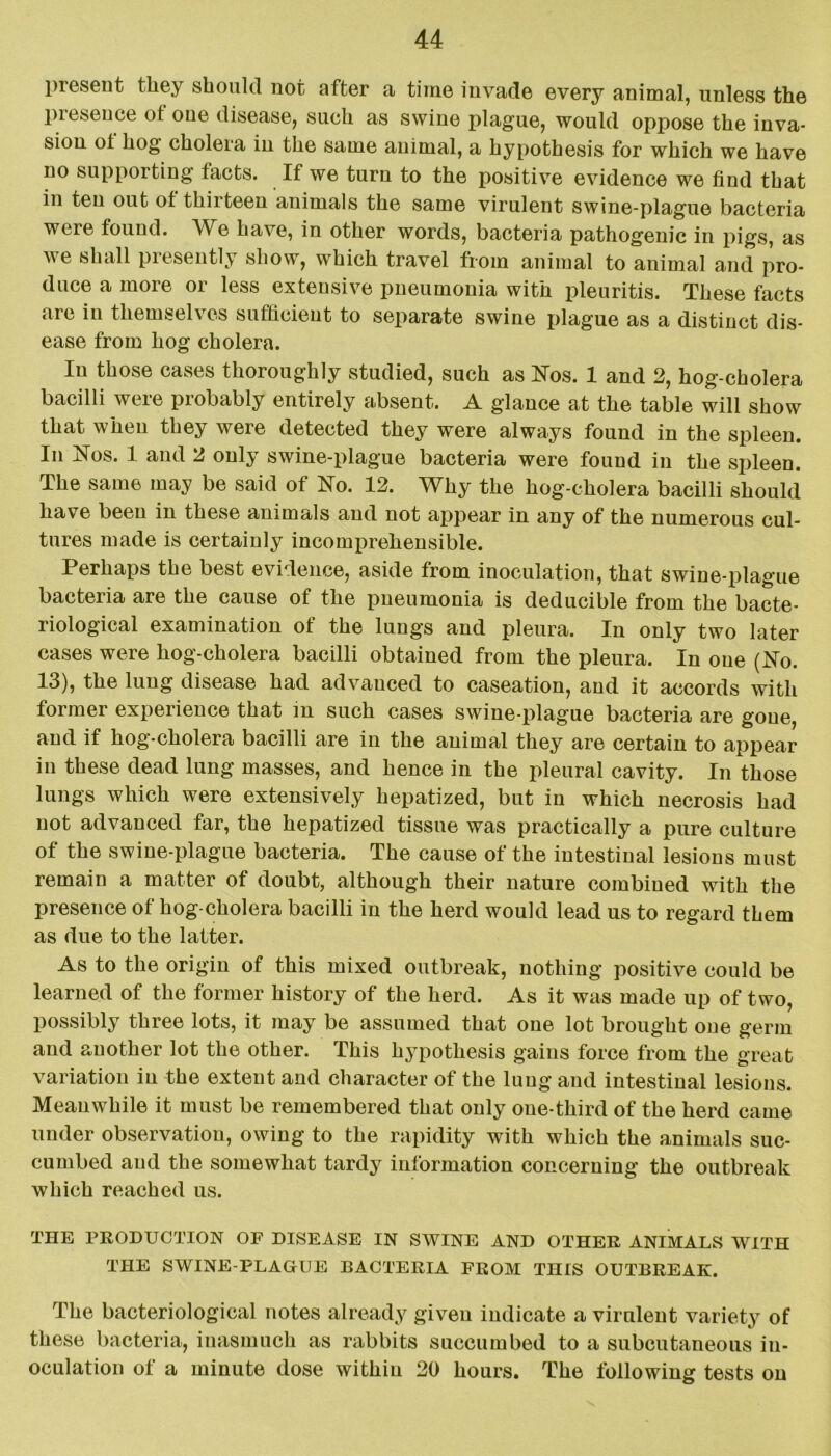 present they should not after a time invade every animal, unless the presence of one disease, such as swine plague, would oppose the inva- sion ot hog cholera in the same animal, a hypothesis for which we have no supporting facts. If we turn to the positive evidence we find that in ten out of thirteen animals the same virulent swine-plague bacteria were found. We have, in other words, bacteria pathogenic in pigs, as ve shall presently show, which travel from animal to animal a>nd pro- duce a more or less extensive pneumonia with pleuritis. These facts are in themselves sufficient to separate swine plague as a distinct dis- ease from hog cholera. In those cases thoroughly studied, such as Nos. 1 and 2, hog-cholera bacilli were probably entirely absent. A glance at the table will show that when they were detected they were always found in the spleen. In Nos. 1 and 2 only swine-plague bacteria were found in the spleen. The same may be said of No. 12. Why the hog-cholera bacilli should have been in these animals and not appear in any of the numerous cul- tures made is certainly incomprehensible. Perhaps the best evidence, aside from inoculation, that swine-plague bacteria are the cause of the pneumonia is deducible from the bacte- riological examination of the lungs and pleura. In only two later cases were hog-cholera bacilli obtained from the pleura. In one (No. 13), the lung disease had advanced to caseation, and it accords with former experience that in such cases swine-plague bacteria are gone, and if hog-cholera bacilli are in the animal they are certain to appear in these dead lung masses, and hence in the pleural cavity. In those lungs which were extensively hepatized, but in which necrosis had not advanced far, the hepatized tissue was practically a pure culture of the swine-plague bacteria. The cause of the intestinal lesions must remain a matter of doubt, although their nature combined with the presence of hog-cholera bacilli in the herd would lead us to regard them as due to the latter. As to the origin of this mixed outbreak, nothing positive could be learned of the former history of the herd. As it was made up of two, possibly three lots, it may be assumed that one lot brought one germ and another lot the other. This hypothesis gains force from the great variation in the extent and character of the lung and intestinal lesions. Meanwhile it must be remembered that only one-third of the herd came under observation, owing to the rapidity with which the animals suc- cumbed and the somewhat tardy information concerning the outbreak which reached us. THE PRODUCTION OF DISEASE IN SWINE AND OTHER ANIMALS WITH THE SWINE-PLAGUE BACTERIA FROM THIS OUTBREAK. The bacteriological notes already given indicate a virulent variety of these bacteria, inasmuch as rabbits succumbed to a subcutaneous in- oculation of a minute dose within 20 hours. The following tests on