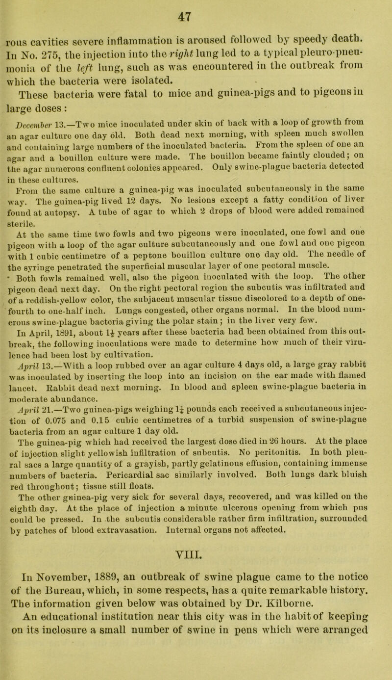 rous cavities severe inflammation is aroused followed by speedy death. In No. 275, the injection into the right lung led to a typical pleuro-pueu- monia of the left lung, such as was encountered in the outbreak from which the bacteria were isolated. These bacteria were fatal to mice and guinea-pigs and to pigeons in large doses: December 13.—Two mice inoculated under skin of back with a loop of growth from an agar culture oue day old. Both dead next morning, with spleen much swollen and containing large numbers of the inoculated bacteria, from the spleen ol one an agar and a bouillon culture were made. The bouillon became faintly clouded; on the agar numerous confluent colonies appeared. Only swine-plague bacteria detected in these cultures. From the same culture a guinea-pig was inoculated subcutaneously in the same way. The guinea-pig lived 12 days. No lesions except a fatty condition of liver found at autopsy. A tube of agar to which 2 drops of blood wore added remained sterile. At the same time two fowls and two pigeons were inoculated, one fowl and one pigeon with a loop of the agar culture subcutaneously and one fowl and oue pigeon with 1 cubic centimetre of a peptone bouillon culture one day old. The needle of the syTinge penetrated the superficial muscular layer of one pectoral muscle. * Both fowls remained well, also the pigeon inoculated with the loop. The other pigeon dead next day. On the right pectoral region the subcutis was infiltrated and of a reddish-yellow color, the subjacent muscular tissue discolored to a depth of one- fourth to one-half inch. Lungs congested, other organs normal. In the blood num- erous swine-plague bacteria giving the polar stain ; in the liver very few. In April, 1891, about 1| years after these bacteria had been obtained from this out- break, the following inoculations were made to determine how much of their viru- lence had been lost by cultivation. April 13.—With a loop rubbed over an agar culture 4 days old, a large gray rabbit was inoculated by inserting the loop into an incision on the ear made with flamed lancet. Rabbit dead next morning. In blood and spleen swine-plague bacteria in moderate abundance. April 21.—Two guinea-pigs weighing 1£ pounds each received a subcutaneous injec- tion of 0.075 and 0.15 cubic centimetres of a turbid suspension of swine-plague bacteria from an agar culture 1 day old. The guinea-pig which had received the largest dose died in 26 hours. At the place of injection slight yellowish infiltration of subcutis. No peritonitis. In both pleu- ral sacs a large quantity of a grayish, partly gelatinous effusion, containing immense numbers of bacteria. Pericardial sac similarly involved. Both lungs dark bluish red throughout; tissue still floats. The other guinea-pig very sick for several days, recovered, and was killed on the eighth day. At the place of injection a minute ulcerous opeuing from which pus could be pressed. In the subcutis considerable rather firm infiltration, surrounded by patches of blood extravasation. Internal organs not affected. yin. Ill November, 1889, an outbreak of swine plague came to tbe notice of the Bureau, which, in some respects, has a quite remarkable history. The information given below was obtained by Dr. Kilborne. An educational institution near this city was in the habit of keeping on its inclosure a small number of swine in pens which were arranged