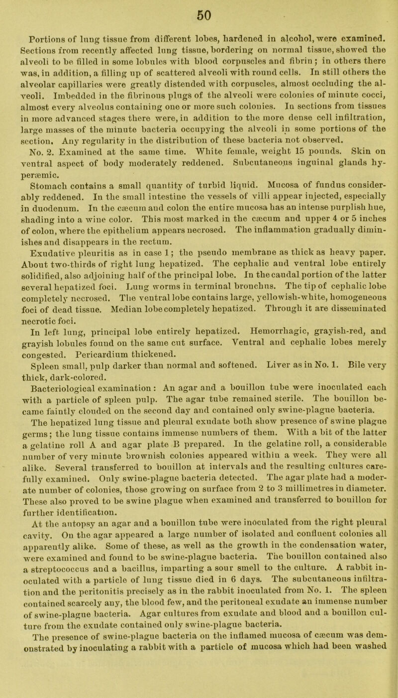 Portions of lung tissue from different lobes, hardened in alcohol, were examined. Sections from recently affected lung tissue, bordering on normal tissue, showed the alveoli to be filled in some lobules with blood corpuscles and fibrin ; in others there was, in addition, a filling np of scattered alveoli with round cells. In still others the alveolar capillaries were greatly distended with corpuscles, almost occluding the al- veoli. Imbedded in the fibrinous plugs of the alveoli were colonies of minute cocci, almost every alveolus containing one or more such colonies. In sections from tissues in more advanced stages there were, in addition to the more dense cell infiltration, large masses of the minute bacteria occupying the alveoli in some portions of the section. Any regularity in the distribution of these bacteria not observed. No. 2. Examined at the same time. White female, weight 15 pounds. Skin on ventral aspect of body moderately reddened. Subcutaneous inguinal glands hy- pertemic. Stomach contains a small quantity of turbid liquid. Mucosa of fundus consider- ably reddened. In the small intestine the vessels of villi appear injected, especially in duodenum. In the caecum and colon the entire mucosa has an intense purplish hue, shading into a wine color. This most marked in the caecum and upper 4 or 5 inches of colon, where the epithelium appears necrosed. The inflammation gradually dimin- ishes and disappears in the rectum. Exudative pleuritis as in case 1; the pseudo membrane as thick as heavy paper. About two-thirds of right lung hepatized. The cephalic and ventral lobe entirely solidified, also adjoining half of the principal lobe. In the caudal portion of the latter several hepatized foci. Lung worms in terminal bronchus. The tip of cephalic lobe completely necrosed. The ventral lobe contains large, yellowish-white, homogeneous foci of dead tissue. Median lobe completely hepatized. Through it are disseminated necrotic foci. In left lung, principal lobe entirely hepatized. Hemorrhagic, grayish-red, and grayish lobules fouud on the same cut surface. Ventral and cephalic lobes merely congested. Pericardium thickened. Spleen small, pulp darker thau normal and softened. Liver as in No. 1. Bile very thick, dark-colored. Bacteriological examination : An agar and a bouillon tube were inoculated each with a particle of spleen pulp. The agar tube remained sterile. The bouillon be- came faintly clouded on the second day and contained only swine-plague bacteria. The hepatized lung tissue and pleural exudate both show presence of swine plague germs; the lung tissue contains immense numbers of them. With a bit of the latter a gelatine roll A and agar plate B prepared. In the gelatine roll, a considerable number of very minute brownish colonies appeared within a week. They were all alike. Several transferred to bouillon at intervals and the resulting cultures care- fully examined. Only swine-plague bacteria detected. The agar plate had a moder- ate number of colonies, those growing on surface from 2 to 3 millimetres in diameter. These also proved to be swine plague when examined and transferred to bouillon for further identification. At the autopsy an agar and a bouillon tube were inoculated from the right pleural cavity. On the agar appeared a largo number of isolated and confluent colonies all apparently alike. Some of these, as well as the growth in the condensation water, were examined and found to be swine-plague bacteria. The bouillon contained also a streptococcus and a bacillus, imparting a sour smell to the culture. A rabbit in- oculated with a particle of lung tissue died in 6 days. The subcutaneous infiltra- tion and the peritonitis precisely as in the rabbit inoculated from No. 1. The spleen contained scarcely any, the blood few, and the peritoueal exudate an immense number of swine-plague bacteria. Agar cultures from exudate and blood and a bouillon cul- ture from the exudate contained only swine-plague bacteria. The presence of swine-plague bacteria on the inflamed mucosa of caecum was dem- onstrated by inoculating a rabbit with a particle of mucosa which had been washed