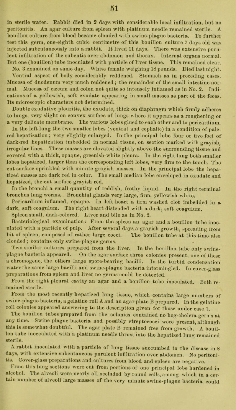 in sterile water. Rabbit died in 2 days with considerable local infiltration, but no peritonitis. An agar culture from spleen with platinum needle remained sterile. A bouillon culture from blood became clouded with swine-plague bacteria. To further test this germ, one-eightli cubic centimetre of this bouillon culture 7 days old was injected subcutaneously into a rabbit. It lived 11 days. There was extensive puru- lent infiltration of the subcutis over abdomen and thorax. Internal organs normal. But one (bouillon) tube inoculated with particle of liver tissue. This remained clear. No. 3 examined on same day. White female weighing 18 pounds. Died last night. Ventral aspect of body considerably reddened. Stomach as in preceding cases. Mucosa of duodenum very much reddened ; the remainder of the small intestine nor- mal. Mucosa of cfecum and colon not quite so intensely inflamed as in No. 2. Indi- cations of a yellowish, soft exudate appearing in small masses as part of the feces. Its microscopic characters not determined. Double exudative pleuritis, the exudate, thick on diaphragm which firmly adheres to lungs, very slight on convex surface of lungs where it appears as a roughening or a very delicate membrane. The various lobes glued to each other and to pericardium. In the left luug the two smaller lobes (ventral and cephalic) in a condition of palo- red hepatization; very slightly enlarged. In the principal lobe four or five foci of dark-red hepatization imbedded in normal tissue, on section marked with grayish, irregular lines. These masses are elevated slightly above the surrounding tissue and covered with a thick, opaque, greenish-white pleura. In the right lung both smaller lobes hepatized, larger than the corresponding left lobes, very firm to the touch. The cut surface sprinkled with minute grayish masses.. In the principal lobe the hepa- tized masses are dark red in color. The small median lobe enveloped in exudate and hepatized, the cut surface grayish red. In the bronchi a small quantity of reddish, frothy liquid. In the right terminal bronchus lung worms. Bronchial glands very large, firm, yellowish white. Pericardium inflamed, opaque. In left heart a firm washed clot imbedded in a dark, soft coagulum. The right heart distended with a dark, soft coagulum. Spleen small, dark-colored. Liver and bile as in No. 2. Bacteriological examination : From the spleen an agar and a bouillon tube inoc- ulated with a particle of pulp. After several days a grayish growth, spreading from bit of spleen, composed of rather large cocci. The bouillon tube at this time also clouded ; contains only swine-plague germs. Two similar cultures prepared from the liver. In the bouillon tube only swine- plague bacteria appeared. On the agar surface three colonies present, one of these a chromogene, the others large spore-bearing bacilli. In the turbid condensation water the same large bacilli and swine-plague bacteria intermingled. In cover-glass preparations from spleen and liver no germs could be detected. From the right pleural cavity an agar and a bouillon tube inoculated. Both re- mained sterile. From the most recently h epatized lung tissue, which contains large numbers of swine-plague bacteria, a gelatine roll A and an agar plate B prepared. In the gelatine roll colonies appeared answering to the description given for those under case 1. The bouillon tubes prepared from the colonies contained no hog-cholera germs at any time. Swine-plague bacteria and possibly streptococci were present, although this is somewhat doubtful. The agar plate B remained free from growth. A bouil- lon tube inocculated with a platinum needle thrust into the hepatized lung remained sterile. A rabbit inoculated with a particle of lung tissue succumbed to the disease in 8 day8, with extensive subcutaneous purulent infiltration over abdomen. No peritoni- tis. Cover-glass preparations and cultures from blood and spleen are negative. From this luug sections were cut from portions of one principal lobe hardened in alcohol. The alveoli were nearly all occluded by round cells, among which in a cer- tain number of alveoli large masses of the very minute swine-plague bacteria could