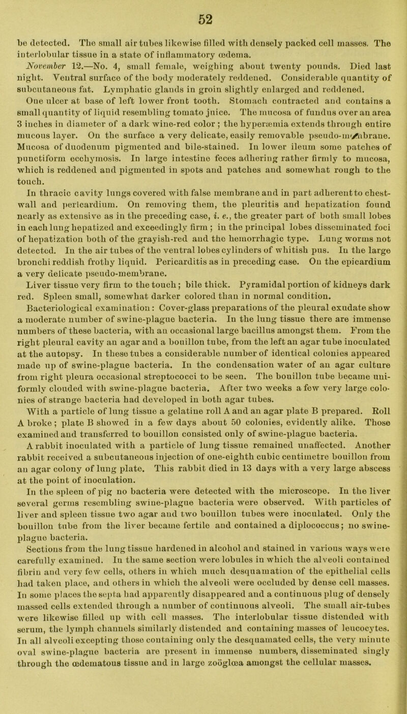 be detected. Tlie small air tubes likewise filled with densely packed cell masses, The interlobular tissue in a state of inflammatory oedema. November 12.—No. 4, small female, weighing about twenty pounds. Died last night. Ventral surface of the body moderately reddened. Considerable quantity of subcutaneous fat. Lymphatic glands in groin slightly enlarged and reddened. One ulcer at base of left lower front tooth. Stomach contracted and contains a small quantity of liquid resembling tomato juice. The mucosa of fundus over an area 3 inches in diameter of a dark wine-red color ; the hypertemia extends through entire mucous layer. On the surface a very delicate, easily removable pseudo-m'Aibraue. Mucosa of duodenum pigmented and bile-stained. In lower ileum some patches of punctiform ecchymosis. In large intestine feces adhering rather firmly to mucosa, which is reddened and pigmented in spots and patches aud somewhat rough to the touch. In thracic cavity lungs covered with false membrane and in part adhereutto chest- wall and pericardium. On removing them, the {deuritis and hepatization found nearly as extensive as in the preceding case, i. e., the greater part of both small lobes in each lung hepatized and exceedingly firm ; in the principal lobes disseminated foci of hepatization both of the grayish-red and the hemorrhagic type. Lung worms not detected. In the air tubes of the ventral lobes cylinders of whitish pus. In the large bronchi reddish frothy liquid. Pericarditis as in preceding case. On the epicardium a very delicate pseudo-membrane. Liver tissue very firm to the touch; bile thick. Pyramidal portion of kidneys dark red. Spleen small, somewhat darker colored than in normal condition. Bacteriological examination: Cover-glass preparations of the pleural exudate show a moderate number of swine-plague bacteria. In the lung tissue there are immense numbers of these bacteria, with an occasional large bacillus amongst them. From the right pleural cavity an agar and a bouillon tube, from the left au agar tube inoculated at the autopsy. In these tubes a considerable number of identical colonies appeared made up of swine-plague bacteria. In the condensation water of an agar culture from right pleura occasional streptococci to be seen. The bouillon tube became uui- formly clouded with swine-plague bacteria. After two weeks a few very large colo- nies of strauge bacteria had developed in both agar tubes. With a particle of lung tissue a gelatine roll A and an agar plate B prepared. Roll A broke; plate B showed in a few days about 50 colonies, evidently alike. Those examined and transferred to bouillon consisted only of swine-plague bacteria. A rabbit inoculated with a particle of lung tissue remained unaffected. Another rabbit received a subcutaneous injectiou of one-eighth cubic centimetre bouillou from au agar colony of lung plate. This rabbit died in 13 days with a very large abscess at the point of inoculation. In the spleen of pig no bacteria were detected with the microscope. In the liver several germs resembling swine-plague bacteria were observed. With particles of liver and spleen tissue two agar and two bouillon tubes were inoculated. Ouly the bouillon tube from the liver became fertile aud contained a diplococeus; no swine- plague bacteria. Sections from the lung tissue hardened in alcohol and stained in various ways were carefully examined. In the same section were lobules in which the alveoli contained fibrin and very few cells, others in which much desquamation of the epithelial cells had taken place, and others in which the alveoli were occluded by dense cell masses. In some places the septa had apparently disappeared aud a continuous plug of densely massed cells extended through a number of continuous alveoli. The small air-tubes were likewise filled up with cell masses. The interlobular tissue distended with serum, the lymph channels similarly distended and containing masses of leucocytes. In all alveoli excepting those containing only the desquamated colls, the very minute oval swine-plague bacteria are present in immense numbers, disseminated singly through the mdematous tissue and in large zooglcea amongst the cellular masses.