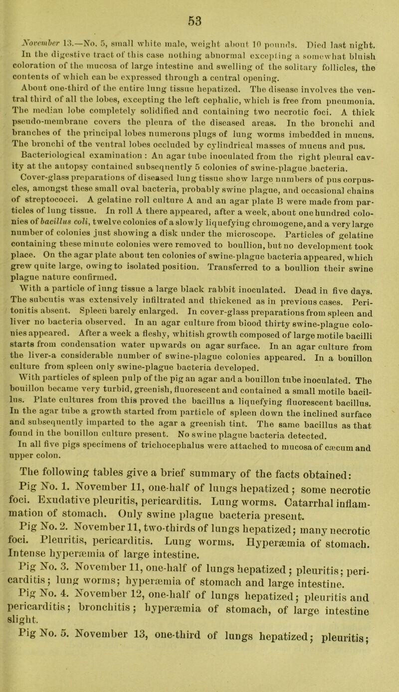 November 13.—No. 5, small white male, weight about 10 pounds. Died last night. In the digestive tract ot this case nothing abnormal excepting a somewhat bluish coloration of the mucosa of large intestine and swelling of the solitary follicles, the contents of which can be expressed through a central opening. About ono-tliird ot the entire lung tissue hepatized. The disease involves the ven- tral third ot all the lobes, excepting the left cephalic, which is free from pneumonia. The median lobe completely solidified and containing two necrotic foci. A thick pseudo-membrane covers the pleura of the diseased areas. In the bronchi and branches of the principal lobes numerous plugs of lung worms imbedded in mucus. The bronchi of the ventral lobes occluded by cylindrical masses of mucus and pus. Bacteriological examination : An agar tube inoculated from the right pleural cav- ity at the autopsy contained subsequently 5 colonies of swine-plague .bacteria. Cover-glass preparations of diseased lung tissue show large numbers of pus corpus- cles, amongst these small oval bacteria, probably swine plague, and occasional chains of streptococci. A gelatine roll culture A and an agar plate B were made from par- ticles of lung tissue. In roll A there appeared, after a week, about one hundred colo- nies of bacillus coli, twelve colonies of aslowly liquefying chromogene, and a very large number of colonies just showing a disk under the microscope. Particles of gelatine containing these minute colonies were removed to boullion, but no development took place. On the agar plate about ten colonies of swine-plague bacteria appeared, which grew quite large, owingto isolated position. Transferred to a boullion their swine plague nature confirmed. With a particle of lung tissue a large black rabbit inoculated. Dead in five days. The subcutis was extensively infiltrated and thickened as in previous cases. Peri- tonitis absent. Spleen barely enlarged. In cover-glass preparations from spleen and liver no bacteria observed. In an agar culture from blood thirty swine-plague colo- nies appeared. After a week a fleshy, whitish growth composed of large motile bacilli starts from condensation water upwards on agar surface. In an agar culture from the liver-a considerable number of swine-plague colonies appeared. In a bouillon culture from spleen only swine-plague bacteria developed. With particles of spleen pulp of the pig an agar and a bouillon tube inoculated. The bouillon became very turbid, greenish, fluorescent and contained a small motile bacil- lus. Plate cultures from this proved the bacillus a liquefying fluorescent bacillus. In the agar tube a growth started from particle of spleen down the inclined surface and subsequently imparted to the agar a greenish tint. The same bacillus as that found in the bouillon culture present. No swine plague bacteria detected. In all five pigs specimens of trichocephalus were attached to mucosa of emeum and upper colon. The following tables give a brief summary of the facts obtained: Pig No. 1. November 11, one-half of lungs hepatized ; some necrotic foci. Exudative pleuritis, pericarditis. Lung worms. Catarrhal inflam- mation of stomach. Only swine plague bacteria present. Pig No. 2. November 11, two-thirds of lungs hepatized; many necrotic foci. Pleuritis, pericarditis. Lung worms. Hypersemia of stomach. Intense hypersemia of large intestine. I ig No. o. No\ember 11, one-half of lungs hepatized ; pleuritis: peri- carditis; lung worms; hypersemia of stomach and large intestine. Pig iSo. 4. No\embei 12, one-half of lungs hepatized; pleuritis and pericarditis; bronchitis; hypersemia ot stomach, of large intestine slight. Pig No. 5. November 13, one-third of lungs hepatized; pleuritis;
