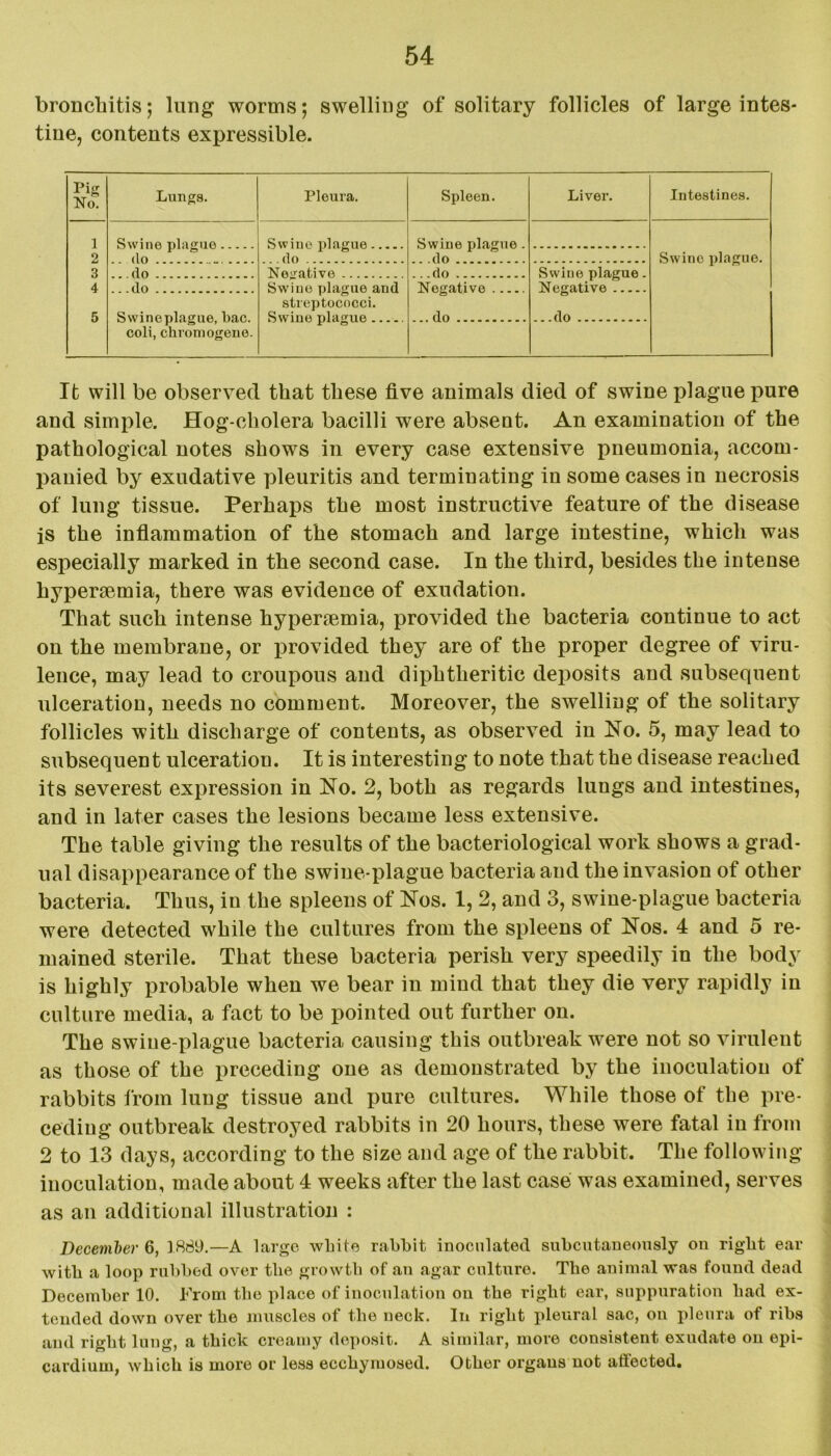 bronchitis; lung worms; swelling of solitary follicles of large intes- tine, contents expressible. Pig No. Lungs. Pleura. Spleen. Liver. Intestines. 1 2 Swine plague . do Swine plague ...do Swine plague . ...do Swine plague. 3 ...do Negative .. .do Swine plague. Negative 4 5 ... do Swine plague, bac. coli, chromogene. Swine plague and streptococci. Swine plague Negative ... do It will be observed that these five animals died of swine plague pure and simple. Hog-cholera bacilli were absent. An examination of the pathological notes shows in every case extensive pneumonia, accom- panied by exudative pleuritis and terminating in some cases in necrosis of lung tissue. Perhaps the most instructive feature of the disease is the inflammation of the stomach and large intestine, which was especially marked in the second case. In the third, besides the intense hypersemia, there was evidence of exudation. That such intense hypercemia, provided the bacteria continue to act on the membrane, or provided they are of the proper degree of viru- lence, may lead to croupous and diphtheritic deposits and subsequent ulceration, needs no comment. Moreover, the swelling of the solitary follicles with discharge of contents, as observed in No. 5, may lead to subsequent ulceration. It is interesting to note that the disease reached its severest expression in No. 2, both as regards lungs and intestines, and in later cases the lesions became less extensive. The table giving the results of the bacteriological work shows a grad- ual disappearance of the swine-plague bacteria and the invasion of other bacteria. Thus, in the spleens of Nos. 1, 2, and 3, swine-plague bacteria were detected while the cultures from the spleens of Nos. 4 and 5 re- mained sterile. That these bacteria perish very speedily in the body is highly probable when we bear in mind that they die very rapidly in culture media, a fact to be pointed out further on. The swine-plague bacteria causing this outbreak were not so virulent as those of the preceding one as demonstrated by the inoculation of rabbits from lung tissue and pure cultures. While those of the pre- ceding outbreak destroyed rabbits in 20 hours, these were fatal in from 2 to 13 days, according to the size and age of the rabbit. The following inoculation, made about 4 weeks after the last case was examined, serves as an additional illustration : December 6, 1889.—A large white rabbit inoculated subcutaneously on right ear with a loop rubbed over the growth of an agar culture. The animal was found dead December 10. From the place of inoculation on the right ear, suppuration had ex- tended down over the muscles of the neck. In right pleural sac, on pleura of ribs and right lung, a thick creamy deposit. A similar, more consistent exudate on epi- cardium, which is more or less ecchymosed. Other organs not affected.