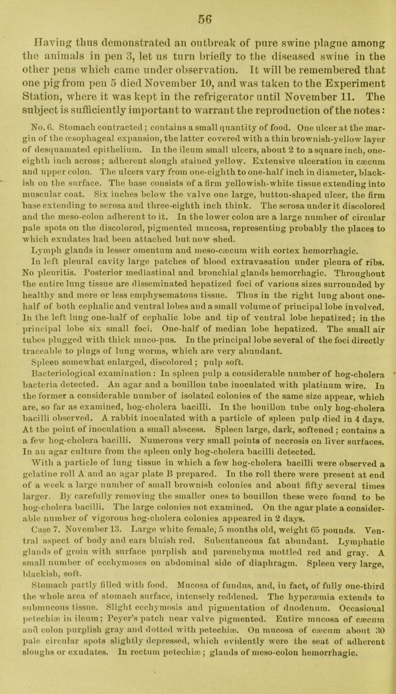 Having thus demonstrated an outbreak of pure swine plague among the animals in pen 3, let us turn briefly to the diseased swine in the other pens which came under observation. It will be remembered that one pig from pen 5 died November 10, and was taken to the Experiment Station, where it was kept in the refrigerator until November 11. The subject is sufficiently important to warrant the reproduction of the notes: No. G. Stomach contracted ; contains a small quantity of food. One ulcer at the mar- gin of the oesophageal expansion, the latter covered, with a thin brownish-yellow layer of desquamated epithelium. In the ileum small ulcers, about 2 to a square inch, one- eighth inch across; adherent slough stained yellow. Extensive ulceration in caecum and upper colon. The ulcers vary from one-eiglith to one-half inch in diameter, black- ish on the surface. The base consists of a firm yellowish-white tissue extending into muscular coat. Six inches below the valve one large, button-shaped ulcer, the firm base extending to serosa and three-eighth inch think. The serosa under it discolored and the meso-colon adherent to it. In the lower colon are a large number of circular pale spots on the discolored, pigmented mucosa, representing probably the places to which exudates had been attached but now shed. Lymph glands in lesser omentum and meso-caecum with cortex hemorrhagic. In left pleural cavity large patches of blood extravasation under pleura of ribs. No pleuritis. Posterior mediastinal and bronchial glands hemorrhagic. Throughout the entire lung tissue are disseminated hepatized foci of various sizes surrounded by healthy and more or less emphysematous tissue. Thus in the right lung about one- half of both cephalic and ventral lobes and a small volume of principal lobe involved. In the left lung one-lialf of cephalic lobe and tip of ventral lobe hepatized ; in the principal lobe six small foci. One-lialf of median lobe hepatized. The small air tubes plugged with thick muco-pus. In the principal lobe several of the foci directly traceable to plugs of lung worms, which are very abundant. Spleen somewhat enlarged, discolored ; pulp soft. Bacteriological examination: In spleen pulp a considerable number of hog-cholera * bacteria detected. An agar and a bouillon tube inoculated with platinum wire. In the former a considerable number of isolated colonies of the same size appear, which are, so far as examined, hog-cholera bacilli. In the bouillon tube only hog-cholera bacilli observed. A rabbit inoculated with a particle of spleen pulp died in 4 days. At the point of inoculation a small abscess. Spleen large, dark, softened ; contains a a few liog-cholera bacilli. Numerous very small points of necrosis on liver surfaces. In an agar culture from the spleen only hog-cholera bacilli detected. With a particle of lung tissue in which a few bog-cholera bacilli were observed a gelatine roll A and an agar plate B iwepared. In the roll there were present at end of a week a large number of small brownish colonies and about fifty several times larger. By carefully removing the smaller ones to bouillon these were found to be hog-cholera bacilli. The large colonies not examined. On the agar plate a consider- able number of vigorous hog-cliolera colonies appeared in 2 days. Case 7. November 13. Large white female; 5 months old, weight 05 pounds. Ven- tral aspect of body and ears bluish red. Subcutaneous fat abundant. Lymphatic glands of groin with surface purplish and parenchyma mottled red and gray. A small number of ecchymoses on abdominal side of diaphragm. Spleen very large, blackish, soft. Stomach partly filled with food. Mucosa of fundus, and, in fact, of fully one-third the whole area of stomach surface, intensely reddened. The hypersemia exteuds to submucous tissue. Slight ecchymosis and pigmentation of duodenum. Occasional petechias in ileum; Peyer’s patch near valve pigmented. Entire mucosa of caecum anil colon purplish gray and dotted with petechias. On mucosa of caecum about 30 pale circular spots slightly depressed, which evidently were the seat of adherent sloughs or exudates. In rectum petecliho ; glands of meso-colon hemorrhagic.