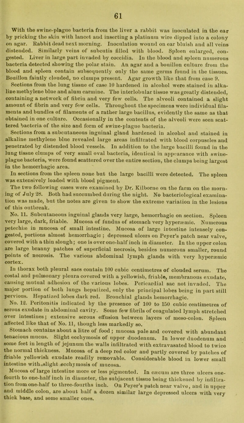 With tho swine-plague bacteria from the liver a rabbit was inoculated in the ear by pricking the skin with lancet and inserting a platinum wire dipped into a colony on agar. Rabbit dead next morning. Inoculation wound on oar bluish and all veins distended. Similarly veins of subcutis lilled with blood. Spleen enlarged, con- gested. Liver in large part invaded by coccidia. In tho blood and spleen numerous bacteria detected showiug the polar stain. An agar and a bouillon culture from the blood and spleen contain subsequently only tho same germs found in the tissues. Bouillon faintly clouded, no clumps present. Agar growth like that from case 9. Sections from the lung tissue of case 10 hardened in alcohol were stained in alka- liue methylene blue and alum carmine. The interlobular tissue was greatly distended, containing a network of fibrin and very few cells. Tbe alveoli contained a slight amount of fibrin and very few cells. Throughout the specimens were individual fila- ments and bundles of filaments of a rather largo bacillus, evidently the same as that obtained in ono culture. Occasionally in the contents of the alveoli were seen scat- tered bacteria of the size and form of swine-plague bacteria. Sections from a subcutaneous inguinal gland hardened in alcohol and stained in alkaline methylene blue revealed large areas infiltrated with blood corpuscles and penetrated by distended blood vessels. In addition to the large bacilli found in the lung tissue clumps of very small oval bacteria, identical in appearance with swine- plague bacteria, were found scattered over the entire section, the clumps being largest in the hemorrhagic area. In sections from the spleen none but the large bacilli were detected. The spleen was extensively loaded with blood pigment. The two following cases were examined by Dr. Kilborne on the farm on the morn- ing of July 28. Both had succumbed during the night. No bacteriological examina- tion was made, but the notes are given to show the extreme variation in the lesions of this outbreak. No. 11. Subcutaneous inguinal glands very large, hemorrhagic on section. Spleen very large, dark, friable. Mucosa of fundus of stomach very hyperaemic. Numerous petechne in mucosa of small intestine. Mucosa of large intestine intensely con- gested, portions almost hemorrhagic ; depressed ulcers on Peyer’s patch near valve, covered writh a thin slough; one is over one-half inch in diameter. In the upper colon are large branny patches of superficial necrosis, besides numerous smaller, round points of necrosis. The various abdominal lymph glands with very hyperaemic cortex. In thorax both pleural sacs contain 100 cubic centimetres of clouded serum. The costal and pulmonary pleura covered with a yellowish, friable, membranous exudate, causing mutual adhesion of tho various lobes. Pericardial sac not invaded. The major portion of both lungs hepatized, only tho principal lobes being in part still pervious. Hepatized lobes dark red. Bronchial glands hemorrhagic. No. 12. Peritonitis indicated by the presence of 100 to 150 cubic centimetres of serous exudate in abdominal cavity. Some few fibrils of coagulated lymph stretched over intestines; extensive serous effusion between layers of meso-colon. Snleen affected like that of No. 11, though less markedly so. Stomach contains about a litre of food ; mucosa pale and covered with abundant tenacious mucus. Slight ecchyinosis of upper duodenum. In lower duodenum and some feet in length of jejunum the walls infiltrated with extravasated blood to twice the normal thickness. Mucosa of a deep red color and partly covered by patches of friable yellowish exudate readily removable. Considerable blood in lower small intestine with slight ecchymosis of mucosa. Mucosa of large intestine more or less pigmented. In caecum are three ulcers one- fourth to one-half inch in diamoter, the subjacent tissue being thickened by infiltra- tion from one-half to three-fourths inch. On Peyer's patch near valve, and in upper and middle colon, are about half a dozen similar large dejmessed ulcers with very thick base, and some smaller ones.