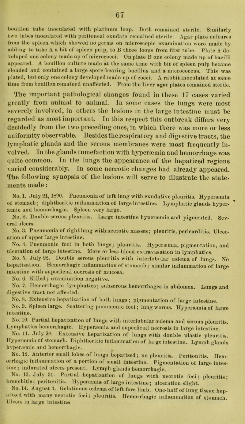 bouillon tube inoculated with platinum loop. Both remained sterile. Similarly two tubes inoculated with peritoueal exudate remained sterile. Agar plate cultures from the spleen which showed no germs on microscopic examination were made by adding to tube A a bit of spleen pulp, to B three loops from first tube. Plate A de- veloped one colony made up of micrococci. On plate B oue colony made up of bacilli appeared. A bouillon culture made at the same time with bit of spleen pulp became clouded aud contained a large spore-bearing bacillus and a micrococcus. This was plated, but only onecolouy developed made up of cocci. A rabbit inoculated at same time from bouillon remained unaffected. From the liver agar plates remained sterile. The important pathological changes found in these 17 cases varied greatly from animal to animal. In some cases the lungs were most severely involved, in others the lesions in the large intestine must be regarded as most important. In this respect this outbreak differs very decidedly from the two preceding ones, in which there was more or less uniformity observable. Besides the respiratory and digestive tracts, the lymphatic glands and the serous membranes were most frequently in- volved. In the glands tumefaction with hypermmia and hemorrhage was quite common. In the lungs the appearance of the hepatized regions varied considerably. In some necrotic changes had already appeared. The following synopsis of the lesions will serve to illustrate the state- ments made: No. 1. July 21, 1890. Pneumonia of left lung with exudative pleuritis. Hyperemia of stomach ; diphtheritic inflammation of large intestine. Lymphatic glands hyper- temic and hemorrhagic. Spleen very large. No. 2. Double serous pleuritis. Large intestine hyperaemic and pigmented. Sev- eral ulcers. No. 3. Pneumonia of right lung with necrotic masses ; pleuritis, pericarditis. Ulcer- ation of upper large intestine. No. 4. Pneumonic foci in both lungs; pleuritis. Hypercemia, pigmentation, and ulceration of large intestine. More or less blood extravasation in lymphatics. No. 5. July 22. Double serous pleuritis with interlobular oedema of limes. No hepatization. Hemorrhagic inflammation of stomach ; similar inflammation of large intestine with superficial necrosis of mucosa. No. 6. Killed; examination negative. No. 7. Hemorrhagic lymphatics; subserous hemorrhages in abdomen. Lungs and digestive tract not affected. No. 8. Extensive hepatization of both lungs; pigmentation of large intestine. No. 9. Spleen large. Scattering pneumonic foci; lung worms. Hyperiemia of large intestine. No. 10. Partial hepatization of lungs with interlobular oedema aud serous pleuritis. Lymphatics hemorrhagic. Hyperaemia and superficial necrosis in large intestine. No. 11. July 28. Extensive hepatization of lungs with double plastic pleuritis. Hypercemia of stomach. Diphtheritic inflammation of large intestine. Lymph glands hvperiemic and hemorrhagic. No. 12. Anterior small lobes of lungs hepatized; no pleuritis. Peritonitis. Hem- oirhagic inflammation of a poitiou of small intestine. Pigmentation of large intes- tine ; indurated ulcers present. Lymph glands hemorrhagic. No. 13. July 31. Partial hepatization of lungs with necrotic foci; pleuritis; biouchitis; peritonitis. Hypercemia of large intestine; ulceration slight. No. 14. August 4. Gelatinous oedema of left fore limb. One-half of lung tissue liep- afiz»‘<l with many necrotic foci; pleuritis. Hemorrhagic inflammation of stomach. Ulcers in large intestine