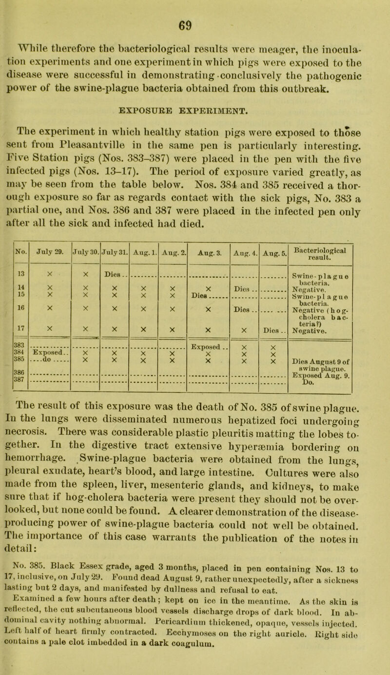 While therefore the bacteriological results were meager, the inocula- tion experiments and one experiment in which pigs were exposed to the disease were successful in demonstrating conclusively the pathogenic power of the swine-plague bacteria obtained from this outbreak. EXPOSURE EXPERIMENT. The experiment in which healthy station pigs were exposed to those sent from Pleasantville in the same pen is particularly interesting. Five Station pigs (Nos. 383-387) were placed in the pen with the five infected pigs (Nos. 13-17). The period of exposure varied greatly, as may be seen from the table below. Nos. 384 and 385 received a thor- ough exposure so far as regards contact with the sick pigs, No. 383 a partial one, and Nos. 386 and 387 were placed in the infected pen only after all the sick and infected had died. No. July 29. J uly 30. July 31. Aug. 1. Aug. 2. Aug. 3. Aug. 4. Aug. 5. Bacteriological result. 13 X X Dies.. Swine - plague bacteria. 14 X X X X X X Dies .. Negative. Swine-pi ague bacteria. 15 X X X X X Dies 16 X X X X X X Dies .. Negative (hog- cholera bac- 17 teria?) X X X X X X X Dies .. Negative. 383 Exposed .. X v* v 384 Exposed.. X X X X X X 385 do X X X X X X X Dies August 9 of 386 swine plague. 387 jLxpofcjeci Aug. y. Tin The result of this exposure was the death of No. 385 of swine plague. In the lungs were disseminated numerous hepatized foci undergoing necrosis. There was considerable plastic pleuritis matting the lobes to- gether. In the digestive tract extensive hyperaemia bordering on hemorrhage. Swine-plague bacteria were obtained from the lungs pleural exudate, heart’s blood, and large intestine. Cultures were also made from the spleen, liver, mesenteric glands, and kidneys, to make sure that if hog-cholera bacteria were present they should not be over- looked, but none could be found. A clearer demonstration of the disease- producing power of swine-plague bacteria could not well be obtained. The importance of this case warrants the publication of the notes in detail: No. 385. Black Essex grade, aged 3 months, placed in pen containing Nos. 13 to 17, inclusive, on July 29. 1 ound dead August 9, rather unexpectedly, after a sickness lasting but 2 days, and manifested by dullness and refusal to eat. Examined a few hours after death ; kept on ice in the meantime. As the skin is reflected, the cut subcutaneous blood vessels discharge drops of dark blood. In ab- dominal cavity nothing abnormal. Pericardium thickened, opaque, vessels injected. Left half of heart firmly contracted. Ecchymoses on the right auricle. Right side contains a pale clot imbedded in a dark coagulum.