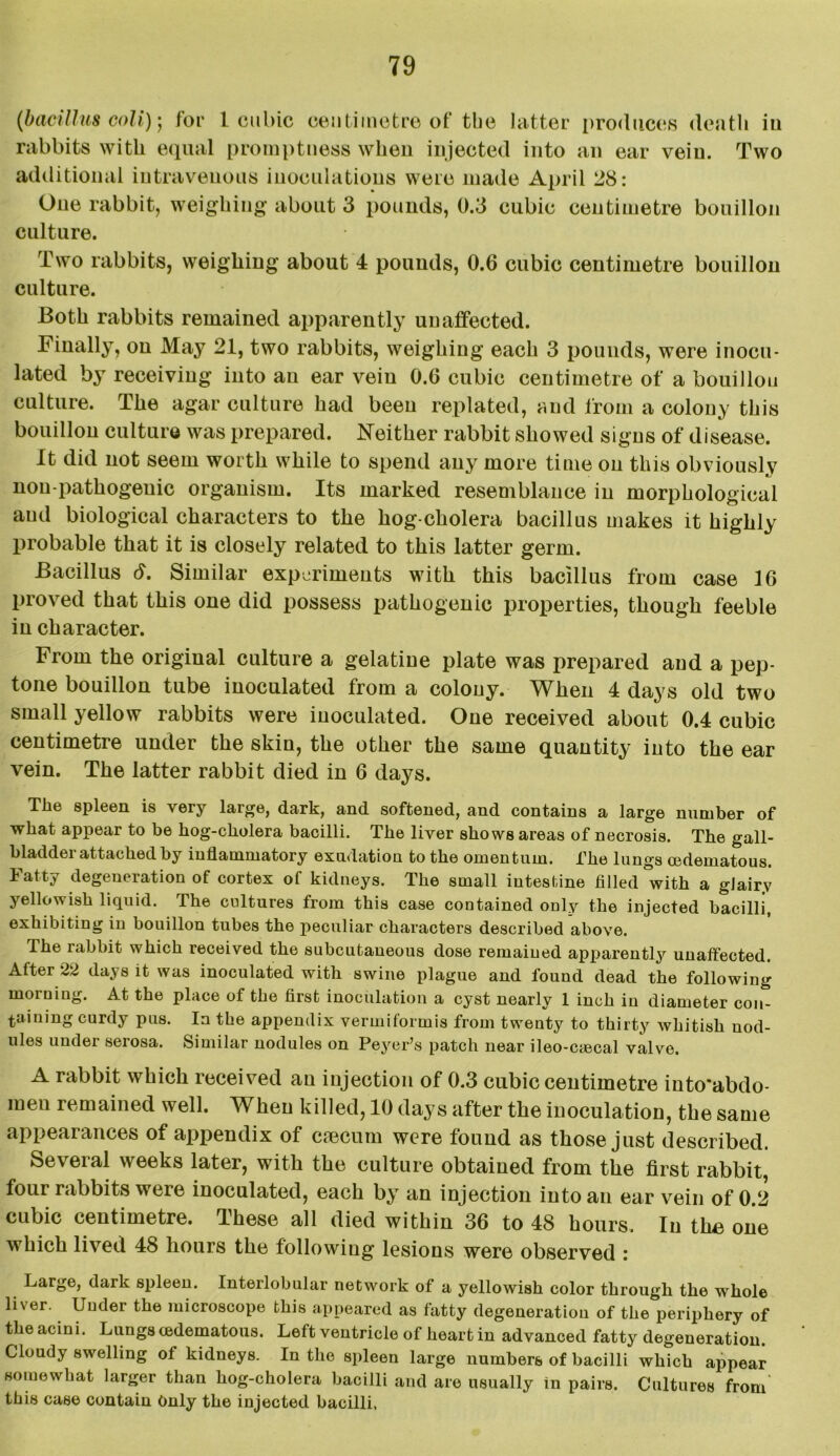 (bacillus coll)', for 1 cubic centimetre of tbe latter produces death in rabbits with equal promptness when injected into an ear vein. Two additional intravenous inoculations were made April 28: One rabbit, weighing about 3 pounds, 0.3 cubic centimetre bouillon culture. Two rabbits, weighing about 4 pounds, 0.6 cubic centimetre bouillon culture. Both rabbits remained apparently unaffected. Finally, on May 21, two rabbits, weighing each 3 pounds, were inocu- lated by receiving into an ear vein 0.6 cubic centimetre of a bouillou culture. The agar culture had been replated, and from a colony this bouillon culture was prepared. Neither rabbit showed signs of disease. It did not seem worth while to spend any more time on this obviously non-pathogenic organism. Its marked resemblance in morphological and biological characters to the hog-cholera bacillus makes it highly probable that it is closely related to this latter germ. Bacillus <5. Similar experiments with this bacillus from case 16 proved that this one did possess pathogenic properties, though feeble in character. From the original culture a gelatine plate was prepared and a pep- tone bouillon tube inoculated from a colony. When 4 days old two small yellow rabbits were inoculated. One received about 0.4 cubic centimetre under the skin, the other the same quantity into the ear vein. The latter rabbit died in 6 days. The spleen is \ery large, dark, and softened, and contains a large number of what appear to be hog-cholera bacilli. The liver shows areas of necrosis. The gall- bladder attached by inflammatory exudation to the omentum. The lungs cedematous. Fatty degeneration of cortex of kidneys. The small intestine filled with a gJairy yellowish liquid. The cultures from this case contained only the injected bacilli, exhibiting in bouillon tubes the peculiar characters described above. The rabbit which received the subcutaneous dose remained apparently unaffected. After 22 days it was inoculated with swine plague and found dead the following morning. At the place of the first inoculation a cyst nearly 1 inch in diameter con- taining curdy pus. In the appendix vermiformis from twenty to thirty whitish uod- ules under serosa. Similar nodules on Peyer’s patch near ileo-ciecal valve. A rabbit which received au injection of 0.3 cubic centimetre into'abdo- meu remained well. When killed, 10 days after the inoculation, the same appearances of appendix of caecum were found as those just described. Several weeks later, with the culture obtained from the first rabbit, four rabbits were inoculated, each by an injection into an ear vein of 0.2 cubic centimetre. These all died within 36 to 48 hours. In tlm one which lived 48 hours the following lesions were observed : Large, dark spleen. Interlobular network of a yellowish color through the whole liver. Uuder the microscope this appeared as fatty degeneration of the periphery of the acini. Lungs (edematous. Left ventricle of heart in advanced fatty degeneration. Cloudy swelling of kidneys. In the spleen large numbers of bacilli which appear somewhat larger than hog-cholera bacilli and are usually in pairs. Cultures from this case contain Only the injected bacilli.