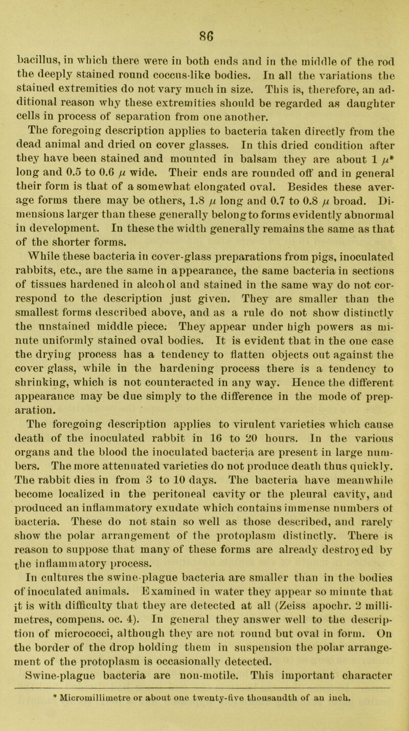 bacillus, in which there were in both ends and in the middle of the rod the deeply stained round coccus-like bodies. In all the variations the stained extremities do not vary much in size. This is, therefore, an ad- ditional reason why these extremities should be regarded as daughter cells in process of separation from one another. The foregoing description applies to bacteria taken directly from the dead animal and dried on cover glasses. In this dried condition after they have been stained and mounted in balsam they are about 1 /** long and 0.5 to 0.6 jj, wide. Their ends are rounded off and in general their form is that of a somewhat elongated oval. Besides these aver- age forms there may be others, 1.8 yu long and 0.7 to 0.8 // broad. Di- mensions larger than these generally belong to forms evidently abnormal in development. In these the width generally remains the same as that of the shorter forms. While these bacteria in cover-glass preparations from pigs, inoculated rabbits, etc., are the same in appearance, the same bacteria in sections of tissues hardened in alcohol and stained in the same way do not cor- respond to the description just given. They are smaller than the smallest forms described above, and as a rule do not show distinctly the unstained middle piece; They appear under high powers as mi- nute uniformly stained oval bodies. It is evident that in the one case the drying process has a tendency to flatten objects out against the cover glass, while in the hardening process there is a tendency to shrinking, which is not counteracted in any way. Hence the different appearance may be due simply to the difference in the mode of prep- aration. The foregoing description applies to virulent varieties which cause death of the inoculated rabbit in 16 to 20 hours. In the various organs and the blood the inoculated bacteria are present in large num- bers. The more attenuated varieties do not produce death thus quickly. The rabbit dies in from 3 to 10 days. The bacteria have meanwhile become localized in the peritoneal cavity or the pleural cavity, and produced an inflammatory exudate which contains immense numbers ot bacteria. These do not stain so well as those described, and rarely show the polar arrangement of the protoplasm distinctly. There is reason to suppose that many of these forms are already destroyed by the inflammatory process. In cultures the swine-plague bacteria are smaller than in the bodies of inoculated animals. Examined in water they appear so minute that it is with difficulty that they are detected at all (Zeiss apochr. 2 milli- metres, compens. oc. 4). In general they answer well to the descrip- tion of micrococci, although they are not round but oval in form. On the border of the drop holding them in suspension the polar arrange- ment of the protoplasm is occasionally detected. Swine-plague bacteria are nou-motile. This important character * Microinilliinetre or about oue twenty-live thousandth of an inch.