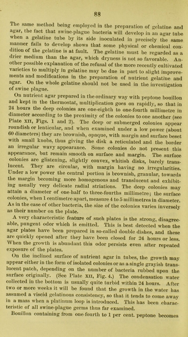 The same method being employed in the preparation of gelatine and agar, the fact that swine-plague bacteria will develop in an agar tube when a gelatine tube by its side inoculated in precisely the same manner fails to develop shows that some physical or chemical con- dition of the gelatine is at fault. The gelatine must be regarded as a drier medium than the agar, which dryness is not so favorable. An- other possible explanation of the refusal of the more recently cultivated varieties to multiply in gelatine may be due in part to slight improve- ments and modifications in the preparation of nutrient gelatine and agar. On the whole gelatine should not be used in the investigation of swine plague. On nutrient agar prepared in the ordinary way with peptone bouillon and kept in the thermostat, multiplication goes on rapidly, so that in 24 hours the deep colonies are one-eigbth to one-fourth millimetre in diameter according to the proximity of the colonies to one another (see Plate xii, Figs. 1 and 2). The deep or submerged colonies appear roundish or lenticular, and when examined under a low power (about 60 diameters) they are brownish, opaque, with margin and surface beset with small knobs, thus giving the disk a reticulated and the border an irregular wavy appearance. Some colonies do not present this appearance, but remain smooth on surface and margin. The surface colonies are glistening, slightly convex, whitish disks, barely trans- lucent. They are circular, with margin having no irregularities. Under a low power the central portion is brownish, granular, towards the margin becoming more homogenous and translucent and exhibit- ing usually very delicate radial striations. The deep colonies may attain a diameter of one-half to three-fourths millimetre; the surface colonies, when 1 centimetre apart, measure 4 to 5 millimetres in diameter. As in the case of other bacteria, the size of the colonies varies inverselv as their number on the plate. A very characteristic feature of such plates is the strong, disagree- able, pungent odor which is emitted. This is best detected when the agar plates have been prepared in so-called double dishes, and these arc quickly opened after they have been closed for 24 hours or less. When the growth is abundant this odor persists even after repeated exposure of the plates. On the inclined surface of nutrient agar in tubes, the growth may appear either in the form of isolated colonies or as a single grayish trans- lucent patch, depending on the number of bacteria rubbed upon the surface originally. (See Plate xn, Fig. 4.) The condensation water collected in the bottom is usually quite turbid within 24 hours. After two or more weeks it will be found that the growth in the water has assumed a viscid gelatinous consistency, so that it tends to come away in a mass when a platinum loop is introduced. This has been charac- teristic of all swine-plague germs thus far examined. Bouillon containing from one-fourth to 1 per cent, peptone becomes