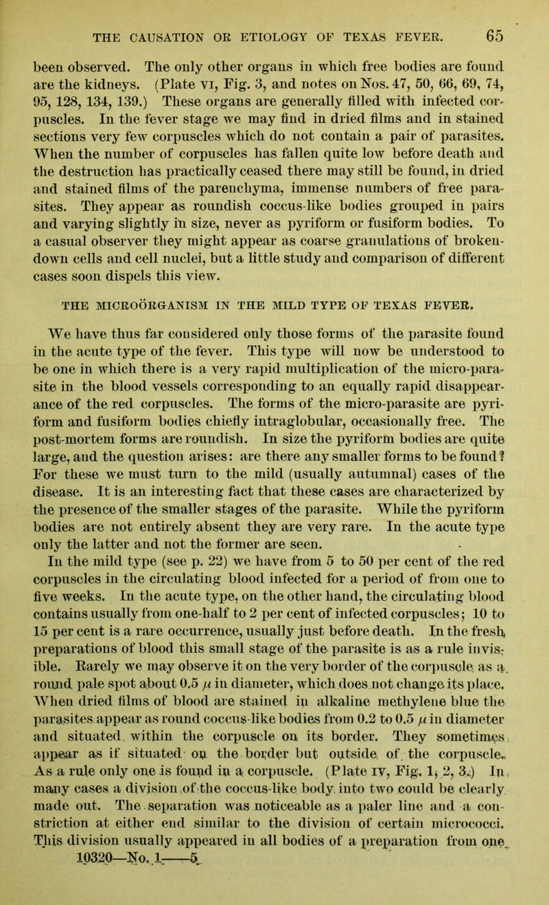 been observed. The only other organs in which free bodies are found are the kidneys. (Plate vi, Fig. 3, and notes on Nos. 47, 50, 66, 69, 74, 95,128, 134, 139.) These organs are generally filled with infected cor- puscles. In the fever stage we may find in dried films and in stained sections very few corpuscles which do not contain a pair of parasites. When the number of corpuscles has fallen quite low before death and the destruction has practically ceased there may still be found, in dried and stained films of the parenchyma, immense numbers of free para- sites. They appear as roundish coccus-like bodies grouped in pairs and varying slightly in size, never as pyriform or fusiform bodies. To a casual observer they might appear as coarse granulations of broken- down cells and cell nuclei, but a little study and comparison of different cases soon dispels this view. THE MICROORGANISM IN THE MILD TYPE OF TEXAS FEVER. We have thus far considered only those forms of the parasite found in the acute type of the fever. This type will now be understood to be one in which there is a very rapid multiplication of the micro-para- site in the blood vessels corresponding to an equally rapid disappear- ance of the red corpuscles. The forms of the micro-parasite are pyri- form and fusiform bodies chiefly intraglobular, occasionally free. The post-mortem forms are roundish. In size the pyriform bodies are quite large, and the question arises: are there any smaller forms to be found? For these we must turn to the mild (usually autumnal) cases of the disease. It is an interesting fact that these cases are characterized by the presence of the smaller stages of the parasite. While the pyriform bodies are not entirely absent they are very rare. In the acute type only the latter and not the former are seen. In the mild type (see p. 22) we have from 5 to 50 per cent of the red corpuscles in the circulating blood infected for a period of from one to five weeks. In the acute type, on the other hand, the circulating blood contains usually from one-half to 2 per cent of infected corpuscles; 10 to 15 per cent is a rare occurrence, usually just before death. In the fresh* preparations of blood this small stage of the parasite is as a rule invis: ible. Rarely we may observe it on the very border of the corpuscle as a. round pale spot about 0.5 p in diameter, which does not change its place. When dried films of blood are stained ip. alkaline methylene blue the parasites appear as round coccus-like bodies from 0.2 to 0.5 p in diameter and situated, within the corpuscle on its border. They sometimes, appear as if situated on the bolder but outside of the corpuscle., As a rule only ope is found ip a corpuscle. (Plate iv, Fig. 1* 2, 3.*.) Ip many cases a division ,of the coccus-like body, into two could be clearly made out. The separation was noticeable as a paler line and a con- striction at either end similar to the division of certain micrococci. This division usually appeared in all bodies of a preparation from one 10320—No. ,1:—-5