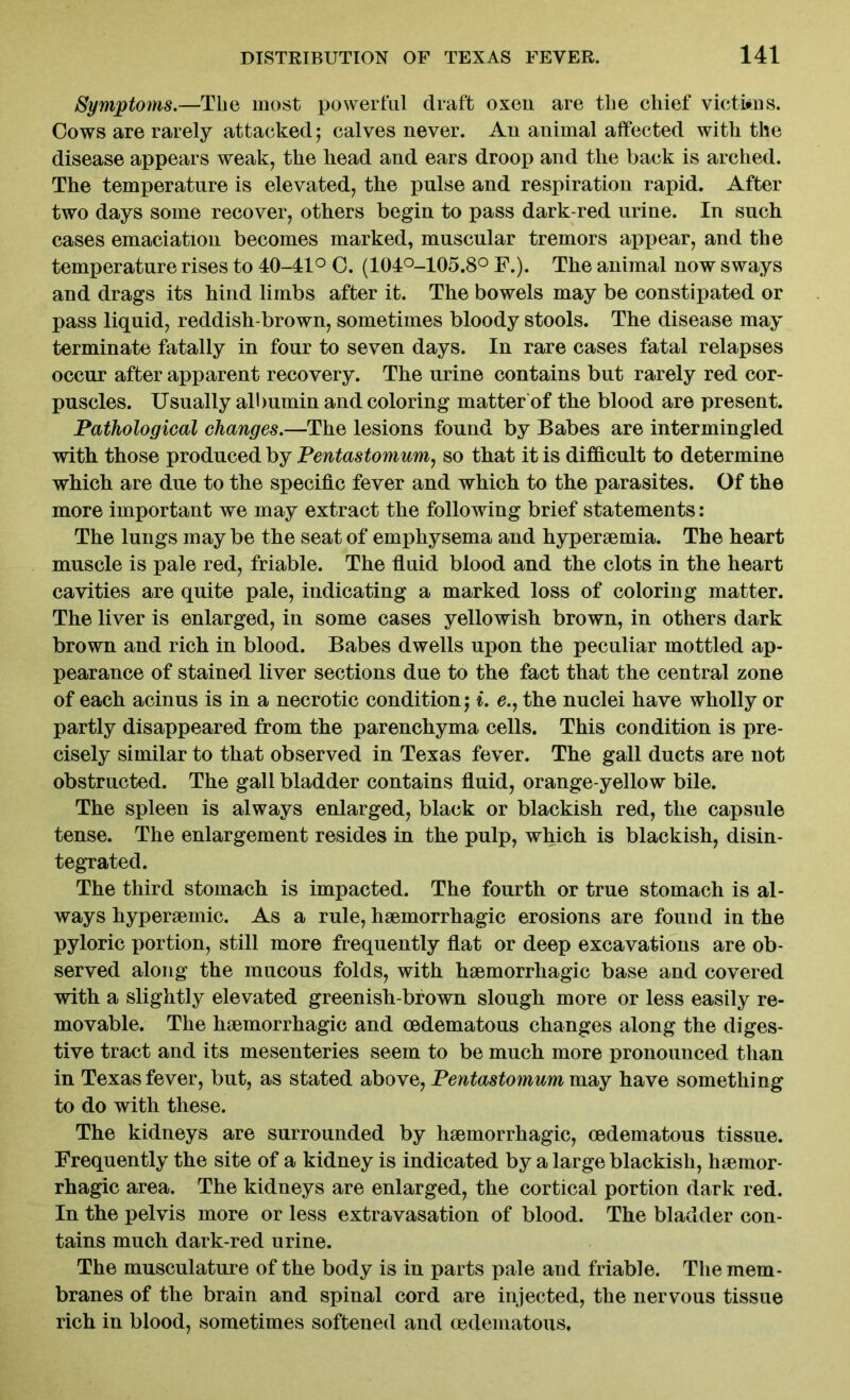 Symptoms.—The most powerful draft oxen are the chief victims. Cows are rarely attacked; calves never. An animal affected with the disease appears weak, the head and ears droop and the back is arched. The temperature is elevated, the pulse and respiration rapid. After two days some recover, others begin to pass dark-red urine. In such cases emaciation becomes marked, muscular tremors appear, and the temperature rises to 40-41° C. (104°-105.8° F.). The animal now sways and drags its hind limbs after it. The bowels may be constipated or pass liquid, reddish-brown, sometimes bloody stools. The disease may terminate fatally in four to seven days. In rare cases fatal relapses occur after apparent recovery. The urine contains but rarely red cor- puscles. Usually albumin and coloring matter of the blood are present. Pathological changes.—The lesions found by Babes are intermingled with those produced by Pentastomum, so that it is difficult to determine which are due to the specific fever and which to the parasites. Of the more important we may extract the following brief statements: The lungs may be the seat of emphysema and hyperaemia. The heart muscle is pale red, friable. The fluid blood and the clots in the heart cavities are quite pale, indicating a marked loss of coloring matter. The liver is enlarged, in some cases yellowish brown, in others dark brown and rich in blood. Babes dwells upon the peculiar mottled ap- pearance of stained liver sections due to the fact that the central zone of each acinus is in a necrotic condition; i. e., the nuclei have wholly or partly disappeared from the parenchyma cells. This condition is pre- cisely similar to that observed in Texas fever. The gall ducts are not obstructed. The gall bladder contains fluid, orange-yellow bile. The spleen is always enlarged, black or blackish red, the capsule tense. The enlargement resides in the pulp, which is blackish, disin- tegrated. The third stomach is impacted. The fourth or true stomach is al- ways hyperaemic. As a rule, haemorrhagic erosions are found in the pyloric portion, still more frequently flat or deep excavations are ob- served along the mucous folds, with haemorrhagic base and covered with a slightly elevated greenish-brown slough more or less easily re- movable. The haemorrhagic and oedematous changes along the diges- tive tract and its mesenteries seem to be much more pronounced than in Texas fever, but, as stated above, Pentastomum may have something to do with these. The kidneys are surrounded by haemorrhagic, oedematous tissue. Frequently the site of a kidney is indicated by a large blackish, haemor- rhagic area. The kidneys are enlarged, the cortical portion dark red. In the pelvis more or less extravasation of blood. The bladder con- tains much dark-red urine. The musculature of the body is in parts pale aud friable. The mem- branes of the brain and spinal cord are injected, the nervous tissue rich in blood, sometimes softened and oedematous.