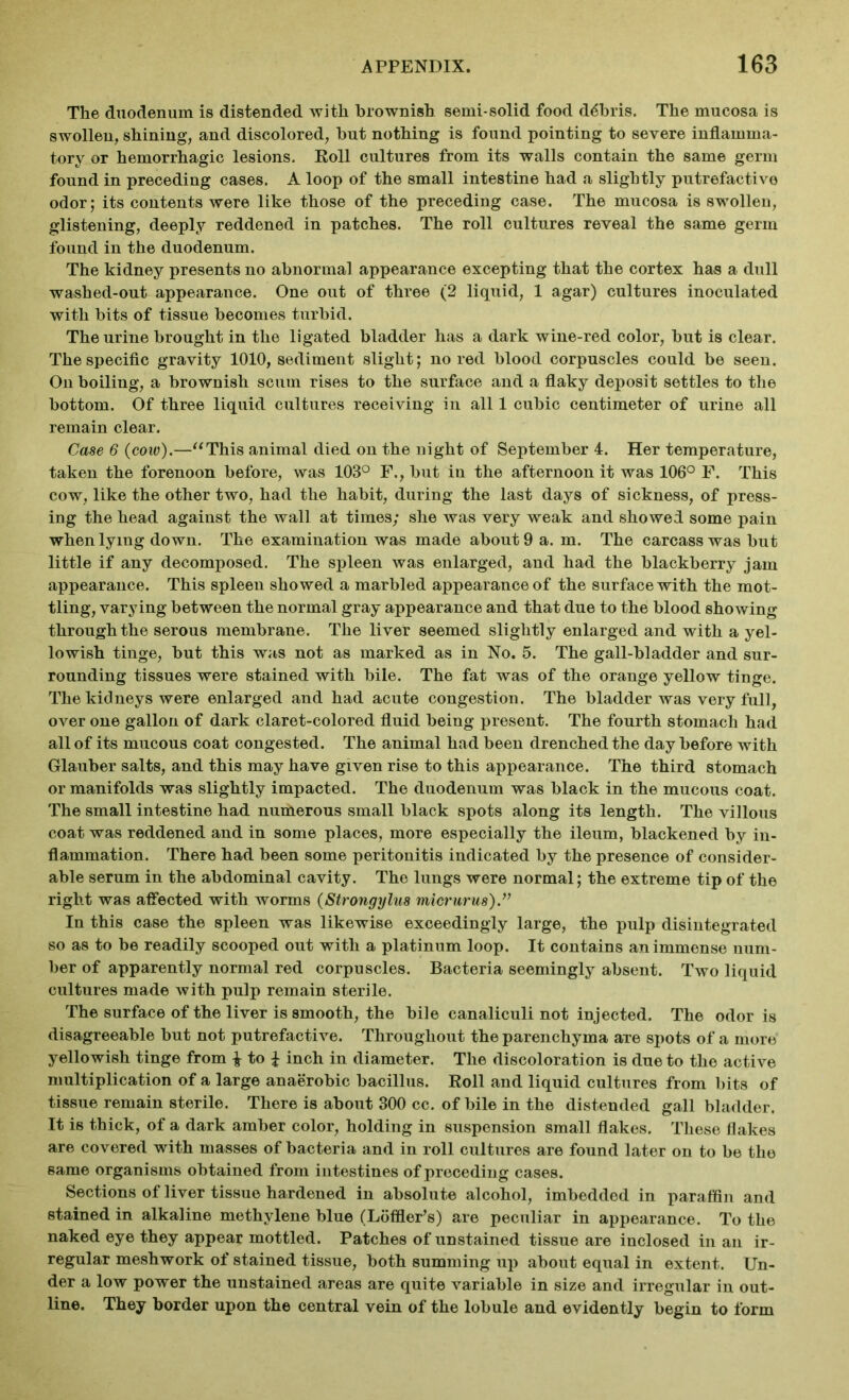 The duodenum is distended with brownish semi-solid food debris. The mucosa is swollen, shining, and discolored, hut nothing is found pointing to severe inflamma- tory or hemorrhagic lesions. Roll cultures from its walls contain the same germ found in preceding cases. A loop of the small intestine had a slightly putrefactive odor; its contents were like those of the preceding case. The mucosa is swollen, glistening, deeply reddened in patches. The roll cultures reveal the same germ found in the duodenum. The kidney presents no abnormal appearance excepting that the cortex has a dull washed-out appearance. One out of three (2 liquid, 1 agar) cultures inoculated with bits of tissue becomes turbid. The urine brought in the ligated bladder has a dark wine-red color, but is clear. The specific gravity 1010, sediment slight; no red blood corpuscles could be seen. On boiling, a brownish scum rises to the surface and a flaky deposit settles to the bottom. Of three liquid cultures receiving in all 1 cubic centimeter of urine all remain clear. Case 6 (cow).—“This animal died on the night of September 4. Her temperature, taken the forenoon before, was 103° F., but in the afternoon it was 106° F. This cow, like the other two, had the habit, during the last days of sickness, of press- ing the head against the wall at times; she was very weak and showed some pain when lying down. The examination was made about 9 a. m. The carcass was but little if any decomposed. The spleen was enlarged, and had the blackberry jam appearance. This spleen showed a marbled appearance of the surface with the mot- tling, varying between the normal gray appearance and that due to the blood showing through the serous membrane. The liver seemed slightly enlarged and with a yel- lowish tinge, but this was not as marked as in No. 5. The gall-bladder and sur- rounding tissues were stained with bile. The fat was of the orange yellow tinge. The kidneys were enlarged and had acute congestion. The bladder was very full, over one gallon of dark claret-colored fluid being present. The fourth stomach had all of its mucous coat congested. The animal had been drenched the day before with Glauber salts, and this may have given rise to this appearance. The third stomach or manifolds was slightly impacted. The duodenum was black in the mucous coat. The small intestine had numerous small black spots along its length. The villous coat was reddened and in some places, more especially the ileum, blackened by in- flammation. There had been some peritonitis indicated by the presence of consider- able serum in the abdominal cavity. The lungs were normal; the extreme tip of the right was affected with worms (Strongylus micrurus).” In this case the spleen was likewise exceedingly large, the pulp disintegrated so as to be readily scooped out with a platinum loop. It contains an immense num- ber of apparently normal red corpuscles. Bacteria seemingly absent. Two liquid cultures made with pulp remain sterile. The surface of the liver is smooth, the bile canaliculi not injected. The odor is disagreeable but not putrefactive. Throughout the parenchyma are spots of a more yellowish tinge from £ to i inch in diameter. The discoloration is due to the active multiplication of a large anaerobic bacillus. Roll and liquid cultures from bits of tissue remain sterile. There is about 300 cc. of bile in the distended gall bladder. It is thick, of a dark amber color, holding in suspension small flakes. These flakes are covered with masses of bacteria and in roll cultures are found later on to be the same organisms obtained from intestines of preceding cases. Sections of liver tissue hardened in absolute alcohol, imbedded in paraffin and stained in alkaline methylene blue (Loffler’s) are peculiar in appearance. To the naked eye they appear mottled. Patches of unstained tissue are inclosed in an ir- regular meshwork of stained tissue, both summing up about equal in extent. Un- der a low power the unstained areas are quite variable in size and irregular in out- line. They border upon the central vein of the lobule and evidently begin to form