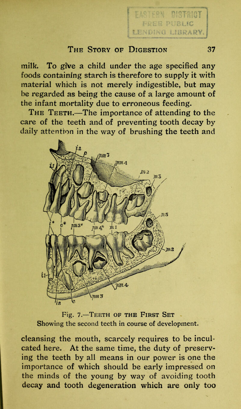 | LENDING LIBRARY* The Story of Digestion 37 milk. To giVe a child under the age specified any foods containing starch is therefore to supply it with material which is not merely indigestible, but may be regarded as being the cause of a large amount of the infant mortality due to erroneous feeding. The Teeth.—The importance of attending to the care of the teeth and of preventing tooth decay by daily attention in the way of brushing the teeth and Fig. 7.—Teeth of the First Set Showing the second teeth in course of development. cleansing the mouth, scarcely requires to be incul- cated here. At the same time, the duty of preserv- ing the teeth by all means in our power is one the importance of which should be early impressed on the minds of the young by way of avoiding tooth decay and tooth degeneration which are only too