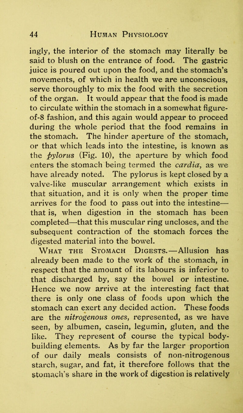 ingly, the interior of the stomach may literally be said to blush on the entrance of food. The gastric juice is poured out upon the food, and the stomach’s movements, of which in health we are unconscious, serve thoroughly to mix the food with the secretion of the organ. It would appear that the food is made to circulate within the stomach in a somewhat figure- of-8 fashion, and this again would appear to proceed during the whole period that the food remains in the stomach. The hinder aperture of the stomach, or that which leads into the intestine, is known as the pylorus (Fig. 10), the aperture by which food enters the stomach being termed the cardia, as we have already noted. The pylorus is kept closed by a valve-like muscular arrangement which exists in that situation, and it is only when the proper time arrives for the food to pass out into the intestine— that is, when digestion in the stomach has been completed—that this muscular ring uncloses, and the subsequent contraction of the stomach forces the digested material into the bowel. What the Stomach Digests.—Allusion has already been made to the work of the stomach, in respect that the amount of its labours is inferior to that discharged by, say the bowel or intestine. Hence we now arrive at the interesting fact that there is only one class of foods upon which the stomach can exert any decided action. These foods are the nitrogenous ones, represented, as we have seen, by albumen, casein, legumin, gluten, and the like. They represent of course the typical body- building elements. As by far the larger proportion of our daily meals consists of non-nitrogenous starch, sugar, and fat, it therefore follows that the Stomach’s share in the work of digestion is relatively