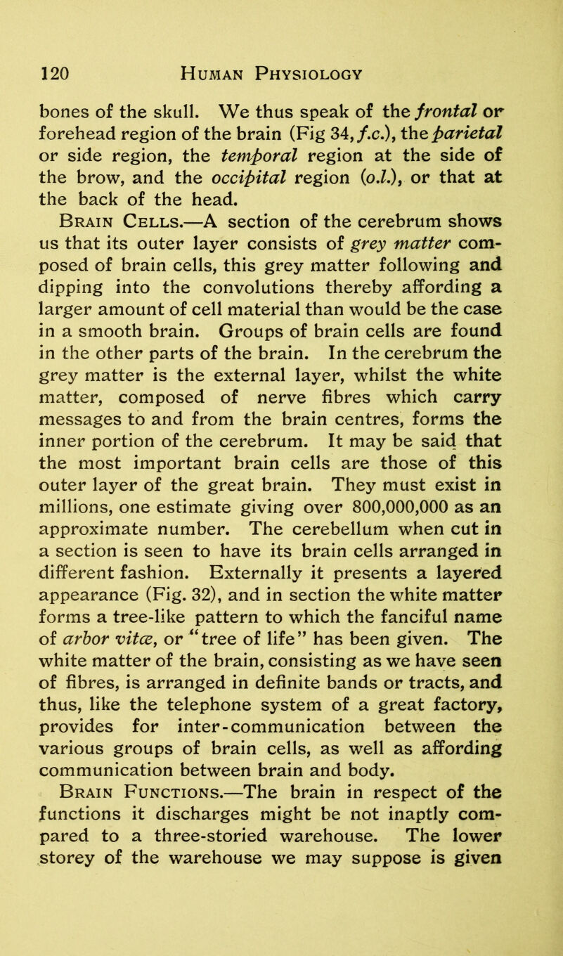 bones of the skull. We thus speak of the frontal or forehead region of the brain (Fig 34the parietal or side region, the temporal region at the side of the brow, and the occipital region (o.Z.), or that at the back of the head. Brain Cells.—A section of the cerebrum shows us that its outer layer consists of grey matter com- posed of brain cells, this grey matter following and dipping into the convolutions thereby affording a larger amount of cell material than would be the case in a smooth brain. Groups of brain cells are found in the other parts of the brain. In the cerebrum the grey matter is the external layer, whilst the white matter, composed of nerve fibres which carry messages to and from the brain centres, forms the inner portion of the cerebrum. It may be said that the most important brain cells are those of this outer layer of the great brain. They must exist in millions, one estimate giving over 800,000,000 as an approximate number. The cerebellum when cut in a section is seen to have its brain cells arranged in different fashion. Externally it presents a layered appearance (Fig. 32), and in section the white matter forms a tree-like pattern to which the fanciful name of arbor vitce, or “tree of life” has been given. The white matter of the brain, consisting as we have seen of fibres, is arranged in definite bands or tracts, and thus, like the telephone system of a great factory, provides for inter-communication between the various groups of brain cells, as well as affording communication between brain and body. Brain Functions.—The brain in respect of the functions it discharges might be not inaptly com- pared to a three-storied warehouse. The lower storey of the warehouse we may suppose is given